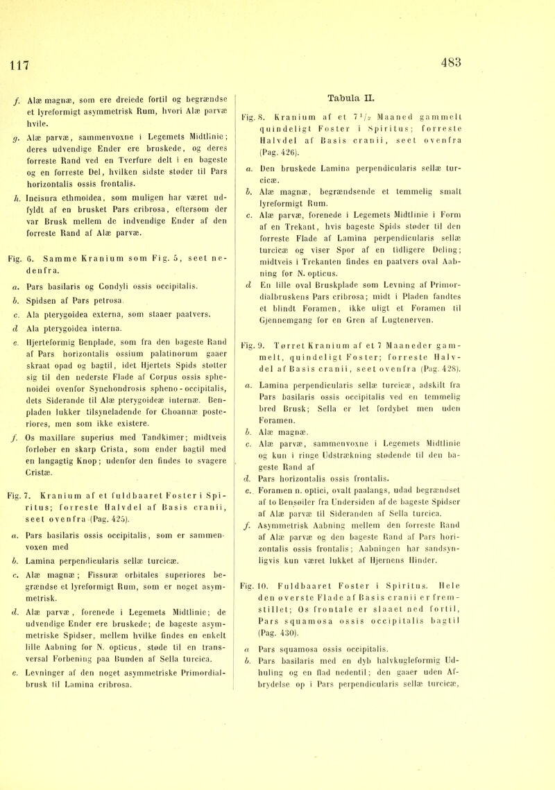 483 /. Alæ magnæ, som ere dreiede fortil og begrændse j et lyreforniigt asymmetrisk Rum, hvori Alæ parvæ hvile. g. Alæ parvæ, sammenvoxne i Legemets Midtlinic; deres udvendige Ender ere bruskede, og deres forreste Rand ved en Tverfure delt i en bageste og en forreste Del, hvilken sidste støder til Pars horizontalis ossis frontalis. h. Incisura ethmoidea, som muligen har været ud- fyldt af en brusket Pars cribrosa, eftersom der var Brusk mellem de indvendige Ender af den forreste Rand af Alæ parvæ. Fig. 6. Samme Kranium som Fig. 6, seet ne- denfra. a. Pars basilaris og Condyli ossis occipitalis. h. Spidsen af Pars petrosa. c. Ala pterygoidea externa, som staaer paalvers. d Ala pterygoidea interua. e. Hjerteformig Benplade, som fra den bageste Rand af Pars horizontalis ossium palatinorum gaaer skraat opad og bagtil, idet Hjertets Spids støtter sig til den nederste Flade af Corpus ossis sphe- noidei ovenfor Synchondrosis spheno - occipitalis, dets Siderande til Alæ pterygoideæ internæ. Ben- pladen lukker tilsyneladende for Choannæ poste- riores, men som ikke existere. /. Os maxillare superius med Tandkimer; midtveis forløber en skarp Crista, som ender bagtil med en langagtig Knop; udenfor den findes to svagere Cristæ. Fig. 7. Kranium af et f u 1 d b a a r e t F o s t e r i Spi- ritus; forreste Halvdel af Basis cra ni i, seet ovenfra (Pag. 425). «. Pars basilaris ossis occipitalis, som er sammen- voxen med h. Lamina perpendicularis sellæ turcieæ. c. Alæ magnæ; Fissuræ orbitales superiores be- grændse et lyreforniigt Rum, som er noget asym- metrisk. d. Alæ parvæ, forenede i Legemets Midtlinie; de | udvendige Ender ere bruskede; de bageste asym- | metriske Spidser, mellem hvilke findes en enkelt lille Aabiiing for N. opticus, støde til en trans- j versal F’orbeniiig paa Bun-den af Sella turcica. e. Levninger af den noget asymmetriske Primnrdial- brusk lil Lamina cribrosa. Tabula II. Fig. 8. Kranium af et l^h Maaned gammelt qii in deligt Foster i Spiritus; forreste Halvdel af Basis cr an i i , seet ovenfra (Pag. 426). a. Den bruskede Lamina perpendicularis sellæ tur- cieæ. b. Alæ magnæ, begrændsende et temmelig smalt lyreformigt Rum. c. Alæ parvæ, forenede i Legemets Midtlinie i Form af en Trekant, hvis bageste Spids stoder til den forreste Flade af Lamina perpendicularis sellæ turcicæ og viser Spor af en tidligere Deling; midtveis i Trekanten lindes en paatvers oval Aab- ning for N. opticus. d En lille oval Bruskplade som Levning af Primor- dialbruskens Pars cribrosa; midt i Pladen fandtes et blindt Foramen, ikke uligt et Forameii til Gjennemgang for eu Gren af Lugtenerven. Fig. 9. Tørret Kranium af et 7 M a a n e d e r gam- melt, quindeligt Foster; forreste Halv- del a f B a s i s cra n i i, seet ovenfra (Pag. 428), a. Lamina perpendicularis sellæ turcicæ, adskilt fra Pars basilaris ossis occipitalis ved en temmelig bred Brusk; Sella er let fordybet men uden Foramen. b. Alæ magnæ. c. Alæ parvæ, sammenvoxne i Legemets .Midtlinie og kun i ringe Udstrækning stødende lil den ba- gesle Rand af d. Pars horizontalis ossis frontalis. e. . Foramen n. optici, ovalt paalangs, udad begrændset af to Bensøiler fra Undersiden af de bageste Spidser af Alæ parvæ til Sideranden af Sella turcica. /. Asymmetrisk Aabning mellem den forreste Rand af Alæ parvæ og den bageste Rand uf Pars hori- zontalis ossis frontalis; Aabningen har sandsyn- ligvis kun været lukket af Hjernens Hinder. Fig. 10. Ful db aa ret Foster i Spiritus. Hele den o V e r s t e Flade af Basis c r a n i i er frem- stillet; Os frontale er siaaet ned fortil. Pars squamosa ossis occipitalis bagtil (Pag. 430). a Pars squamosa ossis occipitalis. h. Pars basilaris med en dyb halvktigleformig Ud- huiing og en Had nedentii; den gaaer uden Af- brydelse op i Pars perpendicularis sellæ. turcicæ.
