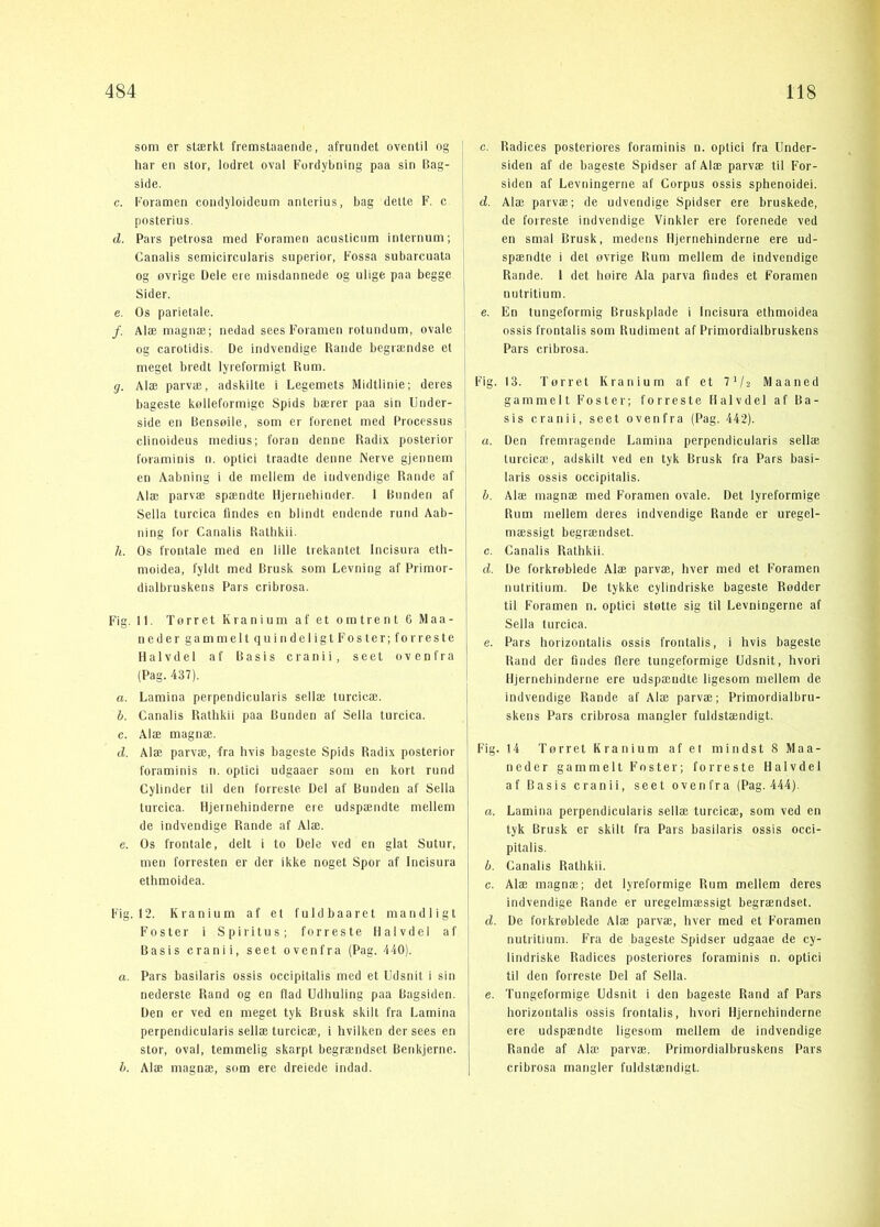 som er stærkt fremstaaende, afrundet oventil og ! har en stor, lodret oval Fordybning paa sin Bag- j side. i c. Foramen condyloideum anterius, bag delte F. c posterius. d. Pars peti'osa med Foramen acusticiim internum; Canalis semicircularis superior, Fossa subarcuata og øvrige Dele ere misdannede og ulige paa begge Sider. e. Os parielale. /. Alæ magnæ; nedad sees Foramen rotundum, ovale og carotidis. De indvendige Rande begiændse et meget bredt lyreformigt Rum. g. Alæ parvæ, adskilte i Legemets Midtlinie; deres bageste kølleformigc Spids bærer paa sin Under- side en Bensøile, som er forenet med Processus clinoideus medius; foran denne Radix posterior foraminis n. optici traadte denne Nerve gjennem en Aabning i de mellem de indvendige Rande af Alæ parvæ spændte Hjernehinder. 1 Bunden af Sella turcica findes en blindt endende rund Aab- ning for Canalis Rathkii. h. Os frontale med en lille trekantet Incisura eth- moidea, fyldt med Brusk som Levning af Primor- dialbruskens Pars cribrosa. Fig. 11. Torret Kranium af et omtrent 6 Maa- neder gammelt quindeligtFoster; forreste Halvdel af Basis cranii, seet ovenfra (Pag. 437). a. Lamina perpendicularis sellæ turcicæ. b. Canalis Rathkii paa Bunden af Sella turcica. c. Alæ magnæ. d. Alæ parvæ, fra hvis bageste Spids Radix posterior foraminis n. optici udgaaer som en kort rund Cylinder til den forreste Del af Bunden af Sella turcica. Hjernehinderne ere udspændte mellem de indvendige Rande af Alæ. e. Os frontale, delt i to Dele ved en glat Sutur, men forresten er der ikke noget Spor af Incisura ethmoidea. Fig. 12. Kranium af el fuldbaaret mandligt Foster i Spiritus; forreste Halvdel af Basis cranii, seet ovenfra (Pag, 440). a. Pars basilaris ossis occipitalis med et Udsnit i sin nederste Rand og en flad Udhuling paa Bagsiden. Den er ved en meget tyk Brusk skilt fra Lamina perpendicularis sellæ turcicæ, i hvilken der sees en stor, oval, temmelig skarpt begrændset Benkjerne. h. Alæ magnæ, som ere dreiede indad. c. Radices posteriores foraminis n. optici fra Under- siden af de bageste Spidser af Alæ parvæ til For- siden af Levningerne af Corpus ossis sphenoidei. d. Alæ parvæ; de udvendige Spidser ere bruskede, de forreste indvendige Vinkler ere forenede ved en smal Brusk, medens Hjernehinderne ere ud- spændte i det ovrige Rum mellem de indvendige Rande. 1 det hoire Ala parva findes et Foramen nutritium. e. En tungeformig Bruskplade i Incisura ethmoidea ossis frontalis som Rudiment af Primordialbruskens Pars cribrosa. Fig. 13. Torret Kranium af et 7V2 Maaned gammelt Foster; forreste Halvdel af Ba- sis cranii, seet ovenfra (Pag. 442). a. Den fremragende Lamina perpendicularis sellæ turcicæ, adskilt ved en tyk Brusk fra Pars basi- laris ossis occipitalis. b. Alæ magnæ med Foramen ovale. Det lyreformige Rum mellem deres indvendige Rande er uregel- mæssigt begrændset. c. Canalis Rathkii. d. De forkrøblede Alæ parvæ, hver med et Foramen nutritium. De tykke cylindriske bageste Rødder til Foramen n. optici støtte sig til Levningerne af Sella turcica. e. Pars horizontalis ossis frontalis, i hvis bageste Rand der findes flere tungeformige Udsnit, hvori Hjernehinderne ere udspændte ligesom mellem de indvendige Rande af Alæ parvæ; Primordialbru- skens Pars cribrosa mangler fuldstændigt. Fig. 14 Tørret Kranium af et mindst 8 Maa- neder gammelt Foster; forreste Halvdel af Basis cranii, seet ovenfra (Pag. 444). a. Lamina perpendicularis sellæ turcicæ, som ved en tyk Brusk er skilt fra Pars basilaris ossis occi- pitalis. b. Canalis Rathkii. c. Alæ magnæ; det lyreformige Rum mellem deres indvendige Rande er uregelmæssigt begrændset. d. De forkrøblede Alæ parvæ, hver med et Foramen nutritium. Fra de bageste Spidser udgaae de cy- lindriske Radices posteriores foraminis n. optici til den forreste Del af Sella. e. Tungeformige Udsnit i den bageste Rand af Pars horizontalis ossis frontalis, hvori Hjernehinderne ere udspændte ligesom mellem de indvendige Rande af Alæ parvæ. Primordialbruskens Pars cribrosa mangler fuldstændigt.