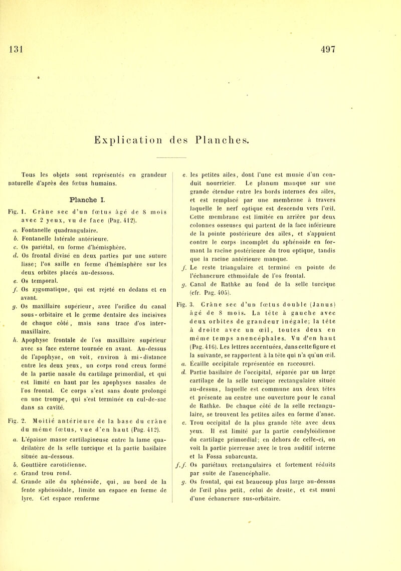 E X p 1 i c II t i o 11 d es PI a n c li e s. Tous les objets soiit représentés cii giandeur naturelle d'aprés des fætus humains. Planche I. Kig. 1. Gråne sec d’un fætus ågé de 8 mols avec 2 yeux, vu de face (Pag. 412). a. Fontanelle quadrangulaire. b. Fontanelle laterale antérieure. c. Os pariétal, en forme d'liémisphére. d. Os frontal divisé en deux parties par unc suture lisse; l’os saille en forme d'hémisphére sur les deux orbites placés au-dessous. e. Os temporal. /. Os zygomatique, qui est rejeté en dedans et en avant. (j. Os maxillaire supéricur, avec l’orifice du canal sous-orbitaire et le germe dentaire des incisives de chaque coté, mais sans trace d’os inter- maxillaire. h. Apophyse frontale de l’os maxillaire supérieur avec sa face externe tournée en avant. Au-dessus de l’apophyse, on voit, environ å mi-distance entre les deux yeux, un corps rond creux forme de la partie nasale du cartilage primordial, et qui est limité en baut par les apophyses nasales de l os frontal. Ce corps s’est sans doute prolongé en unc trompe, qui s’est terminée en cul-de-sac dans sa cavité. Fig. 2. Moitié antérieure de la base du cråne du méme fætus, vue d’en haut (Pag. 412). a. L’épaisse masse cartilagineuse entre la lame qua- drilatére de la seile turcique et la parlie basilaire située au-dessous. h. Gouttiére carotidienne. c. Grand trou rond. d. Grande alle du sphénoide, qui, au bord de la fente sphénoidale, limite un espace en forme de lyre. Get espace renferme e. les petites ailes, dont Tune est munie d'un eon- duit nourricier. Le planum manque sur une grande étendue entre les bords internes des ailes, et est remplacé par une membrane å travers laquelle le nerf optique est descendu vers Pæil. Gette membrane est limitée en arriére par deux colonnes osseuses qui partent de la face inférieure de la pointe postérieure des ailes, et s’appuient contre le corps incomplet du spliénoide en for- mant la racine postérieure du trou optique, tandis que la racine antérieure manque. /. Le reste triangulaire et terminé en pointe de l’échancrure ethmoidale de Pos frontal. g. Ganal de Rathke au fond de la selle turcique (cfr. Pag. 405). Fig. 3. Gråne sec d’un fætus double (Janus) ågé de 8 mois. La tete å gauche avec deux orbites de grandeur inégale; la tete å droite avec un æil, toutes deux en méme temps anencéphales. Vu d’en haut (Pag. 416). Les lettres accenluées, dansceltefigure et la suivante, se rapportent å la tete qui n’a qu'un æil. a. Écaille occipitale rcprésentée en raccourci. d. Partie basilaire de l'occipital, séparée par un large cartilage de la selle turcique reetangulaire située au-dessus, laquelle est commune aux deux tétes et présente au centre une ouverture pour le canal de Rathke. De chaque coté de la selle rectangu- laire, se trouvent les petites ailes en forme d’anse. e. Trou occipital de la plus grande tete avec deux yeux. II est limité pur la partie coiidyloidienne du cartilage primordial; en dehors de celle-ci, on voit la partie pierreuse avec le trou auditif interne et la Fossa subarcuata. /,/. Os pariétaux rcctangulaires et fortement rédnits par suite de l’anencéphalie. g. Os frontal, qui est beaueoup plus large au-dessus de l’æil plus petit, celui de droite, et est muni d'une échanerure sus-orbitaire.