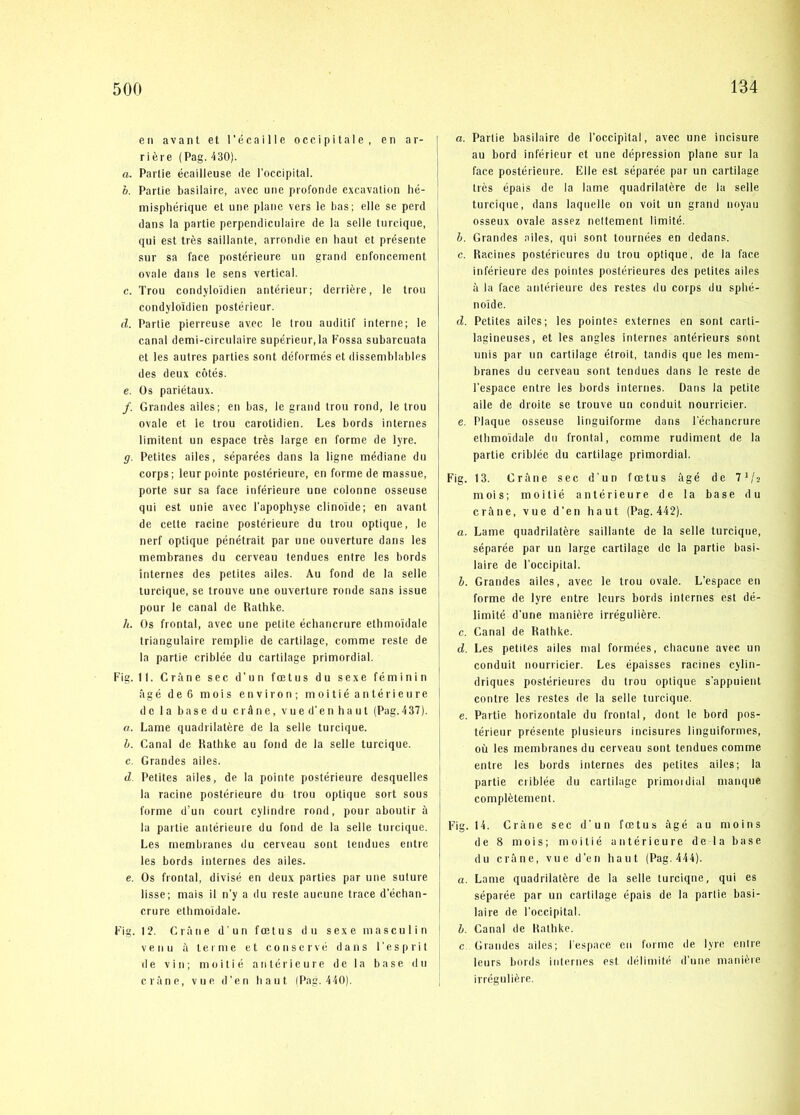 eti avant et récaille occipitale, en ar- ri ére (Pag. 430). a. Partie écailleuse de l'occipital. o. Partie basilaire, avec une profonde excavation hé- misphérique et une plane vers le bas; elle se perd dans la partie perpendicnlaire de la seile turcique, qui est trés saillante, arrondie en liaut et présente sur sa face postérieure un grand enfoncement ovale dans le sens vertical. c. Trou condylo'idien antérieur; deniére, le trou condyloidien postérieur. cl. Parlie pierreuse avec le trou audilif interne; le canal demi-circulaire supérieur.la Fossa subarcuata et les aulres parties sont déformés et dissemblables des deux cotés. e. Os pariétaux. /. Grandes ailes; en bas, le grand trou rond, le trou ovale et le trou carotidien. Les bords internes limitent un espace trés large en forme de lyre. g. Petites ailes, séparées dans la ligne médiane du corps; leur pointe postérieure, en formede massue, porte sur sa face inférieiire une colonne osseuse qui est unie avec l'apopliyse clinoide; en avant de cette racine postérieure du trou optique, le nerf optique pénétrait par une ouverture dans les membranes du cerveau lendues entre les bords internes des petites ailes. Au fond de la seile turcique, se trouve une ouverture ronde sans issue j pour le canal de Rathke. h. Os frontal, avec une petite éehancrure ethmoidale Iriangulaire remplie de cartilage, comme reste de la partie criblée du cartilage primordial. Fig. II. Gråne sec d’un fætus du sexe féminin ågé de 6 mois en vi ron; moitiéantérieure de la base du cråne, vue d’en haut (Pag.437). a. Lame quadrilatére de la selle turcique. h. Canal dc Rathke au fond de la selle turcique. c. Grandes ailes. d. Petites ailes, de la pointe postérieure desquelles la racine postérieure du trou optique sort sous forme d'un court cylindre rond, pour aboutir å la partie antérieure du fond de la selle turcique. Les membranes du cerveau sont tendues entre les bords internes des ailes. e. Os frontal, divisé en deux parties par une suture lisse; mais il n'y a du reste aucune trace d’échan- crure ethmoidale. Fig. 12. Cråne d'un fætus du sexe masculin v e n u å terme et c o ii s e r v é dans 1’ e s p r i t de vin; moitié antérieure de la base du cråne, vue d’en haut (Pag. 440). a. Partie basilaire de l'occipital, avec une incisure au bord inférieur et une dépression plane sur la face postérieure. Elle est séparée par un cartilage trés épais de la lame quadrilatére de la selle turcique, dans laquelle on voit un grand noyau osseux ovale assez nettement limité. h. Grandes ailes. qui sont tournées en dedans. c. Racines postéricures du trou optique, de la face inférieure des pointes postérieures des petites ailes å la face antérieure des restes du corps du sphé- noide. d. Petites ailes; les pointes externes en sont carti- lagineuses, et les angles internes antérieurs sont nnis par un cartilage étroit, tandis que les mem- branes du cerveau sont tendues dans le reste de l'espace entre les bords internes. Dans la petite aile de droite se trouve un conduit nourricier. e. Plaque osseuse linguiforme dans l'échancriire ethmoidale du frontal, comme rudiment de la partie criblée du cartilage primordial. Fig. 13. Cråne sec d’un fætus ågé de l'h mois; moitié antérieure de la base du cråne, vue d'en haut (Pag. 442). a. Lame quadrilatére saillante de la selle turcique, séparée par un large cartilage dc la partie basi- laire de l'occipital. b. Grandes ailes, avec le trou ovale. L’espace en forme de lyre entre leurs bords internes est dé- limité d’une maniére irréguliére. c. Canal de Rathke. d. Les petites ailes mal formées, chacune avec un conduit nourricier. Les épaisses racines cylin- driques postérieures du trou optique s’appuient coutre les restes de la selle turcique. e. Partie horizontale du frontal, dont le bord pos- térieur présente plusieurs incisures linguiformes, ou les membranes du cerveau sont tendues comme entre les bords internes des petites ailes; la partie criblée du cartilage primoidial manque complétement. Fig. 14. Cråne sec d'un fætus ågé au moins de 8 mois; moitié antérieure de la base du cråne, vue d’en haut (Pag. 444). a. Lame quadrilatére de la selle turcique, qui es séparée par un cartilage épais de la parlie basi- laire de l'occipital. b. Canal de Rathke. c Grandes ailes; l'espace cii forme de lyre entre leurs bords internes est déliniité d’une maniére irréguliére.