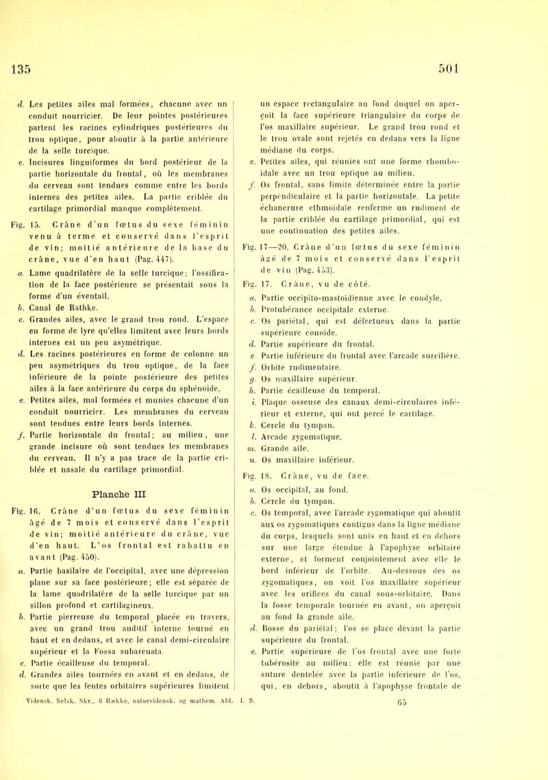 d. Les petites ailes mal formées, chacune avec nn conduit nourricier. De lenr pointes postérieures partenl les racincs cylindriques postérieures du Irou optique, pour aljoutir å la partie aniérieure de la seile turcique. e. Incisures linguiformes du bord postérienr de la partie horizontale du frontal, ou les membranes du cerveau sont tendues comme entre les bords internes des petites ailes. La partie criblée du cartilage primordial manque complétement. Fig, 15. Gråne d’un fætus du sexe feminin ve nu å terme et con serve dans l’esprit de vin; rnoitié antérieure de la base du cråne, vue d'en haut (Pag. 447). a. Lame quadrilalére de la selle turcique; l’ossifica- tion de la face postérieurc se présentait sous la forme d’un éventail. h. Canal de Rathke. c. Grandes ailes, avec le grand trou rond. L’espace en forme de lyre qu’elles limitent avec leurs bords internes est un peu asymétrique. d. Les racines postérieures en forme de colonne un peu asymétriques du trou optique, de la face inférieure de la pointe postérieure des petites ailes å la face antérieure du corps du sphéno'ide. e. Petites ailes, mal formées et munies chacune d’un conduit nourricier. Les membranes du cerveau sont tendues entre leurs bords internes. /. Partie horizontale du frontal; au milieu, une grande incisure ou sont tendues les membranes du cerveau. 11 n’y a pas trace de la partie cri- blée et nasale du cartilage primordial. Planche III Fig. 16. Gråne d’un fætus du sexe féminin ågé de 7 mois et con serve dans l’esprit de vin; rnoitié antérieure du cråne, vue d’en haut. L’os frontal est rabattu en avant (Pag. 450). a. Partie basilaire de l’occipital, avec une depression plane sur sa face postérieure; elle est séparée de la lame quadrilatére de la selle turcique par un sillon profond et cartilagineux. h. Partie pierreuse du temporal placée en travers, avec un grand trou auditif interne tourné en haut et en dedans, et avec le canal ilemi-circulaire supérieur et la Fossa subarcuata. c. Partie écailleuse du temporal. d. (irandes ailes tournées en avant et en dedans, de sorte que les fentes orbitaires supérieures limitent Vidensk. Selsk. Skr., G Række, naturvidensk. og mathem. Afd. un espace rectangulaire au fond duquel on aper- coit la face supérieure triangulaire ilu corps de Pos maxillaire supérieur. Le grand trou rond et le trou ovale sont rejetés en dedans vers la ligne médiane du corps. e. Petites ailes, qui réunies out une forme rbomljo- idale avec un trou optique au milieu. /. Os frontal, sans limite délerminée entre la partie perpendiculaire et la partie, horizontale. La petite écliancrure ethmoidale renferme un ruiliment de la partie criblée du cartilage primordial, (|ui est une coiitinuation des petites ailes. Fig. 17—20. Gråne d’un fætus du sexe féminin ågé de 7 mois et conservé dans F esprit de vin (Pag. 453). Fig. 17. Gråne, vu de coté. a. Partie occipito-mastoidienne avec le condyle. b. Protubérance occipitale externe. c. Os pariétal, qui est défeetueux dans la partie supérieure conoide. d. Partie supérieure du frontal. e Parlie inférieure du frontal avec l’arcade surciliére. /. Oibite rudimentaire. g. Os maxillaire supérieur. 11. Parlie écailleuse du temporal. i. Plaque osseuse des canaux demi-circulaires Infé- rieur et externe, qui ont percé le cartilage. Ic. Gercle du tynipan. 1. Arcade zygomatique. TO. Grande aile. n. Os maxillaire inférieur. Fig. 18. Gråne, vu de face. a. Os occipital, au fond. b. Gercle du tympan. c. Os temporal, avec l’arcade zygomatique qui aboutit aux os zygomatiqiies contigus dans la ligne médiane du corps, lesquels sont unis en haut et en dehors sur une large étendue å Papopbyse orbitaire externe, et forment conjointement avec elle le bord inférieur de l’orbite. Au-dessous des os zygomatiqiies, on voil l’os maxillaire supérieur avec les orifices du canal sous-orbitaire. Dans la fosse temporale tournée en avant, on apercoil au fond la grande aile. d. Bosse du pariétal; l’os se place devant la partie supérieure du frontal. e. Partie supérieure de Tos fronlal avec une forte tubérosité au milieu; ellc est réunie par une suture dentelée avec la partie inférieure de l’os, qui, en dehors, aboutit å l'apopbyse frontale de