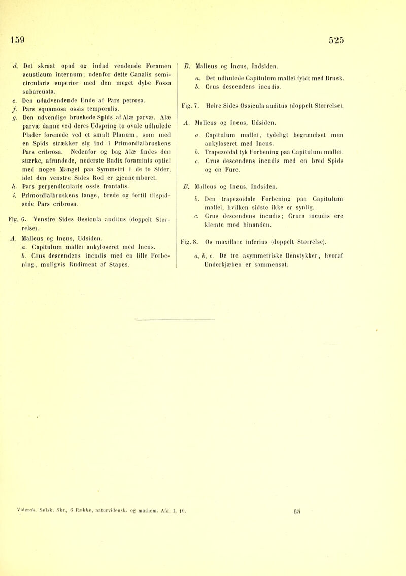 d. Det skraat opad og indad vendende Foranien acuslicum internum; udenfor dette Canalis senii- circularis superior med den meget dybe Fossa subarcuata. e. Den udadvendende Ende af Pars petrosa. /. Pars squamosa ossis temporalis. g. Den udvendige bruskede Spids afAlæparvæ. Alæ parvæ danne ved deres Udspring to ovale udhulede Plader forenede ved et smalt Planum, som med en Spids strækker sig ind i Primordialbruskens Pars cribrosa. Nedenfor og bag Alæ findes den stærke, afrundede, nederste Radix foraminis optici med nogen Mangel paa Symmetri i de lo Sider, idet den venstre Sides Rod er gjennemboret. h. Pars perpendicularis ossis frontalis. i. Primordialbruskens lange, brede og fortil tilspid- sede Pars cribrosa. Fig. G. Venstre Sides Ossicula anditus (doppelt Stur- relse). A. Mallens og Incus, Udsiden. a. Capitulum mallei ankyloseret med Inciis. b. Grus descendens incndis med en lille Forbe- ning, muligvis Rudiment af Stapes. B. Mallens og Incus, Indsiden. a. Det udhulede Capitulum mallei fyldt med Rrusk. h. Grus descendens ineudis. Fig. 7. Høire Sides Ossicula auditus (doppelt Størrelse). A. Malleus og Incus, Udsiden. a. Capitulum mallei, tydeligt begrændset men ankyloseret med Incus. h. Trapezoidal tyk Forbening paa Capitulum mallei. c. Grus descendens ineudis med en bred Spids og en Fure. B. Malleus og Incus, Indsiden. h. Den trapezoidale Forbening paa Capitulum mallei, hvilken sidste ikke er synlig. c. Grus descendens ineudis; Crura ineudis ere kicmic mod hinanden. Fig. 8. Os maxillarc inferius (doppelt Størrelse). a,h,c. De tre asymmetriske Renslykker, hvoraf Underkjæben er sammensat. G S Vidpnsk .Spfsk. .Skr., 0 Ilrkkko, natuvviilon.si:. og matliem. Afil. I, n.