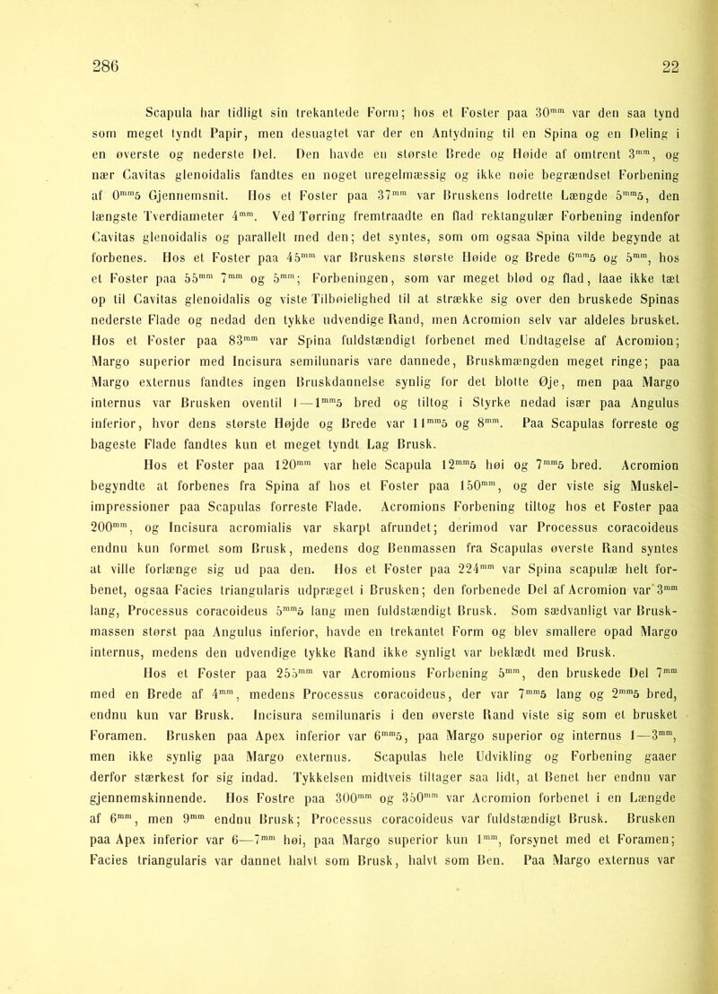 Scapula har tidligt sin trekantede Form; hos et Foster paa 30mm var den saa tynd som meget tyndt Papir, men desuagtet var der en Antydning til en Spina og en Heling i en øverste og nederste Del. Den havde en største Brede og Høide af omtrent 3mm, og nær Cavitas glenoidalis fandtes en noget uregelmæssig og ikke nøie begrændset Forbening af 0mra5 Gjennemsnit. Hos et Foster paa 37mm var Bruskens lodrette Længde 5mra5, den længste Tverdiameter 4mm. Ved Tørring fremtraadte en flad rektangulær Forbening indenfor Cavitas glenoidalis og parallelt med den; det syntes, som om ogsaa Spina vilde begynde at forbenes. Hos et Foster paa 45mm var Bruskens største Høide og Brede 6mn,5 og 5ram, hos et Foster paa 55mm 7mm og 5mra; Forbeningen, som var meget blød og flad, laae ikke tæt op til Cavitas glenoidalis og viste Tilbøjelighed til at strække sig over den bruskede Spinas nederste Flade og nedad den tykke udvendige Rand, men Acromion selv var aldeles brusket. Hos et Foster paa 83mm var Spina fuldstændigt forbenet med Undtagelse af Acromion; Margo superior med Incisura semilunaris vare dannede, Bruskmængden meget ringe; paa IVIargo externus fandtes ingen Bruskdannelse synlig for det blotte Øje, men paa Margo internus var Brusken oventil I—lmm5 bred og tiltog i Styrke nedad især paa Angulus inferior, hvor dens største Højde og Brede var llmm5 og 8mm. Paa Scapuias forreste og bageste Flade fandtes kun et meget tyndt Lag Brusk. Hos et Foster paa 120mm var hele Scapula I2mm5 høi og 7mra5 bred. Acromion begyndte at forbenes fra Spina af bos et Foster paa 150mm, og der viste sig Muskel- impressioner paa Scapuias forreste Flade. Acromions Forbening tiltog bos et Foster paa 200mm, og Incisura acromialis var skarpt afrundet; derimod var Processus coracoideus endnu kun formet som Brusk, medens dog Benmassen fra Scapuias øverste Rand syntes at ville forlænge sig ud paa den. Hos et Foster paa 224mm var Spina scapulæ belt for- benet, ogsaa Facies triangularis udpræget i Brusken; den forbenede Del af Acromion var'3mm lang, Processus coracoideus 5mmo lang men fuldstændigt Brusk. Som sædvanligt var Brusk- massen størst paa Angulus inferior, havde en trekantet Form og blev smallere opad IVIargo internus, medens den udvendige tykke Rand ikke synligt var beklædt med Brusk. Hos et Foster paa 25omm var Acromions Forbening 5mm, den bruskede Del 7mm med en Brede af 4mm, medens Processus coracoideus, der var 7mm5 lang og 2mm5 bred, endnu kun var Brusk. Incisura semilunaris i den øverste Rand viste sig som el brusket Foramen. Brusken paa Apex inferior var 6mm5, paa Margo superior og internus 1—3mm, men ikke synlig paa Margo externus. Scapuias bele Udvikling og Forbening gaaer derfor stærkest for sig indad. Tykkelsen midtveis tiltager saa lidt, at Benet her endnu var gjennemskinnende. Hos Fostre paa 300mm og 350mm var Acromion forbenet i en Længde af 6mm, men 9mm endnu Brusk; Processus coracoideus var fuldstændigt Brusk. Brusken paa Apex inferior var 6—7mm høi, paa Margo superior kun lmm, forsynet med et Foramen; Facies triangularis var dannet halvt som Brusk, halvt som Ben. Paa Margo externus var