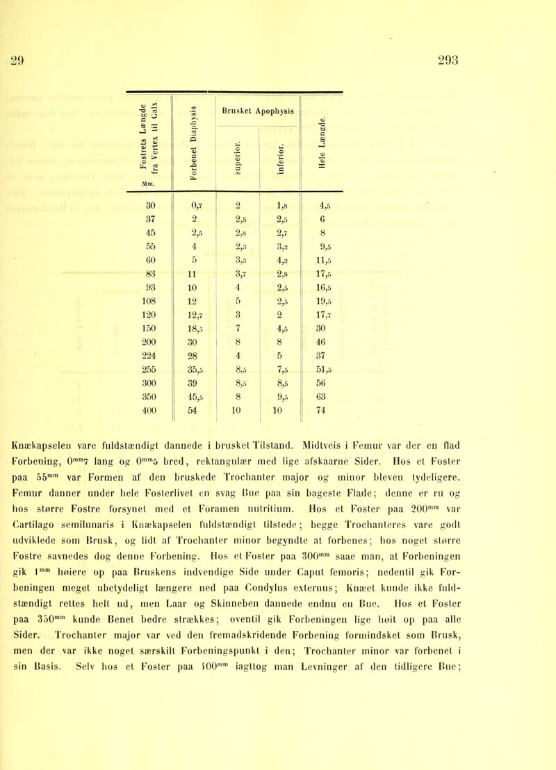 g Fostrets Længde • fra Vertex til Lalx. Forbenet Diaphysis Brusket Apophysis Hele Længde. superior. inferior. 30 0,7 2 1,8 4,5 37 2 2,5 2,5 6 45 2,5 2,8 2,7 8 55 4 2,3 3,2 9,5 60 5 3,3 4,2 11,5 83 11 3,7 2,8 17,5 93 10 4 2,5 16,5 108 12 5 2,5 19,5 120 12,7 3 2 17,7 150 18,5 7 4,5 30 200 30 8 8 46 224 28 4 5 37 255 35,5 8,5 7,5 51,5 300 39 8,5 8,5 56 350 45,5 8 9,5 63 400 54 10 10 74 Knækapselen vare fuldstændigt dannede i brusket Tilstand. Midtveis i Femur var der en flad Forbening, 0mm7 lang og 0mm5 bred, rektangulær med lige afskaarne Sider. Hos et Foster paa 55mm var Formen af den bruskede Trochanter major og minor bleven tydeligere. Femur danner under hele Fosterlivet en svag Hue paa sin bageste Flade; denne er ru og hos større Fostre forsynet med et Foramen nutrilium. Hos et Foster paa 200mra var Cartilago semilunaris i Knækapselen fuldstændigt tilstede; begge Trochanteres vare godt udviklede som Brusk, og lidt af Trochanter minor begyndte at forbenes; hos noget større Fostre savnedes dog denne Forbening. Hos et Foster paa 300mm saae man, at Forbeningen gik lmm høiere op paa Bruskens indvendige Side under Capnt femoris; nedentil gik For- beningen meget ubetydeligt længere ned paa Condylus externus; Knæet kunde ikke fuld- stændigt rettes helt ud, men Laar og Skinneben dannede endnu en Bue. Hos et Foster paa 350mm kunde Benet bedre strækkes; oventil gik Forbeningen lige høit op paa alle Sider. Trochanter major var ved den fremadskridende Forbening formindsket som Brusk, men der var ikke noget særskilt Forbeningspunkt i den; Trochanter minor var forbenet i sin Basis. Selv hos et Foster paa i00mm iagttog man Levninger af den tidligere Bue;