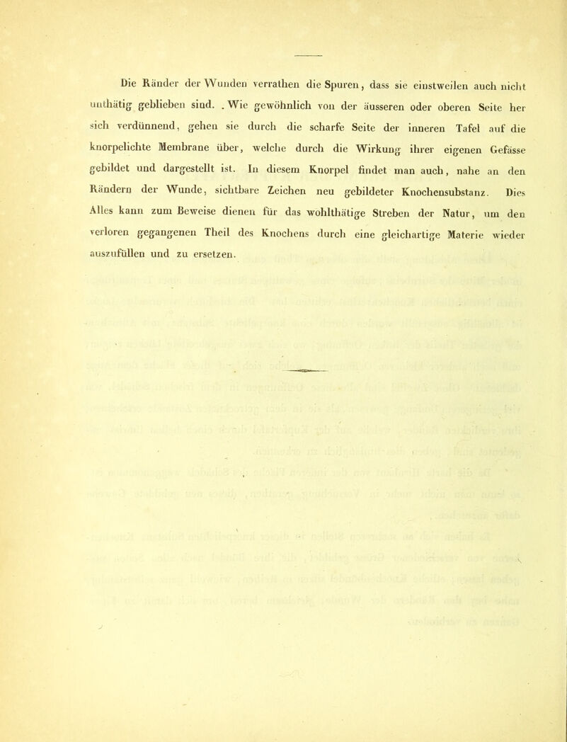 Die Ränder der Wunden verralhen die Spuren, dass sie einstweilen auch nicht unthätig geblieben sind. .Wie gewöhnlich von der äusseren oder oberen Seite her sich verdünnend, gehen sie durch die scharfe Seite der inneren Tafel auf die knorpelichte Membrane über, welche durch die Wirkung ihrer eigenen Gefässe gebildet und dargestellt ist. In diesem Knorpel findet man auch, nahe an den Rändern der Wunde, sichtbare Zeichen neu gebildeter Knochensubstanz. Dies Alles kann zum Beweise dienen für das wohlthätige Streben der Natur, um den verloren gegangenen Theil des Knochens durch eine gleichartige Materie wieder auszufüllen und zu ersetzen. \ J