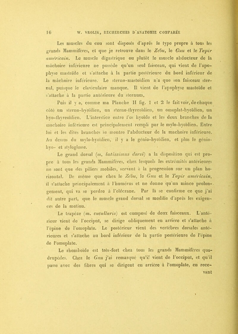 Les muscles du cou sont disposés d’après le type propre à tous les grands Mammifères, cl que je retrouve dans le Zébu, le Guu et le Tapir américain. Le muscle digastrique ou plutôt le muscle abducteur de la mâchoire inférieure ne possède qu’un seul faisceau, qui vient de l’apo- physe masloïde et s’attache à la partie postérieure du bord inférieur de la mâchoire inférieure. Le slerno-masloïdien n’a que son faisceau ster- nal, puisque le claviculaire manque. ïl vient de l’apophyse masloïde et s’attache à la partie antérieure du sternum. Puis il y a, comme ma Planche lï fig. 1 et 2 le fait voir,, de chaque côté un sterno-hyoïdien, un slerno Ihyreoïdien, un omoplat-hyoïdien, un hyo-lhyreoïdien. L’interstice entre l’os hyoïde et les deux branches de la machoiro inférieure est principalement rempli par le mylo-hyoïdien, Entre lui et les dites branches se montre l’abducteur de la mâchoire inférieure. Au dessus du mylo-hyoïdien, il y a le génio-byoïdien, et plus le génio- hyo- et slylogiosse. Le grand dorsal [m. latissimus dorsi) a la disposition qui est pro- pre à tous les grands Mammifères, chez lesquels les extrémités antérieures ne sont que des piliers mobiles, servant à la progression sur un plan ho- rizontal. De môme que chez le Zébu, le Gnu et le Tapir américain, il s’attache principalement à l’humérus et ne donne qu’un mince prolon- gement, qui va se perdre à l’olécrane. Par là se confirme ce que j’ai dit autre part, que le muscle grand dorsal se modifie d’après les exigen- ces de la motion. Le trapèze (m. cucullaris) est composé de deux faisceaux. L’anté- rieur vient de l’occiput, se dirige obliquement en arriéré et s’attache à l’épine de l’omoplate. Le postérieur vient des vertèbres dorsales anté- rieures et s’attache au bord inférieur de la partie postérieure de l’épine de l’omoplate. Le rhomboïde est très-fort chez tous les grands Mammifères qua- drupèdes. Ch.ez le Gnu j’ai remarqué qu’i! vient de l’occiput, et qu’il passe avec des fibres qui se dirigent en arrière à l’omoplate, en rece- vant