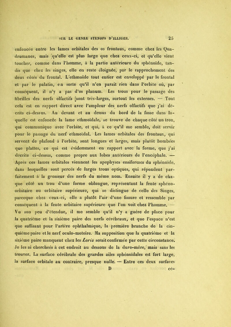 enfoncée entre les lames orbitales des os frontaux, comme chez les Qua- drumanes, mais [qu’elle est plus large que chez ceux-ci, et qu’elle vient toucher, comme dans l’homme, à la partie antérieure du sphénoïde, tan- dis que chez les singes, elle en reste éloignée, par le rapprochement des deux côtés du frontal. L^elhmoide tout entier est enveloppé par le frontal et par le palatin, en sorte qu’il n’en parait rien dans l’orbite où, par conséquent, il n’y a pas d’os planum. Les trous pour le passage des fibrilles des nerfs olfactifs [sont très-larges, surtout les externes. — Tout cela est en rapport direct avec l’ampleur des nerfs olfactifs que j’ai dé- crits ci-dessus. Au devant et au dessus du bord de la fosse dans la- quelle est enfoncée la lame ethmoïdale, se trouve de chaque côté un trou, qui communique avec l’orbite, et qui, à ce qu’il me semble, doit servir pour le passage du nerf ethmoidal. Les lames orbitales des frontaux, qui servent de plafond à l’orbite, sont longues et larges, mais plutôt bombées que plalfes, ce qui est évidemment en rapport avec la forme, que j’ai décrite ci-dessus, comme propre aux lobes antérieurs de l’encéphale. — Après ces lames orbitales viennent les apophyses ensiformes du sphénoïde, dans lesquelles sont percés de larges trous optiques, qui répondent par- faitement à la grosseur des nerfs du même nom. Ensuite il y a de cha- que côté un trou d’une forme oblongue, représentant la fente sphéno- orbilaire ou orbitaire supérieure, qui se distingue de celle des Singes, parceque chez ceux-ci, elle a plutôt l’air d’une fissure et ressemble par conséquent à la fente orbitaire supérieure que l’on voit chez l’homme, — Vu son peu d’étendue, il me semble qu’il n’y a guère de place pour la quatrième et la sixième paire des nerfs cérébraux, et que l’espace n’est que suffisant pour l’artère ophthalmique, la première branche de la cin- quième paire et le nerf ociilo-motoire. Ma supposition que la quatrième et la sixième paire manquent chez les Loris serait confirmée par cette circonstance. Je les ai cherchées à cet endroit au dessous de la dure-mère,” mais sans les trouver. La surface cérébrale des grandes ailes sphénoïdales est fort large, la surface orbitale au contraire, presque nulle. — Entre ces deux surfaces D cé-