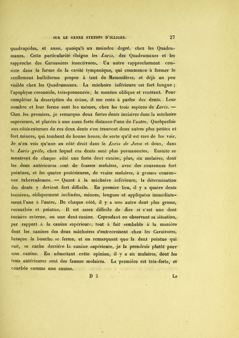 quadrupèdes, et aussi, quoiqu’à un moindre degré, chez les Quadru- manes. Celle particularité éloigne les Loris, des Quadrumanes et les rapproche des Carnassiers insectivores. Uu autre rapprochement con- siste dans la forme de la cavité tympanique, qui commence à former le renflement bulbiforme propre à tant de Mammifères, et déjà un peu visible chez les Quadrumanes. La mâchoire inférieure est fort longue ; l’apophyse coronoïde, très-prononcée; le menton oblique et rentrant. Pour compléter la description du crâne, il me reste à parler des dents. Leur nombre et leur forme sont les mêmes, chez les trois espèces de Zoris. — Chez les premiers, je remarque deux fortes dents incisives dans la mâchoire supérieure, et placées à une assez forte distance l’une de l’autre. Quelquefois aux côtés externes de cos deux dents s’en trouvent doux autres plus petites et fort minces, qui tombent de bonne heure, de sorte qu’il est rare de les voir. Je n’en vois qu’une au côté droit dans le Loris de Java et deux, dans le Loris grêle, chez lequel ces dents sont plus permanentes. Ensîiite se montrent de chaque côté une forte dent canine, plus, six molaires, dont les deux antérieures sont de fausses molaires, avec des couronnes fort pointues, et les quatre postérieures, de vraies molaires, à grosses couron- nes tuberculeuses. — Quant à la mâchoire inférieure, la détermination des dents y devient fort difficile. En premier lieu, il y a quatre dents incisives, obliquement inclinées, minces, longues et appliquées immédiate- ment l’une à l’autre. De chaque côté, il y a une autre dent plus grosse, recourbée et pointue. Il est assez difficile de dire si c'est une dent incisive externe, ou une dent canine. Cependant en observant sa situation, par rapport à la canine supérieure, tout à fait sembable à la manière dont les canines des deux mâchoires s’entrecroisent chez les Carnivores, lorsque la bouche se ferme, et en remarquant que la dent pointue qui suit, se cache derrière la canine supérienre, je la prendrais plutôt pour une canine. En admettant cette opinion, il y a six molaires, dont les trois antérieures sont des fausses molaires. La première est très-forte, et courbée comme une canine. D 2 La