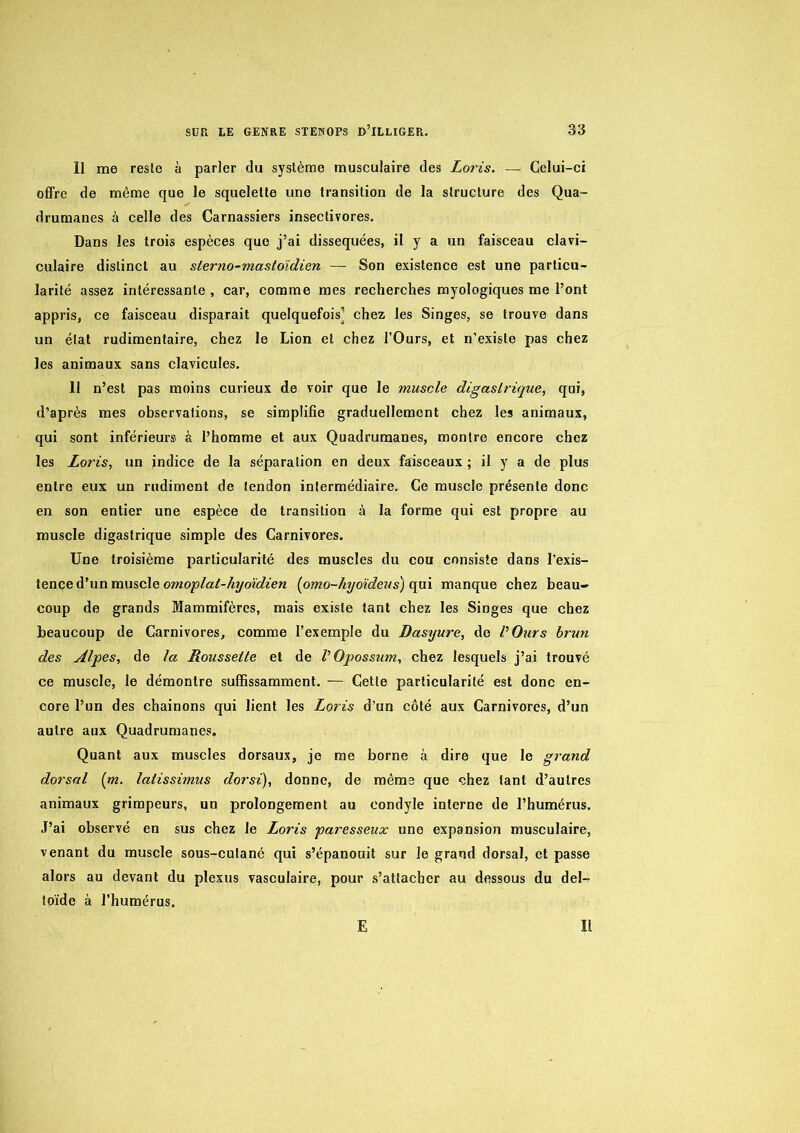 Il me reste à parler du système musculaire des Loris. — Celui-ci ofiPre de même que le squelette une transition de la structure des Qua- drumanes à celle des Carnassiers insectivores. Dans les trois espèces que j’ai disséquées, il y a un faisceau clavi- culaire distinct au sierno-masloïdien — Son existence est une particu- larité assez intéressante , car, comme mes recherches myologiques me l’ont appris, ce faisceau disparait quelquefois] chez les Singes, se trouve dans un état rudimentaire, chez le Lion et chez l’Ours, et n’existe pas chez les animaux sans clavicules. 11 n’est pas moins curieux de voir que le muscle digastrique, qui, d’après mes observations, se simplifie graduellement chez les animaux, qui sont inférieurs à l’homme et aux Quadrumanes, montre encore chez les Loris, un indice de la séparation en deux faisceaux; il y a de plus entre eux un rudiment de tendon intermédiaire. Ce muscle présente donc en son entier une espèce de transition à la forme qui est propre au muscle digastrique simple des Carnivores. Une troisième particularité des muscles du cou consiste dans l’exis- tence d’un muscle {omo~hyoïdeus) manque chez beau- coup de grands Mammifères, mais existe tant chez les Singes que chez beaucoup de Carnivores, comme l’exemple du Dasyure, de P Ours brun des Alpes, de la Lousseite et de V Opossum, chez lesquels j’ai trouvé ce muscle, le démontre suflSssamment. — Cette particularité est donc en- core l’un des chaînons qui lient les Loris d’un côté aux Carnivores, d’un autre aux Quadrumanes. Quant aux muscles dorsaux, je me borne à dire que le grand dorsal [m. latissimus dorsi), donne, de même que chez tant d’autres animaux grimpeurs, un prolongement au eondyle interne de l’humérus. J’ai observé en sus chez le Loris paresseux une expansion musculaire, venant du muscle sous-cutané qui s’épanouit sur le grand dorsal, et passe alors au devant du plexus vasculaire, pour s’attacher au dessous du del- toïde à l’humérus. E I!