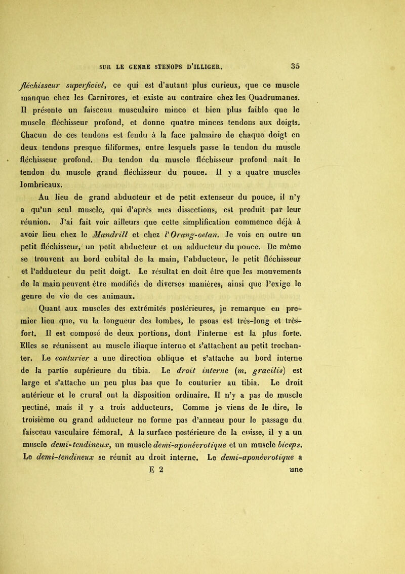 fléchisseur superficiel, ce qui est d’autant plus curieux, que ce muscle manque chez les Carnivores, et existe au contraire chez lesi Quadrumanes. Il présente un faisceau musculaire mince et bien plus faible que le muscle fléchisseur profond, et donne quatre minces tendons aux doigts. Chacun de ces tendons est fendu à la face palmaire de chaque doigt en deux tendons presque filiformes, entre lesquels passe le tendon du muscle fléchisseur profond. Du tendon du muscle fléchisseur profond naît le tendon du muscle grand fléchisseur du pouce. Il y a quatre muscles lombricaux. Au lieu de grand abducteur et de petit extenseur du pouce, il n’y a qu’un seul muscle, qui d’après mes dissections, est produit par leur réunion. J’ai fait voir ailleurs que celte simplification commence déjà à avoir lieu chez le Mandrill et chez VOrang-oetan. Je vois en outre un petit fléchisseur,^ un petit abducteur et un adducteur du pouce. De même se trouvent au bord cubital de la main, l’abducteur, le petit fléchisseur et l’adducteur du petit doigt. Le résultat en doit être que les mouvements de la main peuvent être modifiés de diverses manières, ainsi que l’exige le genre de vie de ces animaux. Quant aux muscles des extrémités postérieures, je remarque en pre- mier lieu que, vu la longueur des lombes, le psoas est très-long et très- fort. Il est composé de deux portions, dont l’interne est la plus forte. Elles se réunissent au muscle iliaque interne et s’attachent au petit trochan- ter. Le couturier a une direction oblique et s’attache au bord interne de la partie supérieure du tibia. Le droit interne (m, gracilis) est large et s’attache un peu plus bas que le couturier au tibia. Le droit antérieur et le crural ont la disposition ordinaire. Il n’y a pas de muscle pecliné, mais il y a trois adducteurs. Comme je viens de le dire, le troisième ou grand adducteur ne forme pas d’anneau pour le passage du faisceau vasculaire fémoral. A la surface postérieure de la cuisse, il y a un muscle demi-tendineux, un mmcle demi-aponévroticiue et un muscle biceps. Le demi-tendineux se réunit au droit interne. Le demi-aponévrotique a E 2 une