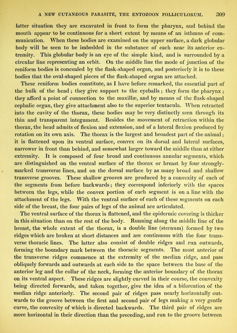 latter situation they are excavated in front to form the pharynx, and behind the mouth appear to be continuous for a short extent by means of an isthmus of com- munication. When these bodies are examined on the upper surface, a dark globular body will be seen to be imbedded in the substance of each near its anterior ex- tremity. This globular body is an eye of the simple kind, and is surrounded by a circular line representing an orbit. On the middle line the mode of junction of the reniform bodies is concealed by the flask-shaped organ, and posteriorly it is to these bodies that the oval-shaped pieces of the flask-shaped organ are attached. These reniform bodies constitute, as I have before remarked, the essential part of the bulk of the head ; they give support to the eyeballs ; they form the pharynx ; they afford a point of connection to the maxillae, and by means of the flask-shaped cephalic organ, they give attachment also to the superior tentacula. When retracted into the cavity of the thorax, these bodies may be very distinctly seen through its thin and transparent integument. Besides the movement of retraction within the thorax, the head admits of flexion and extension, and of a lateral flexion produced by rotation on its own axis. The thorax is the largest and broadest part of the animal; it is flattened upon its ventral surface, convex on its dorsal and lateral surfaces, narrower in front than behind, and somewhat larger toward the middle than at either extremity. It is composed of four broad and continuous annular segments, which are distinguished on the ventral surface of the thorax or breast by four strongly- marked transverse lines, and on the dorsal surface by as many broad and shallow transverse grooves. These shallow grooves are produced by a convexity of each of the segments from before backwards; they correspond inferiorly with the spaces between the legs, while the convex portion of each segment is on a line with the attachment of the legs. With the ventral surface of each of these segments on each side of the breast, the four pairs of legs of the animal are articulated. The ventral surface of the thorax is flattened, and the epidermic covering is thicker in this situation than on the rest of the body. Running along the middle line of the breast, the whole extent of the thorax, is a double line (sternum) formed by two ridges which are broken at short distances and are continuous with the four trans- verse thoracic lines. The latter also consist of double ridges and run outwards, forming the boundary mark between the thoracic segments. The most anterior of the transverse ridges commence at the extremity of the median ridge, and pass obliquely forwards and outwards at each side to the space between the base of the anterior leg and the collar of the neck, forming the anterior boundary of the thorax on its ventral aspect. These ridges are slightly curved in their course, the convexity being directed forwards, and taken together, give the idea of a bifurcation of the median ridge anteriorly. The second pair of ridges pass nearly horizontally out- wards to the groove between the first and second pair of legs making a very gentle curve, the convexity of which is directed backwards. The third pair of ridges are more horizontal in their direction than the preceding, and run to the groove between