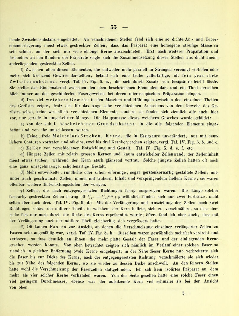 bende Zwischensubstanz eingebettet. An verschiedenen Stellen fand sich eine so dichte An - und Ueber- einanderlagerung meist etwas gestreckter Zellen , dass das Präparat eine homogene streifige Masse zu sein schien, an der sich nur viele oblonge Kerne auszeichneten. Erst nach weiterer Präparation und besonders an den Rändern der Präparate zeigte sich die Zusammensetzung dieser Stellen aus dicht anein- anderliegenden gestreckten Zellen. f) Zwischen allen diesen Elementen, die entweder mehr paralell in Strängen vereinigt verliefen oder mehr sich kreuzend Gewirre darstellten, befand sich eine trübe gallertartige, oft fein granulirte Zwischensubstanz, vergl. Taf. IV. Fig. 5. a., die sich durch Zusatz von Essigsäure leicht lösste. Sie stellte das Bindematerial zwischen den eben beschriebenen Elementen dar, und ein Theil derselben blieb immer an den geschilderten Fasergeweben bei deren microscopischen Präparation hängen. 2) Das viel weichere Gewebe in den Maschen und Höhlungen zwischen den einzelnen Theilen des Gerüstes zeigte, trotz des für das Auge sehr verschiedenen Aussehens von dem Gewebe des Ge- rüstes selbst, keine wesentlich verschiedenen Elemente, sondern sie fanden sich ziemlich alle auch hier vor, nur gerade in umgekehrter Menge. Die Haupsmasse dieses weichem Gewebes wurde gebildet: aj von der sub f. beschriebenen Gr u n d s u b s ta n z , in die alle folgenden Elemente einge- bettet und von ihr umschlossen wraren. b) Feine, freie M ol e cu lar k ö r n ch e n , Kerne, die in Essigsäure unverändert, nur mit deut- lichem Conturen vortraten und oft eins, zwei bis drei Kernkörperchen zeigten, vergl. Taf. IV. Fig. 5. b. und c. c) Zellen von verschiedener Entwicklung und Gestalt. Taf. IV. Fig. 5. d. e. f. etc. a) Jüngere Zellen mit relativ grossen Kernen und kaum entwickelter Zellenwand, der Zelleninhalt meist etwas trüber, während der Kern stark glänzend vortrat. Solche jüngste Zellen hatten oft noch eine ganz unregelmässige, schollenartige Gestalt. ß) Mehr entwickelte, rundliche oder schon eiförmige , sogar gerstenkornartig gestaltete Zellen; mit- unter auch geschwänzte Zellen, immer mit trüberm Inhalt und vorspringendem hellem Kerne; sie waren offenbar weitere Entwicklungsstufen der vorigen. y) Zellen, die nach entgegengesetzten Richtungen fasrig ausgezogen waren. Die Länge solcher faserartig gestreckten Zellen betrug oft 1/1? — l/ 10mm ; gewöhnlich fanden sich nur zwei Fortsätze, nicht selten aber auch drei. (Taf. IV. Fig. 9. d.) Mit der Verlängerung und Ausziehung der Zellen nach zwei Richtungen schien der mittlere Theil, in welchem der Kern haftete, sich zu verschmälern, so dass der- selbe fast nur noch durch die Dicke des Kerns repräsentirt wurde; öfters fand ich aber auch, dass mit der Verlängerung auch der mittlere Theil gleichzeitig sich vergrössert hatte. S) Oft kamen Fasern zur Ansicht, an denen die Verschmelzung einzelner verlängerter Zellen zu Fasern sehr augenfällig war, vergl. Taf. IV. Fig. 5. h. Dieselben waren gewöhnlich mehrfach verdreht und verbogen, so dass deutlich an ihnen die mehr platte Gestalt der Faser und der einliegenden Kerne gesehen werden konnte. Von oben betrachtet zeigten sich nämlich im Verlauf einer solchen Faser so ziemlich in gleicher Entfernung ovale Kerne eingelagert; in der Nähe dieser Kerne nun verbreiterte sich die Faser bis zur Dicke des Kerns, nach der entgegengesetzten Richtung verschmälerte sie sich wieder bis zur Nähe des folgenden Kerns, wo sie wieder zu dessen Dicke anschwoll. An den feinem Stellen hatte wohl die Verschmelzung der Faserzellen stattgefunden. Ich sah kein isolirtes Präparat an dem mehr als vier solcher Kerne vorhanden waren. Von der Seite gesehen hatte eine solche Faser einen viel geringem Durchmesser, ebenso war der aufsitzende Kern viel schmäler als bei der Ansicht von oben. 5
