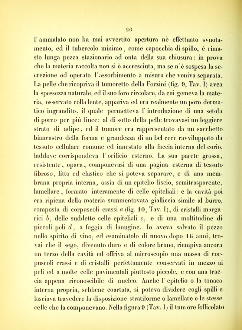 F ammalato non ha mai avvertito apertura nè effettuato svuota- mento, ed il tubercolo minimo, come capocchia di spillo, è rima- sto lunga pezza stazionario ad onta della sua chiusura : in prova che la materia raccolta non si è accresciuta, ma se n è sospesa la se- crezione od operato F assorbimento a misura che veniva separala. La pelle che ricopriva il lumoretto della Forzini (fig. 9, Tav. 1) avea la spessezza naturale, ed il suo foro circolare, da cui gemeva la mate- ria, osservato colla lente, appariva ed era realmente un poro derma- tico ingrandito, il quale permetteva F introduzione di una setola di porco per più lince: al di sotto della pelle trovavasi un leggiere strato di adipe, ed il tumore era rappresentato da un sacchetto biancastro della forma e grandezza di un bel cece ravviluppato da tessuto cellulare comune ed innestato alla faccia interna del corio, laddove corrispondeva F orificio esterno. La sua parete grossa, resistente, opaca, componevasi di una pagina esterna di tessuto fibroso, fitto ed elastico clic si poteva separare, e di una mem- brana propria interna, ossia di un epitelio liscio, semitrasparente, lamellare, formato interamente di celle epiteliali: e la cavità poi era ripiena della materia summentovata gialliccia simile al burro, composta di corpuscoli crassi a (fig. 10, Tav. I), di cristalli marga- rici b, delle suddette celle epiteliali c, e di una moltitudine di piccoli peli d, a foggia di lanugine, lo aveva salvato il pezzo nello spirito di vino, ed esaminatolo di nuovo dopo 16 anni, tro- vai che il sego, divenuto duro e di colore bruno, riempiva ancora un terzo della cavità ed offriva al microscopio una massa di cor- puscoli crassi e di cristalli perfettamente conservali in mezzo ai peli ed a molte celle pavimentali piuttosto piccole, e con una trac- cia appena riconoscibile di nucleo. Anche F epitelio o la tonaca interna propria, sebbene coartata, si poteva dividere cogli spilli e lasciava travedere la disposizione stratiforme o lamellare e le stesse celle clic la componevano. Nella figura9 (Tav. I) il tumore follicolato