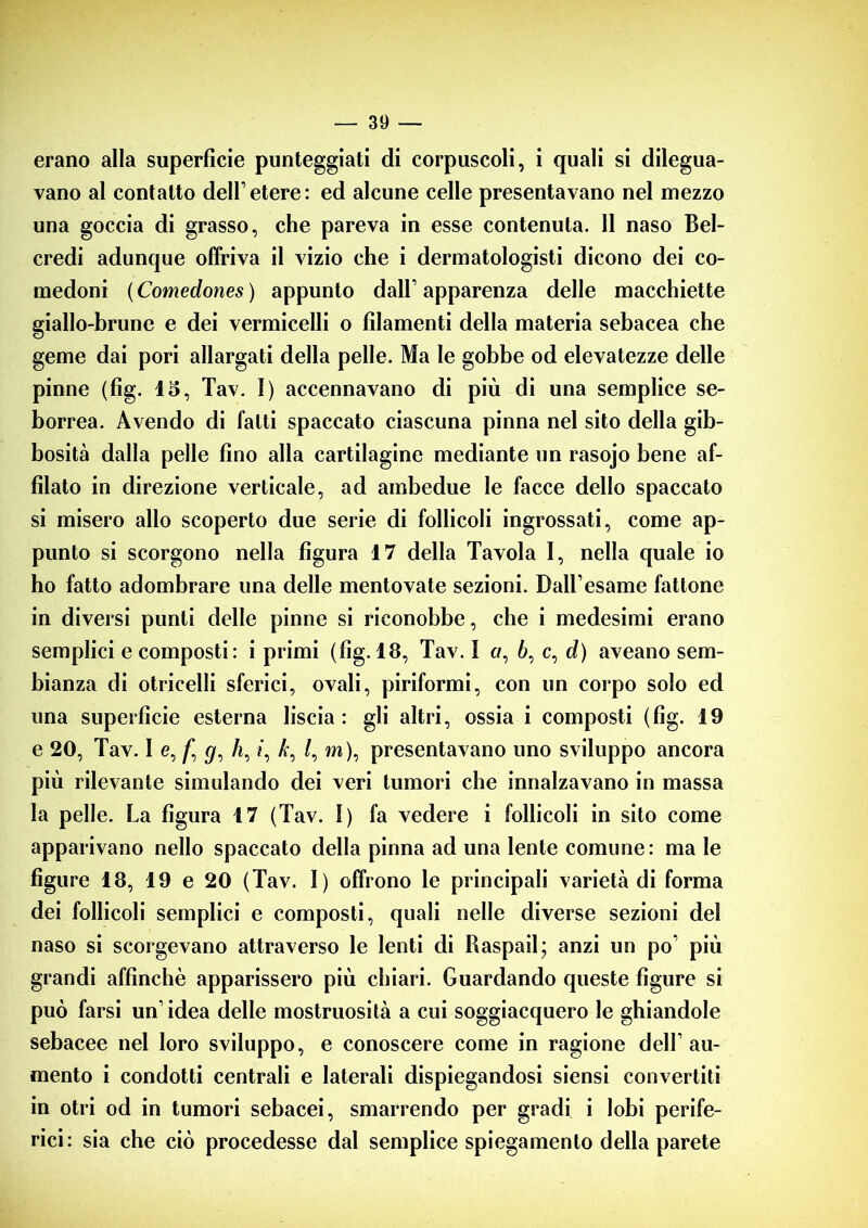 erano alla superficie punteggiati di corpuscoli, i quali si dilegua- vano al contatto dell1 etere : ed alcune celle presentavano nel mezzo una goccia di grasso, che pareva in esse contenuta. 11 naso Bei- credi adunque offriva il vizio che i dermatologisti dicono dei co- medoni (Comedones) appunto dall’apparenza delle macchiette giallo-brune e dei vermicelli o filamenti della materia sebacea che geme dai pori allargati della pelle. Ma le gobbe od elevatezze delle pinne (fig. 15, Tav. 1) accennavano di più di una semplice se- borrea. Avendo di fatti spaccato ciascuna pinna nel sito della gib- bosità dalla pelle fino alla cartilagine mediante un rasojo bene af- filato in direzione verticale, ad ambedue le facce dello spaccato si misero allo scoperto due serie di follicoli ingrossati, come ap- punto si scorgono nella figura 17 della Tavola I, nella quale io ho fatto adombrare una delle mentovate sezioni. DaH’esame fattone in diversi punti delle pinne si riconobbe, che i medesimi erano semplici e composti: i primi (fig. 18, Tav. I o, 6, c, d) aveano sem- bianza di otricelli sferici, ovali, piriformi, con un corpo solo ed una superficie esterna liscia: gli altri, ossia i composti (fig. 19 e 20, Tav. I e, f‘ </, /i, t, /, iw), presentavano uno sviluppo ancora più rilevante simulando dei veri tumori che innalzavano in massa la pelle. La figura 17 (Tav. 1) fa vedere i follicoli in sito come apparivano nello spaccato della pinna ad una lente comune: ma le figure 18, 19 e 20 (Tav. I) offrono le principali varietà di forma dei follicoli semplici e composti, quali nelle diverse sezioni del naso si scorgevano attraverso le lenti di Raspail; anzi un po’ più grandi affinchè apparissero più chiari. Guardando queste figure si può farsi un’idea delle mostruosità a cui soggiacquero le ghiandole sebacee nel loro sviluppo, e conoscere come in ragione dell’au- mento i condotti centrali e laterali dispiegandosi siensi convertiti in otri od in tumori sebacei, smarrendo per gradi i lobi perife- rici: sia che ciò procedesse dal semplice spiegamento della parete