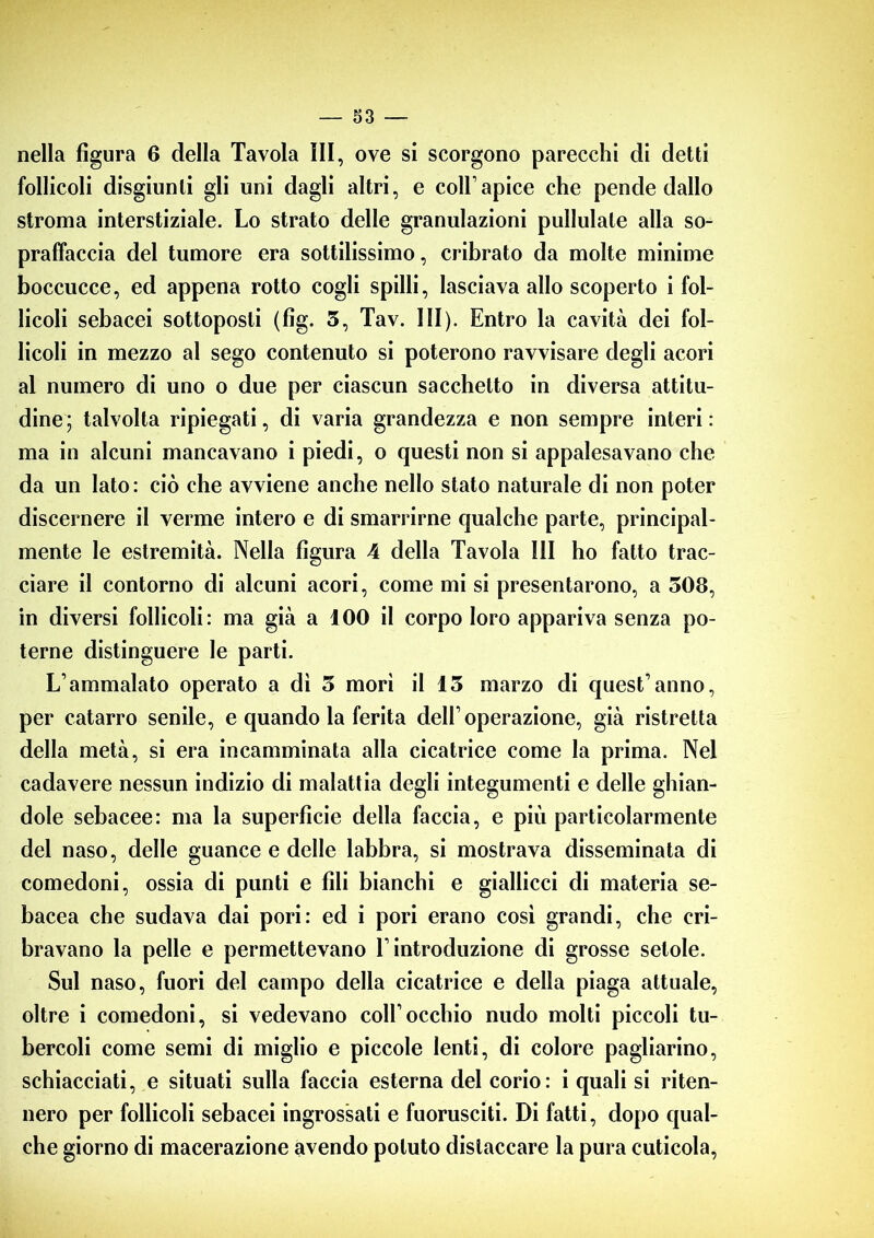 nella figura 6 della Tavola III, ove si scorgono parecchi di detti follicoli disgiunti gli uni dagli altri, e coll1 apice che pende dallo stroma interstiziale. Lo strato delle granulazioni pullulale alla so- praffaccia del tumore era sottilissimo, cribrato da molte minime boccucce, ed appena rotto cogli spilli, lasciava allo scoperto i fol- licoli sebacei sottoposti (fig. 3, Tav. III). Entro la cavità dei fol- licoli in mezzo al sego contenuto si poterono ravvisare degli acori al numero di uno o due per ciascun sacchetto in diversa attitu- dine ; talvolta ripiegati, di varia grandezza e non sempre interi : ma in alcuni mancavano i piedi, o questi non si appalesavano che da un lato: ciò che avviene anche nello stato naturale di non poter discernere il verme intero e di smarrirne qualche parte, principal- mente le estremità. Nella figura 4 della Tavola 111 ho fatto trac- ciare il contorno di alcuni acori, come mi si presentarono, a 508, in diversi follicoli: ma già a 100 il corpo loro appariva senza po- terne distinguere le parti. L’ammalato operato a di 5 morì il 13 marzo di quest’anno, per catarro senile, e quando la ferita dell1 operazione, già ristretta della metà, si era incamminata alla cicatrice come la prima. Nel cadavere nessun indizio di malattia degli integumenti e delle ghian- dole sebacee: ma la superficie della faccia, e più particolarmente del naso, delle guance e delle labbra, si mostrava disseminata di comedoni, ossia di punti e fili bianchi e giallicci di materia se- bacea che sudava dai pori: ed i pori erano così grandi, che cri- bravano la pelle e permettevano l1 introduzione di grosse setole. Sul naso, fuori del campo della cicatrice e della piaga attuale, oltre i comedoni, si vedevano coll’occhio nudo molti piccoli tu- bercoli come semi di miglio e piccole lenti, di colore pagliarino, schiacciati, e situati sulla faccia esterna del corio: i quali si riten- nero per follicoli sebacei ingrossati e fuorusciti. Di fatti, dopo qual- che giorno di macerazione avendo potuto distaccare la pura cuticola,