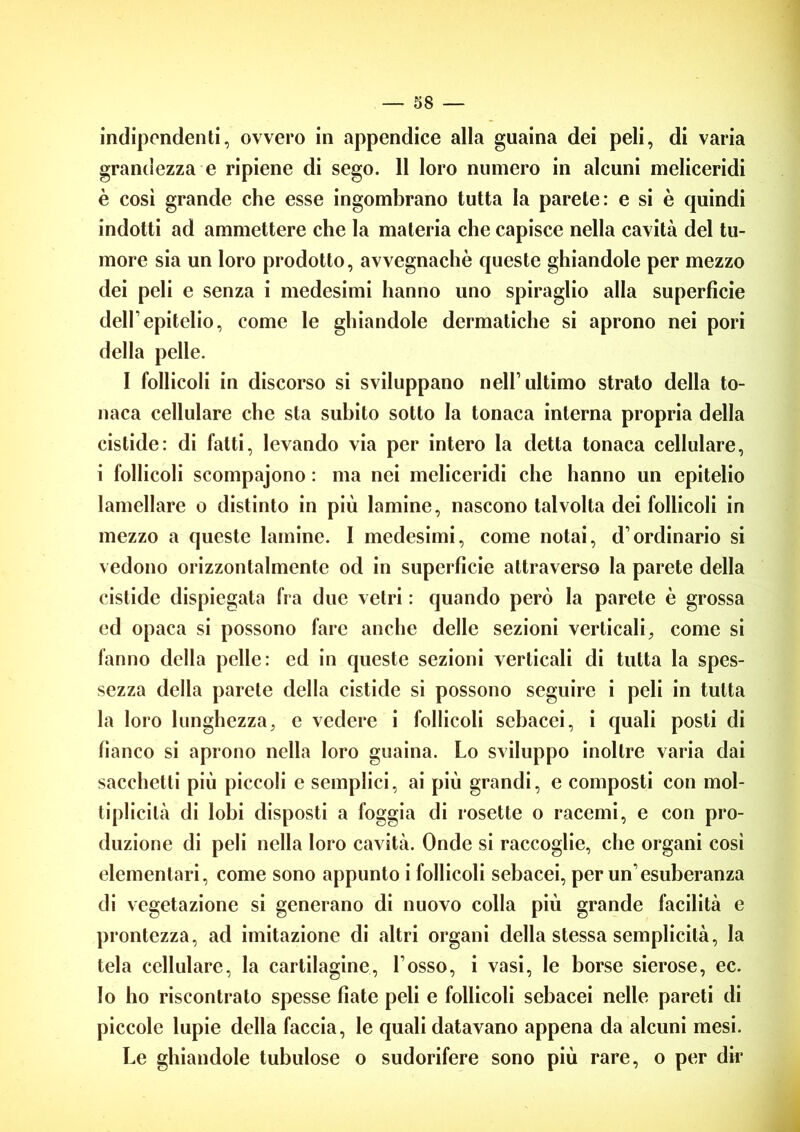 indipendenti, ovvero in appendice alla guaina dei peli, di varia grandezza e ripiene di sego. 11 loro numero in alcuni meliceridi è così grande che esse ingombrano tutta la parete: e si è quindi indotti ad ammettere che la materia che capisce nella cavità del tu- more sia un loro prodotto, avvegnaché queste ghiandole per mezzo dei peli e senza i medesimi hanno uno spiraglio alla superficie dell1 epitelio, come le ghiandole dermatiche si aprono nei pori della pelle. I follicoli in discorso si sviluppano nell’ultimo strato della to- naca cellulare che sta subito sotto la tonaca interna propria della cistide: di fatti, levando via per intero la detta tonaca cellulare, i follicoli scompajono : ma nei meliceridi che hanno un epitelio lamellare o distinto in più lamine, nascono talvolta dei follicoli in mezzo a queste lamine. I medesimi, come notai, d’ordinario si vedono orizzontalmente od in superficie attraverso la parete della cistide dispiegata fra due vetri : quando però la parete è grossa ed opaca si possono fare anche delle sezioni verticali, come si fanno della pelle: ed in queste sezioni verticali di tutta la spes- sezza della parete della cistide si possono seguire i peli in tutta la loro lunghezza, e vedere i follicoli sebacei, i quali posti di fianco si aprono nella loro guaina. Lo sviluppo inoltre varia dai sacchetti più piccoli e semplici, ai più grandi, e composti con mol- tiplicità di lobi disposti a foggia di rosette o racemi, e con pro- duzione di peli nella loro cavità. Onde si raccoglie, che organi così elementari, come sono appunto i follicoli sebacei, per un’esuberanza di vegetazione si generano di nuovo colla più grande facilità e prontezza, ad imitazione di altri organi della stessa semplicità, la tela cellulare, la cartilagine, l’osso, i vasi, le borse sierose, ec. Io ho riscontrato spesse fiate peli e follicoli sebacei nelle pareti di piccole lupie della faccia, le quali datavano appena da alcuni mesi. Le ghiandole tubulose o sudorifere sono più rare, o per dir