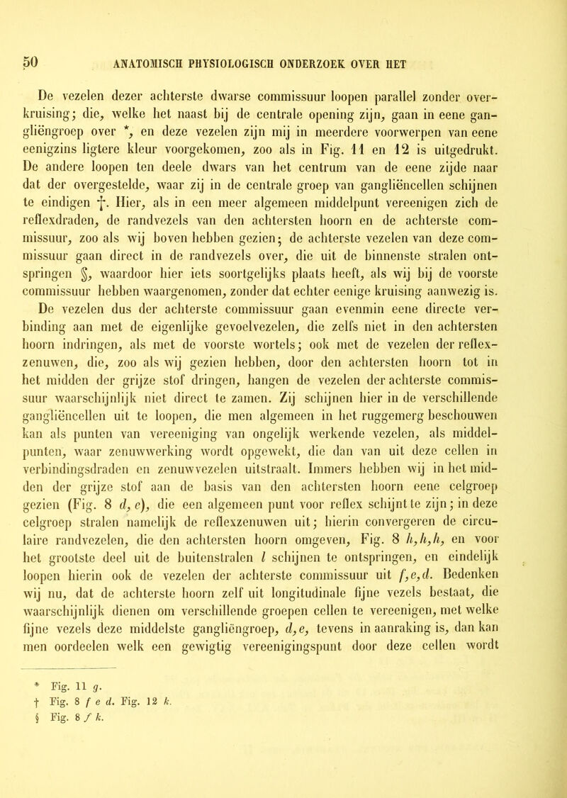 De vezelen dezer achterste dwarse eommissuur loopen parallel zonder over- kruising; die, welke het naast bij de centrale opening zijn, gaan in eene gan- gliëngroep over *, en deze vezelen zijn mij in meerdere voorwerpen van eene eenigzins ligtere kleur voorgekomen, zoo als in Fig. 11 en 12 is uitgedrukt. De andere loopen ten deele dwars van het centrum van de eene zijde naar dat der overgestelde, waar zij in de centrale groep van gangliëncellen schijnen te eindigen Hier, als in een meer algemeen middelpunt vereenigen zich de reflexdraden, de randvezels van den achtersten hoorn en de achterste com- missuur, zoo als wij boven hebben gezien; de achterste vezelen van deze com- missuur gaan direct in de randvezels over, die uit de binnenste stralen ont- springen §, waardoor hier iets soortgelijks plaats heeft, als wij bij de voorste eommissuur hebben waargenomen, zonder dat echter eenige kruising aanwezig is. De vezelen dus der achterste eommissuur gaan evenmin eene directe ver- binding aan met de eigenlijke gevoelvezelen, die zelfs niet in den achtersten hoorn indringen, als met de voorste wortels; ook met de vezelen der reflex- zenuwen, die, zoo als wij gezien hebben, door den achtersten hoorn tot in het midden der grijze stof dringen, hangen de vezelen der achterste commis- suur waarschijnlijk niet direct te zamen. Zij schijnen hier in de verschillende gangliëncellen uit te loopen, die men algemeen in het ruggemerg beschouwen kan als punten van vereeniging van ongelijk werkende vezelen, als middel- punten, waar zenuwwerking wordt opgewekt, die dan van uit deze cellen in verbindingsdraden en zenuwvezelen uitstraalt. Immers hebben wij in het mid- den der grijze stof aan de basis van den achtersten hoorn eene celgroep gezien (Fig. 8 d, e), die een algemeen punt voor reflex schijnt te zijn; in deze celgroep stralen namelijk de reflexzenuwen uit; hierin convergeren de circu- laire randvezelen, die den achtersten hoorn omgeven, Fig. 8 h,h,h, en voor het grootste deel uit de buitenstralen l schijnen te ontspringen, en eindelijk loopen hierin ook de vezelen der achterste eommissuur uit f,e,d. Bedenken wij nu, dat de achterste hoorn zelf uit longitudinale fijne vezels bestaat, die waarschijnlijk dienen om verschillende groepen cellen te vereenigen, met welke fijne vezels deze middelste gangliëngroep, d,e, tevens in aanraking is, dan kan men oordeelen welk een gewigtig vereenigingspunt door deze cellen wordt * Eig. 11 g. -)■ Fig. 8 f e d. Fig. 12 k. § Fig. 8 f k.