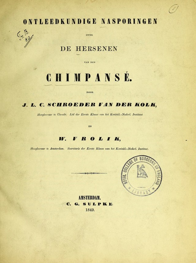 digitised image 1
