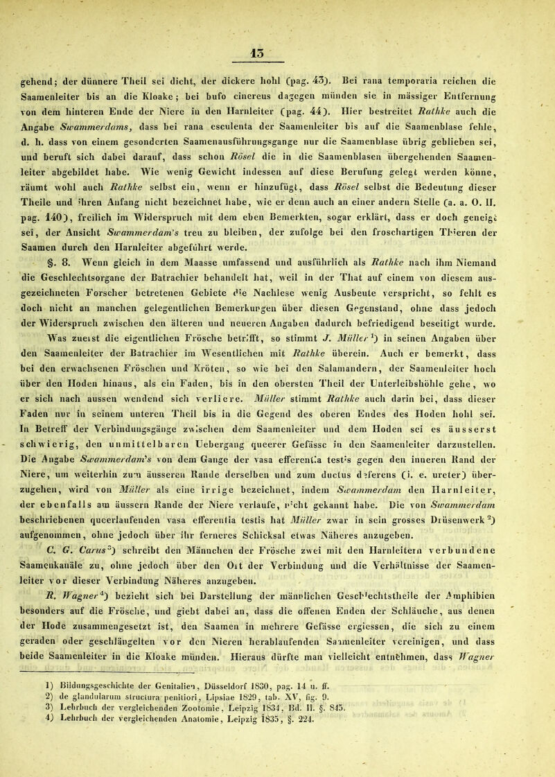 15 gehend; der dünnere Theil sei dicht, der dickere hohl (pag. 43). Bei rana temporaria reichen die Saaraenleiter bis an die Kloake; bei bufo cinereus dagegen münden sie in massiger Entfernung von dem hinteren Ende der Niere in den Harnleiter (pag. 44). Hier bestreitet Rathke auch die Angabe Swammerdams, dass bei rana esculenta der Saamenleiter bis auf die Saamenblase fehle, d. h. dass von einem gesonderten Saamenausfülirungsgange nur die Saamenblase übrig geblieben sei, und beruft sich dabei darauf, dass schon Rösel die in die Saamenblasen übergehenden Saamen- leiter abgebildet habe. Wie wenig Gewicht indessen auf diese Berufung gelegt werden könne, räumt wohl auch Rathke selbst ein, wenn er hinzufügt, dass Rösel selbst die Bedeutung dieser Theile und ihren Anfang nicht bezeichnet habe, wie er denn auch an einer andern Stelle (a. a. 0. II. pag. 140), freilich im Widerspruch mit dem eben Bemerkten, sogar erklärt, dass er doch geneigt sei, der Ansicht Swammerdam’s treu zu bleiben, der zufolge bei den froschartigen Thieren der Saamen durch den Harnleiter abgeführt werde. §. 8. Wenn gleich in dem Maasse umfassend und ausführlich als Rathke nach ihm Niemand die Geschlechtsorgane der Batrachier behandelt hat, weil in der That auf einem von diesem aus- gezeichneten Forscher betretenen Gebiete die Nachlese wenig Ausbeute verspricht, so fehlt es doch nicht an manchen gelegentlichen Bemerkungen über diesen Gegenstand, ohne dass jedoch der Widerspruch zwischen den älteren und neueren Angaben dadurch befriedigend beseitigt wurde. Was zueist die eigentlichen Frösche betrifft, so stimmt J. Müller*) in seinen Angaben über den Saamenleiter der Batrachier im Wesentlichen mit Rathke überein. Auch er bemerkt, dass bei den erwachsenen Fröschen und Kröten, so wie bei den Salamandern, der Saamenleiter hoch über den Hoden hinaus, als ein Faden, bis in den obersten Theil der Enterleibshöhle gehe, wo er sich nach aussen wendend sich verliere. Müller stimmt Rathke auch darin bei, dass dieser Faden nur in seinem unteren Theil bis in die Gegend des oberen Endes des Hoden hohl sei. In Betreff der Verbindungsgänge zwischen dem Saamenleiter und dem Hoden sei es äusserst schwierig, den unmittelbaren Uebergang queerer Gefässc in den Saamenleiter darzustellen. Die Angabe Sivammerdani’s von dem Gange der vasa efferentla test's gegen den inneren Rand der Niere, um weiterhin zum äusseren Rande derselben und zum ductus d’ferens (i. e. ureter) über- zugehen, wird von Müller als eine irrige bezeichnet, indem Swammerdam den Harnleiter, der ebenfalls am äussern Rande der Niere verlaufe, p:cht gekannt habe. Die von Swammerdam beschriebenen queerlaufenden vasa efferentia testis hat Müller zwar in sein grosses Drüsenwerk1 2) aufgenommen, ohne jedocli über ihr ferneres Schicksal etwas Näheres anzugeben. CL G. Cants3) schreibt den Männchen der Frösche zwei mit den Harnleitern verbundene Saamenkanäle zu, ohne jedoch über den Ort der Verbindung und die Verhältnisse der Saamen- leiter vor dieser Verbindung Näheres anzugeben. R, Wagner4) bezieht sich bei Darstellung der männlichen Gescl^echtstheile der Amphibien besonders auf die Frösche, und giebt dabei an, dass die offenen Enden der Schläuche, aus denen der Hode zusammengesetzt ist, den Saamen in mehrere Gefässe ergiessen, die sich zu einem geraden oder geschlängelten vor den Nieren herablaufenden Saamenleiter vereinigen, und dass beide Saamenleiter in die Kloake münden. Hieraus dürfte man vielleicht entnahmen, dass Wagner 1) Bildungsgeschichte der Genitalien, Düsseldorf 1830, pag. 14 u. ff. 2) de glandularum structura'penitiori, Lipsiae 1829, tab. XV, fig. 9. 3) Lehrbuch der vergleichenden Zootomie, Leipzig 1834, Bd. 11. §. 845.