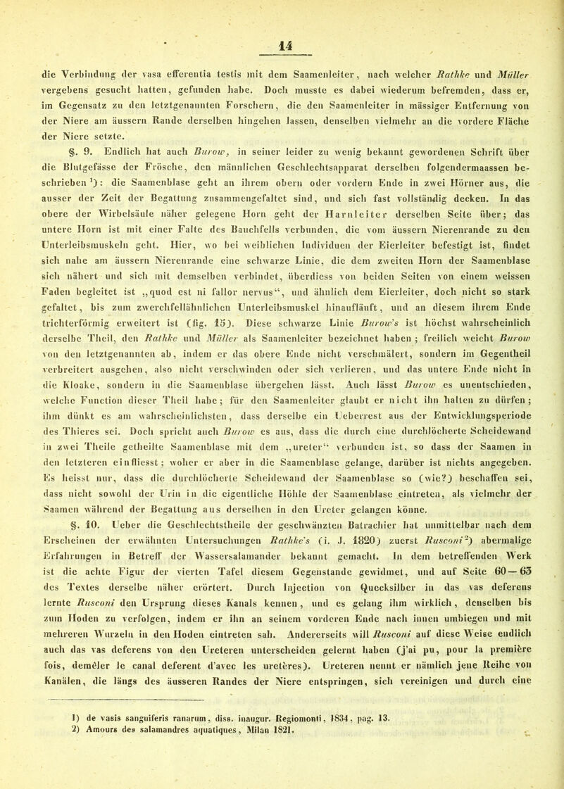 die Verbindung der rasa efferentia testis mit dem Saamenleiter, nach welcher Ratlilce und Müller vergebens gesucht hatten, gefunden habe. Doch musste es dabei wiederum befremden, dass er, im Gegensatz zu den letztgenannten Forschern, die den Saamenleiter in massiger Entfernung von der Niere am äussern Rande derselben hingehen lassen, denselben vielmehr an die vordere Fläche der Niere setzte. §. 9. Endlich hat auch Burow, in seiner leider zu Avenig bekannt geAvordenen Schrift über die Blutgefässe der Frösche, den männlichen Geschlechtsapparat derselben folgendermaassen be- schrieben1 2): die Saamcnblase geht an ihrem obern oder vordem Ende in ZAvei Hörner aus, die ausser der Zeit der Begattung zusamrnengefaltet sind, und sich fast vollständig decken. In das obere der Wirbelsäule näher gelegene Horn geht der Harnleiter derselben Seite über; das untere Horn ist mit einer Falte des Bauchfells verbunden, die vom äussern Nierenrande zu den Unterleibsmuskeln geht. Hier, avo bei Aveiblichen Individuen der Eierleiter befestigt ist, findet sich nahe am äussern Nierenrande eine schwarze Linie, die dem zweiten Horn der Saamenblase sich nähert und sich mit demselben verbindet, iiberdiess von beiden Seiten von einem weissen Faden begleitet ist „quod est ni fallor nervus“, und ähnlich dem Eierleiter, doch nicht so stark gefaltet, bis zum ZAverchfellähnlichcn Unterleibsmuskel hinaufläuft, und an diesem ihrem Ende trichterförmig erweitert ist (lig. 15). Diese sclnvarzc Linie Buroiv's ist höchst Avahrscheinlich derselbe Theil, den Ratlilce und Müller als Saamenleiter bezeichnet haben ; freilich Aveicht Burow von den letztgenannten ab, indem er das obere Ende nicht verschmälert, sondern im Gegentheil verbreitert ausgehen, also nicht verschwinden oder sich verlieren, und das untere Ende nicht in die Kloake, sondern in die Saamenblase übergehen lässt. Auch lässt Burow es unentschieden, welche Function dieser Theil habe; für den Saamenleiter glaubt er nicht ihn halten zu dürfen; ihm dünkt es am Avahrscheiniichsten, dass derselbe ein Ueberrest aus der EntAvicklungsperiode des Thieres sei. Doch spricht auch Burow es aus, dass die durch eine durchlöcherte Scheidewand in zwei Theile getheilte Saamenblase mit dem „ureter“ verbunden ist, so dass der Saamen in den letzteren einfliesst; Avoher er aber in die Saamenblase gelange, darüber ist nichts angegeben. Es heisst nur, dass die durchlöcherte ScheideAvand der Saamenblase so (wie?) beschaffen sei, dass nicht sowohl der Urin in die eigentliche Höhle der Saamenblase cintreten, als vielmehr der Saamen während der Begattung aus derselben in den Ureter gelangen könne. §. 10. Ueber die Geschlechtstheile der gesclwänzten Batrachier hat unmittelbar nach dem Erscheinen der erAvähnten Untersuchungen Rathlce's (i. J. 1820) zuerst Rusconi~) abermalige Erfahrungen in Betreff der Wassersalamander bekannt gemacht, ln dem betreffenden Werk ist die achte Figur der vierten Tafel diesem Gegenstände gewidmet, und auf Seite 60—65 des Textes derselbe näher erörtert. Durch Injection von Quecksilber in das vas deferens lernte Rusconi den Ursprung dieses Kanals kennen, und es gelang ihm wirklich, denselben bis zum Hoden zu verfolgen, indem er ihn an seinem vorderen Ende nach innen umbiegen und mit mehreren Wurzeln in den Hoden eintreten sah. Andererseits will Rusconi auf diese Weise endlich auch das vas deferens von den Ureteren unterscheiden gelernt haben (j’ai pu, pour la premifere fois, demeler Je canal deferent d’avec les ureteres). Ureteren nennt er nämlich jene Reihe von Kanälen, die längs des äusseren Randes der Niere entspringen, sich vereinigen und durch eine 1) de vasis sanguiferis ranarum, diss. inatigur. Regiomonli, 1834, pag. 13. 2) Amours des salamandres aquatiques, Milan 1821.