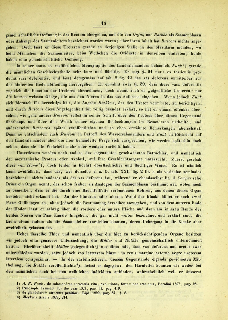 gemeinschaftliche Oeffnung in das Rectum übergehen, und die von Dufay und Rathke als Saamenblasen oder Anhänge des Saamenleiters bezeichnet worden waren ; über ihren Inhalt hat Rusconi nichts ange- geben. Doch lässt er diese Ureteren gerade an derjenigen Stelle in den Mastdarm münden, wo beim Männchen die Saamenleiter, beim Weibchen die Oviducte in denselben eintreten; beide haben eine gemeinschaftliche Oeffnung. In seiner sonst so ausführlichen Monographie des Landsalamanders behandelt Funk *) gerade die männlichen Geschlechtstheile sehr kurz und flüchtig. Er sagt §. 51 nur: ex testiculis pro- deunt vasa deferentia, und lässt demgemäss auf tab. 2 fig. 12 das vas deferens unmittelbar aus der hintersten Hodenabtheilung hervorgehen. Er erwähnt zwar §. 39, dass diese vasa deferentia zugleich die Function der Ureteren übernehmen, doch nennt auch er „eigentliche Ureteren“ nur die kurzen weissen Gänge, die aus den Nieren in das vas deferens eingehen. Wenn jedoch Funk sich hiernach für berechtigt hält, die Angabe Rathlce’s, der den Ureter verm'sste, zu berichtigen, und durch Rusconi diese Angelegenheit für völlig beendet erklärt, so hat er einmal offenbar über- sehen, wie ganz anders Rusconi selbst in seiner Schrift über den Proteus über diesen Gegenstand überhaupt und über den Werth seiner eigenen Beobachtungen im Besonderen urtlieilte, und andererseits Rusconi’s später veröffentlichte und so eben erwähnte Bemerkungen überschätzt. Denn so entschieden auch Rusconi in Betreff des Wassersalamanders und Funk in Rücksicht auf den Landsalamander über die hier behandelte Frage sich aussprechen, wir werden späterhin doch sehen, dass sie die Wahrheit mehr oder weniger verfehlt haben. Unterdessen wurden noch andere der sogenannten geschwänzten Batrachier, und namentlich der mexicanische Proteus oder Axolotl, auf ihre Geschlechtsorgane untersucht. Zuerst geschah diess von Home), doch leider in höchst oberflächlicher und flüchtiger Weise. Es ist nämlich kaum zweifelhaft, dass das, was derselbe a. a. O. tab. XXII fig. 2 lit. c als vesiculae seminales bezeichnet, nichts anderes als das vas deferens ist, während er ebendaselbst lit. d Cowper’sehe Drüse ein Organ nennt, das schon früher als Analogon der Saamenblasen bestimmt war, wobei noch zu bemerken, dass er die durch eine Bauchfellfalte verbundenen Röhren, aus denen dieses Organ besteht, nicht erkannt hat. An der hinteren oder oberen Wand der Kloake bildet er auch zwei Paar Oeffhungen ab, ohne jedoch die Bestimmung derselben anzugeben, und von dem unteren Ende der Hoden lässt er schräg über die vordere oder untere Fläche und dann am inneren Rande der beiden Nieren ein Paar Kanäle hingehen, die gar nicht weiter bezeichnet und erklärt sind, die kaum etwas anders als die Saamenleiter vorstellen könnten, deren Uebergang in die Kloake aber zweifelhaft gelassen ist. Ueber dasselbe Thier und namentlich über die hier zu berücksichtigenden Organe besitzen wir jedoch eine genauere Untersuchung, die Müller und Rathke gemeinschaftlich unternommen hatten. Hierüber theilt Müller gelegentlich1 2 3) nur diess mit, dass vas deferens und ureter zwar unterschieden wurden, setzt jedoch von letzterem hinzu: in renis margine externo aegre ureterem lateralem conspeximus. — In der ausführlicheren, diesem Gegenstände eigends gewidmeten Mit- theilung, die Rathke veröffentlichte4), heisst es dagegen: den Harnleiter konnten wir weder bei den männlichen noch bei den weiblichen Individuen auffinden, wahrscheinlich weil er äusserst 1) A. F. Funk, de salamandrae terrestris vita, evolutione, formatione tractatus, ßerolini 1827, pag. 28. 2) Psilosoph. Transact. for tbe year 1824, pavt. II, pag. 419. 3) de glandularum structura penitiori, Lips. 1829, pag. 87, §. 8. 4) Meckel's Archiv 1829; 214.