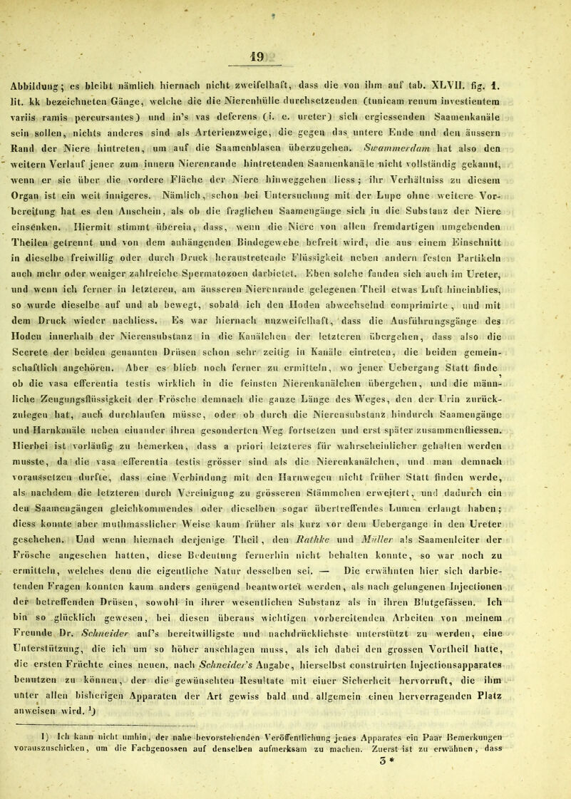 Abbildung; es bleibt nämlich hiernach nicht zweifelhaft, dass die von ihm auf tab. XLVII. fig. 1. lit. kk bezeichneten Gänge, welche die die Nierenhiilie durchsetzenden (tunicam renum investientem variis ramis percursantes) und in’s vas deferens (i. e. ureter) sich ergiessenden Saamenkanäle sein sollen, nichts anderes sind als Arterienzweige, die gegen das untere Ende und den änssern Rand der Niere hintreten, um auf die Saamenblasen überzugehen. Swammerdam hat also den weitern Verlauf jener zum innern Nierenrande hintretenden Saamenkanäle-nicht vollständig gekannt, wenn er sie über die vordere Fläche der Niere hinweggehen licss ; ihr Verhältniss zu diesem Organ ist ein weit innigeres. Nämlich, schon bei Untersuchung mit der Lupe ohne weitere Vor- bereitung hat es den Anschein, als ob die fraglichen Saamengänge sich in die Substanz der Niere einsenken. Hiermit stimmt überein, dass, wenn die Niere von allen fremdartigen umgebenden Thcilen getrennt und von dem anhängenden Bindegewebe befreit wird, die aus einem Einschnitt in dieselbe freiwillig oder durch Druck heraustretende Flüssigkeit neben andern festen Partikeln auch mehr oder weniger zahlreiche Spermatozoon darbietet. Eben solche fanden sich auch im Ureter, und wenn ich ferner in letzteren, am äusseren Nierenrande gelegenen Theäl etwas Luft hineinblies, so wurde dieselbe auf und ab bewegt, sobald ich den Hoden abwechselnd comprimirte , und mit dem Druck wieder nachliess. Es war hiernach unzweifelhaft, dass die Ausführungsgänge des Hoden innerhalb der Nierensubstanz in die Kanälchen der letzteren übergehen, dass also die Secrete der beiden genannten Drüsen schon sehr zeitig in Kanäle eintreten, die beiden gemein- schaftlich angehören. Aber es blieb noch ferner zu ermitteln, wo jener Uebergang Statt finde ob die vasa efferentia testis wirklich in die feinsten Nierenkanälchen übergehen, und die männ- liche Zeugungsflüssigkeit der Frösche demnach die ganze Länge des Weges, den der Urin zurück- zulegen hat, auch durchlaufen müsse, oder ob durch die Nierensubstanz hindurch Saamengänge und Harnkanäle neben einander ihren gesonderten Weg fortsetzen und erst später zusammenfliessen. Hierbei ist vorläufig zu bemerken, dass a priori letzteres für wahrscheinlicher gehalten werden musste, da die vasa efferentia testis grösser sind als die Nierenkanälchen, und man demnach voraussetzen durfte, dass eine Verbindung mit den Harnwegen nicht früher Statt finden werde, als nachdem die letzteren durch Vereinigung zu grösseren Stämmchen erweitert, und dadurch ein den Saamengängen gleichkommendes oder dieselben sogar übertreffendes Lumen erlangt haben; diess konnte aber muthmasslichcr Weise kaum früher als kurz vor dem Uebergange in den Ureter geschehen. Und wenn hiernach derjenige Theil , den Ilathke und Müller als Saamenleiter der Frösche angesehen hatten, diese Bedeutung fernerhin nicht behalten konnte, so war noch zu ermitteln, welches denn die eigentliche Natur desselben sei. — Die erwähnten hier sich darbie- tenden Fragen konnten kaum anders genügend beantwortet werden, als nach gelungenen Injectionen der betreffenden Drüsen, sowohl in ihrer wesentlichen Substanz als in ähren Blutgefässen. Ich bin so glücklich gewesen, bei diesen überaus wichtigen vorbereitenden Arbeiten von meinem Freunde Dr. Schneider auf’s bereitwilligste und nachdrücklichste unterstützt zu werden, eine Unterstützung, die ich um so höher anschlageu muss, als icli dabei den grossen Vortheil hatte, die ersten Früchte eines neuen, nach Schneidens Angabe, hierseihst construirten Injectionsapparates benutzen zu können, der die gewünschten Resultate mit einer Sicherheit hervorruft, die ihm unter allen bisherigen Apparaten der Art gewiss bald und allgemein einen hervorragenden Platz anweisen wird. 1) Ich kann nicht umhin, der nahe bevorstehenden Veröffentlichung jenes Apparates ein Paar Bemerkungen vorauszuschicken, um die Facbgenossen auf denselben aufmerksam zu machen. Zuerst ist zu erwähnen , dass 5 *