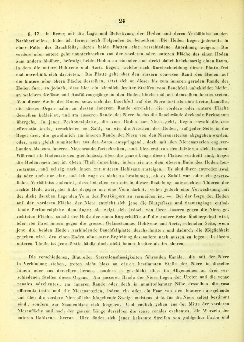 §. 17. In Bezug auf die Lage und Befestigung der Hoden und deren Verhältnis zu den Nachbartheilen, habe ich ferner noch Folgendes zu bemerken. Die Hoden liegen jederseits in einer Falte des Bauchfells, deren beide Platten eine verschiedene Anordnung zeigen. Die vordere oder untere geht ununterbrochen von der vorderen oder unteren Fläche des einen Hoden zum andern hinüber, befestigt beide Hoden an einander und deckt dabei brückenartig einen Raum, in dem die untere Hohlvene und Aorta liegen, welche nach Durchschneidung dieser Platte frei und unverhiillt sich darbieten. Die Platte geht über den äusseru convexen Rand des Hoden auf die hintere oder obere Fläche desselben, setzt sich an dieser bis zum inneren geraden Rande des Hoden fort, so jedoch, dass hier ein ziemlich breiter Streifen vom Bauchfell unbekleidet bleibt, an welchem Gefiisse und Ausführungsgänge in den Hoden hinein und aus demselben heraus treten. Von dieser Stelle des Hoden setzt sich das Bauchfell auf die Niere fo”t als eine breite Lamelle, die dieses Organ nahe an dessen innerem Rande erreicht, die vordere oder untere Fläche desselben bekleidet, und am äusseren Rande der Niere in das die Bauchwände deckende Peritoneum übergeht. In jener Peritonealplatte, die vom Hoden zur Niere geht, liegen sowohl die vasa efferentia testis, verschieden an Zahl, so wie die Arterien des Hoden, auf jeder Seite in der Regel drei, die gewöhnlich am inneren Rande der Niere von den Nierenarterien abgegeben werden, oder, wenn gleich unmittelbar aus der Aorta entspringend, doch mit den Nierenarterien eng ver- bunden bis zum inneren Nierenrande forlschreiten, und hier erst von den letzteren sich trennen. Während die Ilodenarterien gleichmässig über die ganze Länge dieser Platten vertheilt sind, liegen die Hodenvenen nur im obern Theil derselben, indem sie ans dem oberen Ende des Hoden her- vortreten, und schräg nach innen zur unteren Hohlvene ansteigen. Es sind ihrer entweder zwei da oder auch nur eine, und ich wage es nicht'zu bestimmen, ob es Zufall war oder ein gesetz- liches Verhältniss andentet, dass bei allen von mir in dieser Beziehung untersuchten Thieren der rechte Hode zwei, der linke dagegen nur eine Vene darbot, wobei jedoch eine Verwechslung mit der dicht daneben liegenden Vene des Fettkörpers zu vermeiden ist. — Bei der Lage der Hoden auf der vorderen Fläche der Niere entzieht sich jene die Blutgefässe und Saamengänge enthal- tende Peritonealplattc dem Auge; sie zeigt sich jedoch von ihrer iiiissern gegen die Niere ge- richteten Fläche, sobald der Kode der einen Körperhälfte aut* die andere Seite hinübergelegt wird, oder von ihrer innern gegen die grossen Gefässstämme, Hohlvene und Aorta, sehenden Seite, wenn jene die beiden Hoden verbindende Bauchfellplatte durchschnitten und dadurch die Möglichkeit gegeben wird, den einen Hoden ohne stete Begleitung des andern nach aussen zu legen. In ihrem unteren Tlieile ist jene Platte häufig doch nicht immer breiter als im oberen. Die verschiedenen, Blut oder Secretionsfliissigkeiten führenden Kanäle, die mit der Niere in Verbindung stehen, treten nicht bloss an einer bestimmten Stelle der Niere in dieselbe hinein oder aus derselben heraus, sondern es geschieht diess im Allgemeinen an drei ver- schiedenen Stellen dieses Organs. Am äusseren Rande der Niere liegen der Ureter und die venae renales advehentes; am inneren Rande oder doch in unmittelbarster Nähe desselben die vasa efferentia testis und die Nierenarterien, indem ein oder ein Paar von den letzteren ausgehende und über die vordere Nierenfläche hingehende Zweige meistens nicht für die Niere selbst bestimmt sind , sondern zur Saamenblase sicli begeben. Und endlich gehen aus der Mitte der vorderen Nierenfläche und nach der ganzen Länge derselben die venae renales evehentes, die Wurzeln der unteren Ilohlvenc, hervor. Hier findet sich jener bekannte Streifen von goldgelber Farbe und
