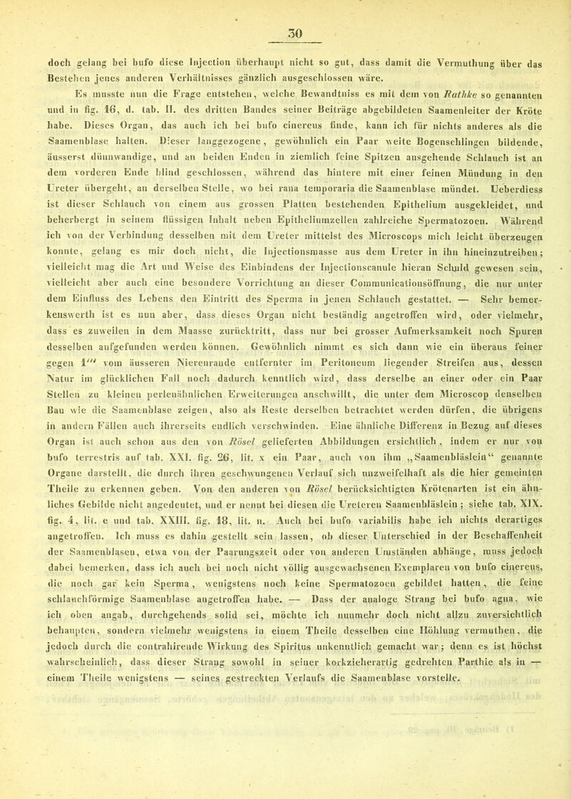 doch gelang bei bufo diese Injection überhaupt nicht so gut, dass damit die Vermuthung über das Bestehen jenes anderen Verhältnisses gänzlich ausgeschlossen wäre. Es musste nun die Frage entstehen, welche Bewandtniss es mit dem von Rathke so genannten und in fig. 16, d. tab. II. des dritten Bandes seiner Beiträge abgebildeten Saamenleiter der Kröte habe. Dieses Organ, das auch ich bei bufo cinereus finde, kann icli für nichts anderes als die Saamenblase halten. Dieser langgezogene, gewöhnlich ein Paar weite Bogenschlingen bildende, äusserst dünnwandige, und an beiden Enden in ziemlich feine Spitzen ausgehende Schlauch ist an dem vorderen Ende blind geschlossen, während das hintere mit einer feinen Mündung in den Ureter übergeht, an derselben Stelle, wo bei rana temporaria die Saamenblase mündet. Ueberdiess ist dieser Schlauch von einem aus grossen Platten bestehenden Epithelium ausgekleidet, und beherbergt in seinem flüssigen Inhalt neben Epitheliumzellen zahlreiche Spermatozoen. Während ich von der Verbindung desselben mit dem Ureter mittelst des Microscops mich leicht überzeugen konnte, gelang es mir doch nicht, die Injectionsmasse aus dem Ureter in ihn hineinzutreiben; vielleicht mag die Art und Weise des Einbindens der Injectionscanule hieran Schuld gewesen sein, vielleicht aber auch eine besondere Vorrichtung an dieser Communicationsöffnung, die nur unter dem Einfluss des Lebens den Eintritt des Sperma in jenen Schlauch gestattet. — Sehr bemer- keuswerth ist es nun aber, dass dieses Organ nicht beständig angetroffen wird, oder vielmehr, dass es zuweilen in dem Maasse zurücktritt, dass nur bei grosser Aufmerksamkeit noch Spuren desselben aufgefunden werden können. Gewöhnlich nimmt es sich dann wie ein überaus feiner gegen 1' vom äusseren Niereurande entfernter im Peritoneum liegender Streifen aus, dessen Natur im glücklichen Fall noch dadurch kenntlich wird, dass derselbe an einer oder ein Paar Stellen zu kleinen perlenähnlichen Erweiterungen anschwillt, die unter dem Microscop denselben Bau wie die Saamenblase zeigen, also als Reste derselben betrachtet werden dürfen, die übrigens in andern Fällen auch ihrerseits endlich verschwinden. Eine ähnliche Differenz in Bezug auf dieses Organ ist auch schon aus den von Hösel gelieferten Abbildungen ersichtlich , indem er nur von bufo terrestris auf tab. XXI. fig. 26, lit. x ein Paar, auch von ihm „Saamenbläsleirt“ genannte Organe darstellt, die durch ihren geschwungenen Verlauf sich unzweifelhaft als die hier gemeinten Theile zu erkennen geben. Von den anderen von Rösel berücksichtigten Krötenarten ist ein ähn- liches Gebilde nicht angedeutet, und er nennt bei diesen die Ureteren Saamenbläslein ; siehe tab. XIX. fig. 4, lit. e und tab. XXIII. fig. 18, lit. n. Auch bei bufo variabilis habe ich nichts derartiges angetroffen. Ich muss es dahin gestellt sein lassen, ob dieser Unterschied in der Beschaffenheit der SaamenbJasen, etwa von der Paarungszeit oder von anderen Umständen abhiinge, muss jedoch dabei bemerken, dass ich auch bei noch nicht völlig ausgewachsenen Exemplaren von bufo cinereus, die noch gar kein Sperma , wenigstens noch keine Spermatozoen gebildet hatten , die feine schlauchförmige Saamenblase angetroffen habe. — Dass der analoge Strang bei bufo agua, wie ich oben angab, durchgehends solid sei, möchte ich nunmehr doch nicht allzu zuversichtlich behaupten, sondern vielmehr wenigstens in einem Theile desselben eine Höhlung vermuthen, die jedoch durch die contrahirende Wirkung des Spiritus unkenntlich gemacht war; denn es ist höchst wahrscheinlich, dass dieser Strang sowohl in seiner korkzieherartig gedrehten Parthie als in — einem Theile wenigstens — seines gestreckten Verlaufs die Saamenblase vorstelle.
