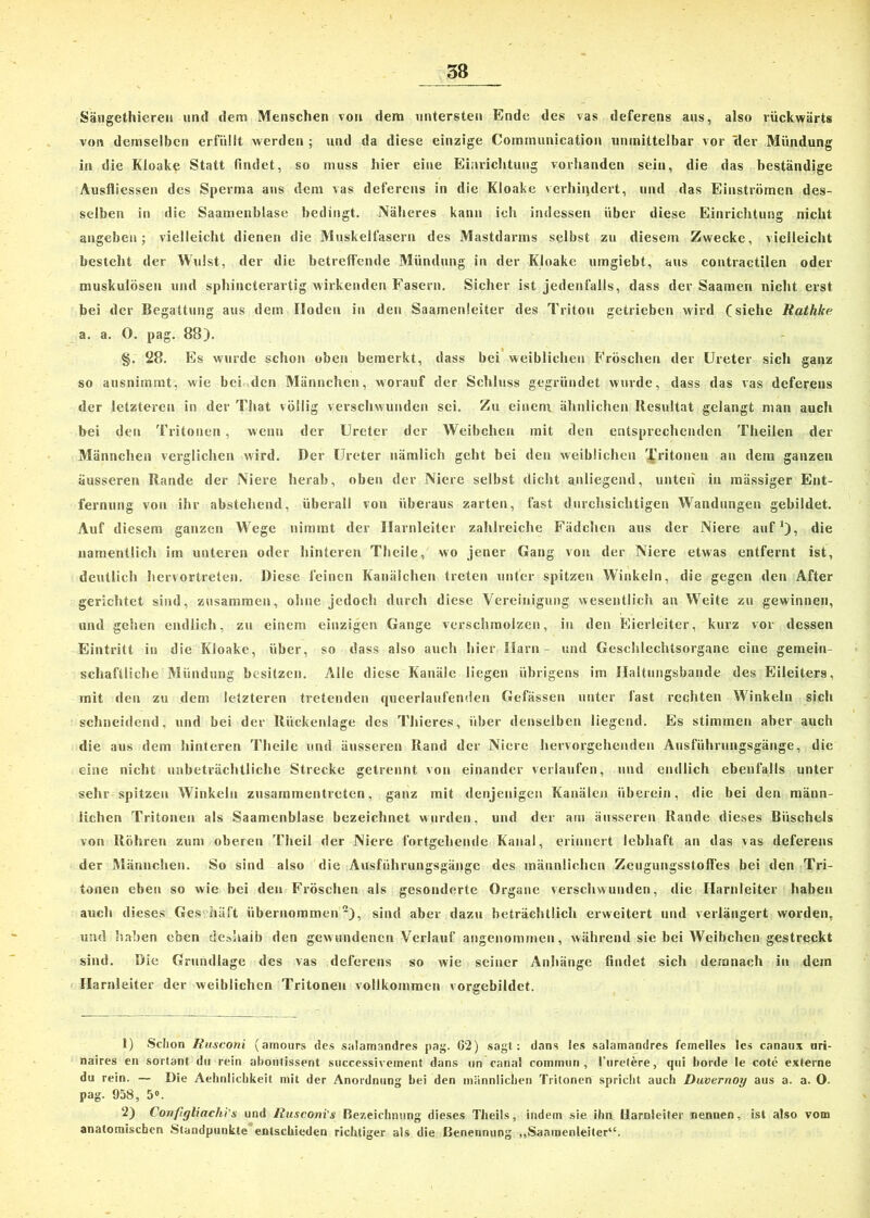 58 Säugethicreu und dem Menschen von dem untersten Ende des vas deferens aus, also rückwärts von demselben erfüllt werden ; und da diese einzige Communication unmittelbar vor Her Mündung in die Kloake Statt findet, so muss hier eine Einrichtung vorhanden sein, die das beständige Ausfliessen des Sperma ans dem vas deferens in die Kloake verhindert, und das Einströmen des- selben in die Saamenblase bedingt. Näheres kann ich indessen über diese Einrichtung nicht angeben; vielleicht dienen die Muskelfasern des Mastdarms selbst zu diesem Zwecke, vielleicht besieht der Wulst, der die betreffende Mündung in der Kloake umgiebt, aus contractilen oder muskulösen und sphincterartig wirkenden Fasern. Sicher ist jedenfalls, dass der Saamen nicht erst bei der Begattung aus dem Hoden in den Saamenleiter des Triton getrieben wird (siehe Rathke a. a. O. pag. 88). §. 28. Es wurde schon oben bemerkt, dass bei weiblichen Fröschen der Ureter sich ganz so ausnimmt, wie bei den Männchen, worauf der Schluss gegründet wurde, dass das vas deferens der letzteren in der That völlig verschwunden sei. Zu einem ähnlichen Resultat gelangt man auch bei den Tritonen , wenn der Ureter der Weibchen mit den entsprechenden Theilen der Männchen verglichen wird. Der Ureter nämlich geht bei den weiblichen Tritonen an dem ganzen äusseren Rande der Niere herab, oben der Niere selbst dicht anliegend, unten in mässiger Ent- fernung von ihr abstehend, überall von überaus zarten, fast durchsichtigen Wandungen gebildet. Auf diesem ganzen Wege nimmt der Harnleiter zahlreiche Fädchen aus der Niere auf1), die namentlich im unteren oder hinteren Theile, wo jener Gang von der Niere etwas entfernt ist, deutlich hervortreten. Diese feinen Kanälchen treten unter spitzen Winkeln, die gegen den After gerichtet sind, zusammen, ohne jedoch durch diese Vereinigung wesentlich an Weite zu gewinnen, und gehen endlich, zu einem einzigen Gange verschmolzen, in den Eierleiter, kurz vor dessen Eintritt in die Kloake, über, so dass also auch hier Harn- und Geschlechtsorgane eine gemein- schaftliche Mündung besitzen. Alle diese Kanäle liegen übrigens im Ilaltungsbande des Eileiters, mit den zu dem letzteren tretenden queerlaufemlen Gefässen unter fast rechten Winkeln sich schneidend, und bei der Rückenlage des Thieres, über denselben liegend. Es stimmen aber auch die aus dem hinteren Theile und äusseren Rand der Niere hervorgehenden Ausführungsgänge, die eine nicht unbeträchtliche Strecke getrennt von einander verlaufen, und endlich ebenfalls unter sehr spitzen Winkeln zusammentreten, ganz mit denjenigen Kanälen überein, die bei den männ- lichen Tritonen als Saamenblase bezeichnet wurden, und der am äusseren Rande dieses Büschels von Röhren zum oberen Theil der Niere fortgehende Kanal, erinnert lebhaft an das vas deferens der Männchen. So sind also die Ausführungsgänge des männlichen Zeugungsstofles bei den Tri- tonen eben so wie bei den Fröschen als gesonderte Organe verschwunden, die Harnleiter haben auch dieses Geschäft übernommen2), sind aber dazu beträchtlich erweitert und verlängert worden, und haben eben deshalb den gew undenen Verlauf angenommen, während sie bei Weibchen gestreckt sind. Die Grundlage des vas deferens so wie seiner Anhänge findet sich demnach in dem Harnleiter der weiblichen Tritonen vollkommen vorgebildet. 1) Schon Rusconi (aniours des salamandres pag. 62) sagt: dans ies salamandres femelles les canaux uri- naires en sortant du rein ahontissent successivcinent dans un canal coinmun , l’uretere, qui borde le cote externe du rein. — Die Aeknlichkeit nüt der Anordnung bei den männlichen Tritonen spricht auch Duvernoy aus a. a. O. pag. 958, 5°. 2) Confgliachi's und Rusconi's Bezeichnung dieses Theils, indem sie ihn Harnleiter nennen, ist also vom anatomischen Standpunkte entschieden richtiger als die Benennung „Saamenleiter“.