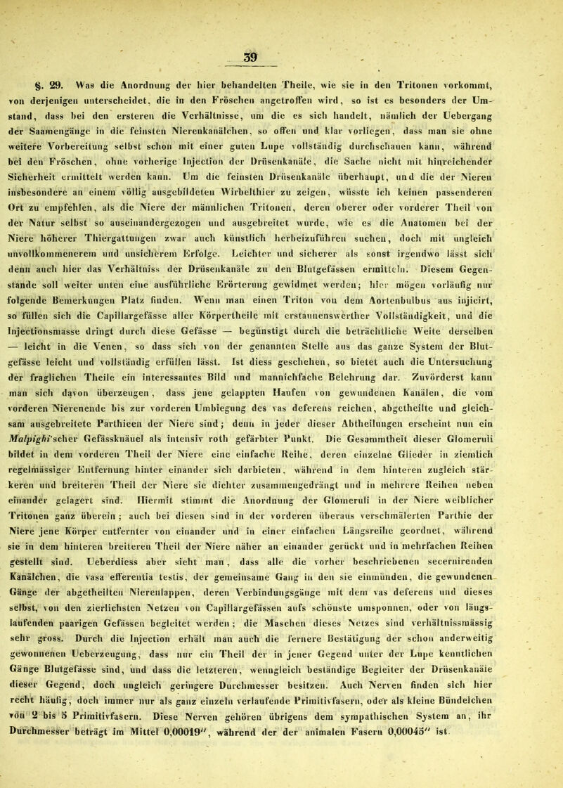 §. 29. Was die Anordnung der hier behandelten Theile, wie sie in den Tritonen vorkommt, von derjenigen unterscheidet, die in den Fröschen angetrolfen wird, so ist es besonders der Um- stand, dass bei den ersteren die Verhältnisse, um die es sich handelt, nämlich der Uebergang der Saaraengänge in die feinsten Nierenkanälchen, so offen und klar vorliegen, dass man sie ohne weitere Vorbereitung selbst schon mit einer guten Lupe vollständig durchschauen kann, während bei den Fröschen, ohne vorherige Injection der Driisenkanäle, die Sache nicht mit hinreichender Sicherheit ermittelt werden kann. Um die feinsten Drüsenkanäle überhaupt, und die der Nieren insbesondere an einem völlig ausgebildeten Wirbelthier zu zeigen, wüsste ich keinen passenderen Ort zu empfehlen, als die Niere der männlichen Tritonen, deren oberer oder vorderer Theil von der Natur selbst so auseinandergezogen und ausgebreitet wurde, wie es die Anatomen bei der Niere höherer Thiergattungen zwar auch künstlich herbeizuführen suchen, doch mit ungleich unvollkommenerem und unsicherem Erfolge. Leichter und sicherer als sonst irgendwo lässt sich denn auch hier das Verhältniss der Drüsenkanäle zu den Blutgefässen ermitteln. Diesem Gegen- stände soll weiter unten eine ausführliche Erörterung gewidmet werden; hier mögen vorläufig nur folgende Bemerkungen Platz finden. Wenn man einen Triton von dem Aortenbulbus aus injicirt, so füllen sich die Capillargefässe aller Körpertheile mit erstauuenswerther Vollständigkeit, und die Injectionsmasse dringt durch diese Gefässe — begünstigt durch die beträchtliche Weite derselben — leicht in die Venen, so dass sich von der genannten Stelle aus das ganze System der Blut- gefässe leicht und vollständig erfüllen lässt. Ist diess geschehen, so bietet auch die Untersuchung der fraglichen Theile ein interessantes Bild und mannichfache Belehrung dar. Zuvörderst kann man sich davon überzeugen, dass jene gelappten Haufen von gewundenen Kanälen, die vom vorderen Nierenende bis zur vorderen Umbiegung des vas defereus reichen, abgetheilte und gleich- sam ausgebreitete Parlhieen der Niere sind ; denn in jeder dieser Abtheilungen erscheint nun ein Malpighi’scher Gefässknäuel als intensiv roth gefärbter Punkt. Die Gesammtheit dieser Glomeruü bildet in dem vorderen Theil der Niere eine einfache Reihe, deren einzelne Giieder in ziemlich regelmässiger Entfernung hinter einander sich darbieten, während in dem hinteren zugleich stär- keren und breiteren Theil der Niere sie dichter zusammengedrängt und in mehrere Reihen neben einander gelagert sind. Hiermit stimmt die Anordnung der Glomeruli in der Niere weiblicher Tritonen ganz überein ; auch bei diesen sind in der vorderen überaus verschmälerten Parthie der Niere jene Körper entfernter von einander und in einer einfachen Längsreihe geordnet, während sie in dem hinteren breiteren Theil der Niere näher an einander gerückt und in mehrfachen Reihen gestellt sind. Ueberdiess aber sieht man , dass alle die vorher beschriebenen secernirenden Kanälchen, die vasa efferentia testis, der gemeinsame Gang in den sie einmünden, die gewundenen Gänge der abgetheilten Nierenlappen, deren Verbindungsgänge mit dem vas deferens und dieses selbst, von den zierlichsten Netzen von Capillargefässen aufs schönste umsponnen, oder von längs- taufenden paarigen Gefässen begleitet werden; die Maschen dieses Netzes sind verhältnissmässig sehr gross. Durch die Injection erhält man auch die fernere Bestätigung der schon anderweitig gewonnenen Ueberzeugung, dass nur ein Theil der in jener Gegend unter der Lupe kenntlichen Gänge Blutgefässe sind, und dass die letzteren, wenngleich beständige Begleiter der Driisenkanäle dieser Gegend, doch ungleich geringere Durchmesser besitzen. Auch Nerven finden sich hier recht häufig, doch immer nur als ganz einzeln verlaufende Primitivfasern, oder als kleine Bündelchen von 2 bis 5 Primitivfasern. Diese Nerven gehören übrigens dem sympathischen System an, ihr Durchmesser beträgt im Mittel 0,00019, während der der animalen Fasern 0,0004a ist