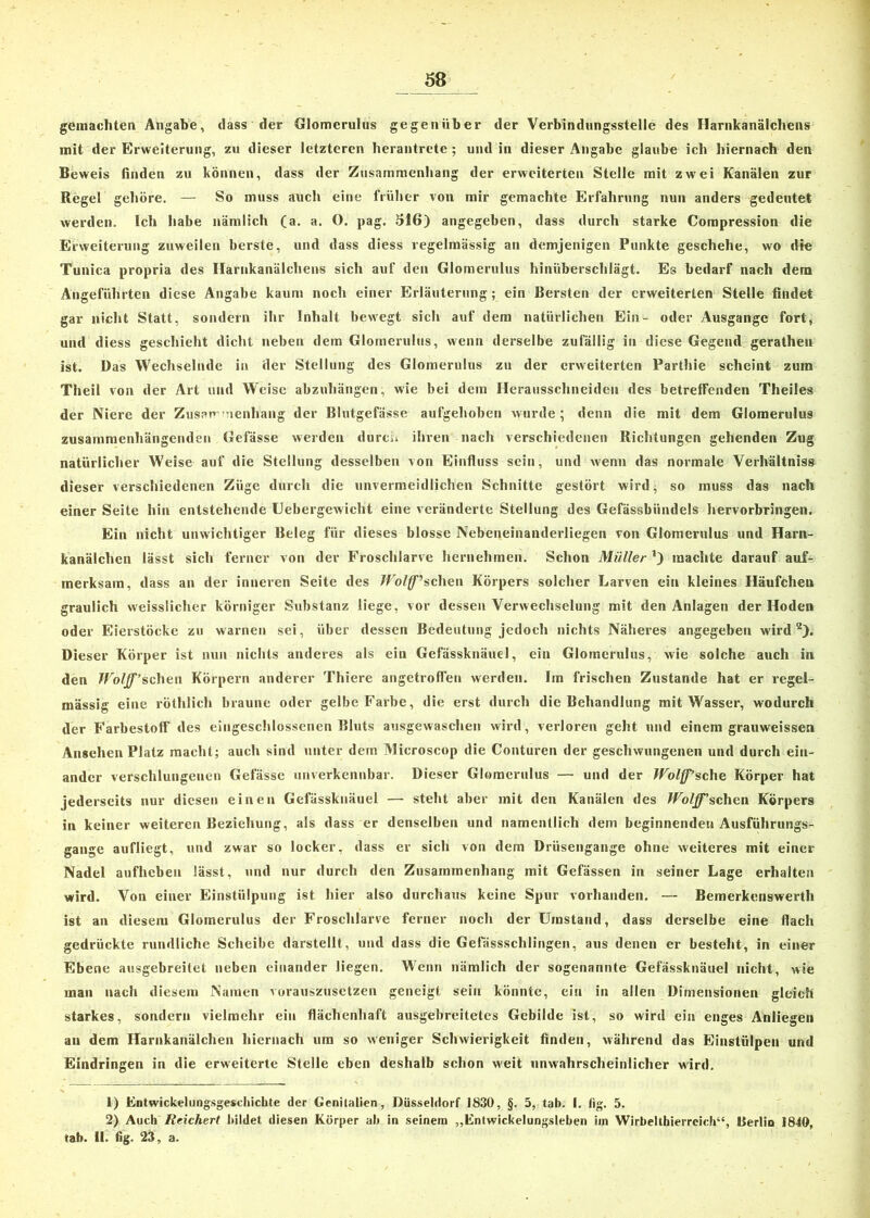 gemachten Angabe, dass der Glomerulus gegenüber der Verbindungsstelle des Harnkanälchens mit der Erweiterung, zu dieser letzteren herantrete; und in dieser Angabe glaube ich hiernach den Beweis linden zu können, dass der Zusammenhang der erweiterten Stelle mit zwei Kanälen zur Regel gehöre. — So muss auch eine früher von mir gemachte Erfahrung nun anders gedeutet werden. Ich habe nämlich (a. a. O. pag. 516) angegeben, dass durch starke Compression die Erweiterung zuweilen berste, und dass diess regelmässig an demjenigen Punkte geschehe, wo die Tunica propria des Harnkanälchens sich auf den Glomerulus hinüberschlägt. Es bedarf nach dem Angeführten diese Angabe kaum noch einer Erläuterung; ein Bersten der erweiterten Stelle findet gar nicht Statt, sondern ihr Inhalt bewegt sich auf dem natürlichen Ein- oder Ausgange fort, und diess geschieht dicht neben dem Glomerulus, wenn derselbe zufällig in diese Gegend geratheu ist. Bas Wechselnde in der Stellung des Glomerulus zu der erweiterten Parthie scheint zum Theil von der Art und Weise abzuhängen, wie bei dem Herausschneiden des betreffenden Theiles der Niere der Zusan ienhang der Blutgefässe aufgehoben wurde; denn die mit dem Glomerulus zusammenhängenden Gefässe werden durch ihren nach verschiedenen Richtungen gehenden Zug natürlicher Weise auf die Stellung desselben von Einfluss sein, und wenn das normale Verhältnis» dieser verschiedenen Züge durch die unvermeidlichen Schnitte gestört wird, so muss das nach einer Seite hin entstehende Uebergewicht eine veränderte Stellung des Gefässbiindels hervorbringen. Ein nicht unwichtiger Beleg für dieses blosse Nebeneinanderliegen von Glomerulus und Harn- kanälchen lässt sich ferner von der Froschlarve hernehmen. Schon Müller ’) machte darauf auf- merksam, dass an der inneren Seite des Wolff1sehen Körpers solcher Larven ein kleines Häufchen graulich weisslicher körniger Substanz liege, vor dessen Verwechselung mit den Anlagen der Hoden oder Elierstöcke zu warnen sei, über dessen Bedeutung jedoch nichts Näheres angegeben wird 2). Dieser Körper ist nun nichts anderes als ein Gefässknäuel, ein Glomerulus, wie solche auch in den Wolff’sehen Körpern anderer Thiere angetroflen werden. Im frischen Zustande hat er regel- mässig eine röthlich braune oder gelbe Farbe, die erst durch die Behandlung mit Wasser, wodurch der FarbestolF des eingeschlossenen Bluts ausgewaschen wird, verloren geht und einem grauweissen Ansehen Platz macht; auch sind unter dem IVlicroscop die Conturen der geschwungenen und durch ein- ander verschlungenen Gefässe unverkennbar. Dieser Glomerulus — und der Wolff’sehe Körper hat jederseits nur diesen einen Gefässknäuel — steht aber mit den Kanälen des Wolff'sehen Körpers in keiner weiteren Beziehung, als dass er denselben und namentlich dem beginnenden Ausführungs- gange aufliegt, und zwar so locker, dass er sich von dem Drüsengange ohne weiteres mit einer Nadel aufheben lässt, und nur durch den Zusammenhang mit Gefässen in seiner Lage erhalten wird. Von einer Einstülpung ist hier also durchaus keine Spur vorhanden. — Bemerkenswerth ist an diesem Glomerulus der Froschlarve ferner noch der Umstand, dass derselbe eine flach gedrückte rundliche Scheibe darstellt, und dass die Gefässschlingen, aus denen er besteht, in einer Ebene ausgebreitet neben einander liegen. Wenn nämlich der sogenannte Gefässknäuel nicht, wie man nach diesem Namen vorauszusetzen geneigt sein könnte, ein in allen Dimensionen gleich starkes, sondern vielmehr ein flächenhaft ausgebreitetes Gebilde ist, so wird ein enges Anliegen an dem Harnkanälchen hiernach um so weniger Schwierigkeit finden, während das Einstiilpeu und Eindringen in die erweiterte Stelle eben deshalb schon weit unwahrscheinlicher wird. 1) Entwickelungsgeschichte der Genitalien, Düsseldorf 1830, §. 5, tab. 1. tig. 5. 2) Auch Reichert bildet diesen Körper ab in seinem „Entwickelungsleben im Wirbelthierreich“, Berlin 1840, tab. II. dg. 23, a.