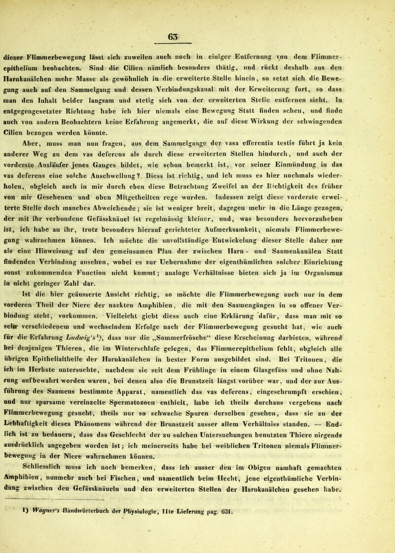 dieser Flimmerbewegung lässt sich zuweilen auch noch in einiger Entfernung von dem Flimmer- epithelium beobachten. Sind die Cilien nämlich besonders thätig, und rückt deshalb aus den Harnkanälchen mehr Masse als gewöhnlich in die erweiterte Stelle hinein, so setzt sich die Bewe- gung auch auf den Sammclgaug und dessen Verbindungskanal mit der Erweiterung fort, so dass man den Inhalt beider langsam und stetig sich von der erweiterten Stelle entfernen sieht. In entgegengesetzter Richtung habe ich hier niemals eine Bewegung Statt finden sehen, und finde auch von andern Beobachtern keine Erfahrung angemerkt, die auf diese Wirkung der schwingenden Cilien bezogen werden könnte. Aber, muss man nun fragen, aus dem Sammelgange der vasa efferentia testis führt ja kein anderer Weg zu dem vas deferens als durch diese erweiterten Stellen hindurch, und auch der vorderste Ausläufer jenes Ganges bildet, wie schon bemerkt ist, vor seiner Einmündung in das vas deferens eine solche Anschwellung? Diess ist richtig, und ich muss es hier nochmals wieder- holen, obgleich auch in mir durch eben diese Betrachtung Zweifel an der Richtigkeit des früher von mir Gesehenen und oben Mitgetheilten rege wurden. Indessen zeigt diese vorderste erwei- terte Stelle doch manches Abweichende; sie ist weniger breit, dagegen mehr in die Länge gezogen, der mit ihr verbundene Gefässknäuel ist regelmässig kleiner, und, was besonders hervorzuheben ist, ich habe an ihr, trotz besonders hierauf gerichteter Aufmerksamkeit, niemals Flimmerbewe- gung wahrnehmen können. Ich möchte die unvollständige Entwickelung dieser Stelle daher nur als eine Hinweisung auf den gemeinsamen Plan der zwischen Harn - und Saamenkanälcn Statt findenden Verbindung ansehen, wobei es zur Uebernahme der eigenthümlichen solcher Einrichtung sonst zukommenden Function nicht kommt; analoge Verhältnisse bieten sich ja im Organismus in nicht geringer Zahl dar. Ist die hier geäusserte Ansicht richtig, so möchte die Flimmerbewegung auch nur in dem vorderen Theil der Niere der nackten Amphibien, die mit den Saamengängen in so offener Ver- bindung steht, Vorkommen. Vielleicht giebt diess auch eine Erklärung dafür, dass man mit so sehr verschiedenem und wechselndem Erfolge nach der Flimmerbewegung gesucht hat, wie auch für die Erfahrung Ludwig’s1}, dass nur die „Sommerfrösche“ diese Erscheinung darbieten, während bei denjenigen Thieren, die im Winterschlafe gelegen, das Flimmerepithelium fehlt, obgleich alle übrigen Epithelialtheile der Harnkanälchen in bester Form ausgebildet sind. Bei Tritonen, die ich im Herbste untersuchte, nachdem sie seit dem Frühlinge in einem Glasgefäss und ohne Nah- rung auf bewahrt worden waren, bei denen also die Brunstzeit längst vorüber war, und der zur Aus- führung des Saamens bestimmte Apparat, namentlich das vas deferens, eingeschrumpft erschien, und nur sparsame vereinzelte Spermatozoen enthielt, habe ich theils durchaus vergebens nach Flimmerbewegung gesucht, theils nur so schwache Spuren derselben gesehen, dass sie zu der Lebhaftigkeit dieses Phänomens während der Brunstzeit ausser allem Verhältniss standen. — End- lich ist zu bedauern, dass das Geschlecht der zu solchen Untersuchungen benutzten Thiere nirgends ausdrücklich angegeben worden ist; ich meinerseits habe bei weiblichen Tritonen niemals Flimmer- bewegung in der Niere wahrnehmen können. Schliesslich muss ich noch bemerken, dass ich ausser den im Obigen namhaft gemachten Amphibien, nunmehr auch bei Fischen, und namentlich beim Hecht, jene eigenthiimliche Verbin- dung zwischen den Gefässknäueln und den erweiterten Stellen der Harnkanälchen gesehen habe. I) Wagner's Handwörterbuch der Physiologie, llte Lieferung pag. 631.