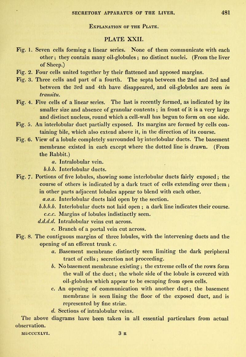 Explanation of the Plate. PLATE XXII. Fig. 1. Seven cells forming a linear series. None of them communicate with each other; they contain many oil-globules ; no distinct nuclei. (From the liver of Sheep.) Fig. 2. Four cells united together by their flattened and apposed margins. Fig. 3. Three cells and part of a fourth. The septa between the 2nd and 3rd and between the 3rd and 4th have disappeared, and oil-globules are seen in transitu. Fig. 4. Five cells of a linear series. The last is recently formed, as indicated by its smaller size and absence of granular contents ; in front of it is a very large and distinct nucleus, round which a cell-wall has begun to form on one side. Fig. 5. An interlobular duct partially exposed. Its margins are formed by cells con- taining bile, which also extend above it, in the direction of its course. Fig. 6. View of a lobule completely surrounded by interlobular ducts. The basement membrane existed in each except where the dotted line is drawn. (From the Rabbit.) a. Intralobular vein. b. b.b. Interlobular ducts. Fig. 7- Portions of five lobules, showing some interlobular ducts fairly exposed; the course of others is indicated by a dark tract of cells extending over them ; in other parts adjacent lobules appear to blend with each other. a.a.a. Interlobular ducts laid open by the section. b.b.b.b. Interlobular ducts not laid open ; a dark line indicates their course. c. c.c. Margins of lobules indistinctly seen. d.d.d.d. Intralobular veins cut across. e. Branch of a portal vein cut across. Fig. 8. The contiguous margins of three lobules, with the intervening ducts and the opening of an efferent trunk c. a. Basement membrane distinctly seen limiting the dark peripheral tract of cells ; secretion not proceeding. b. No basement membrane existing; the extreme cells of the rows form the wall of the duct; the whole side of the lobule is covered with oil-globules which appear to be escaping from open cells. c. An opening of communication with another duct; the basement membrane is seen lining the floor of the exposed duct, and is represented by fine striae. d. Sections of intralobular veins. The above diagrams have been taken in all essential particulars from actual observation. 3 R MLCCCXLVI.