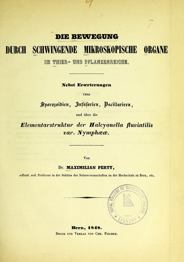 digitised image 1