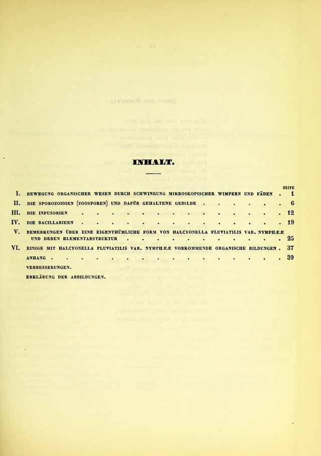digitised image 3