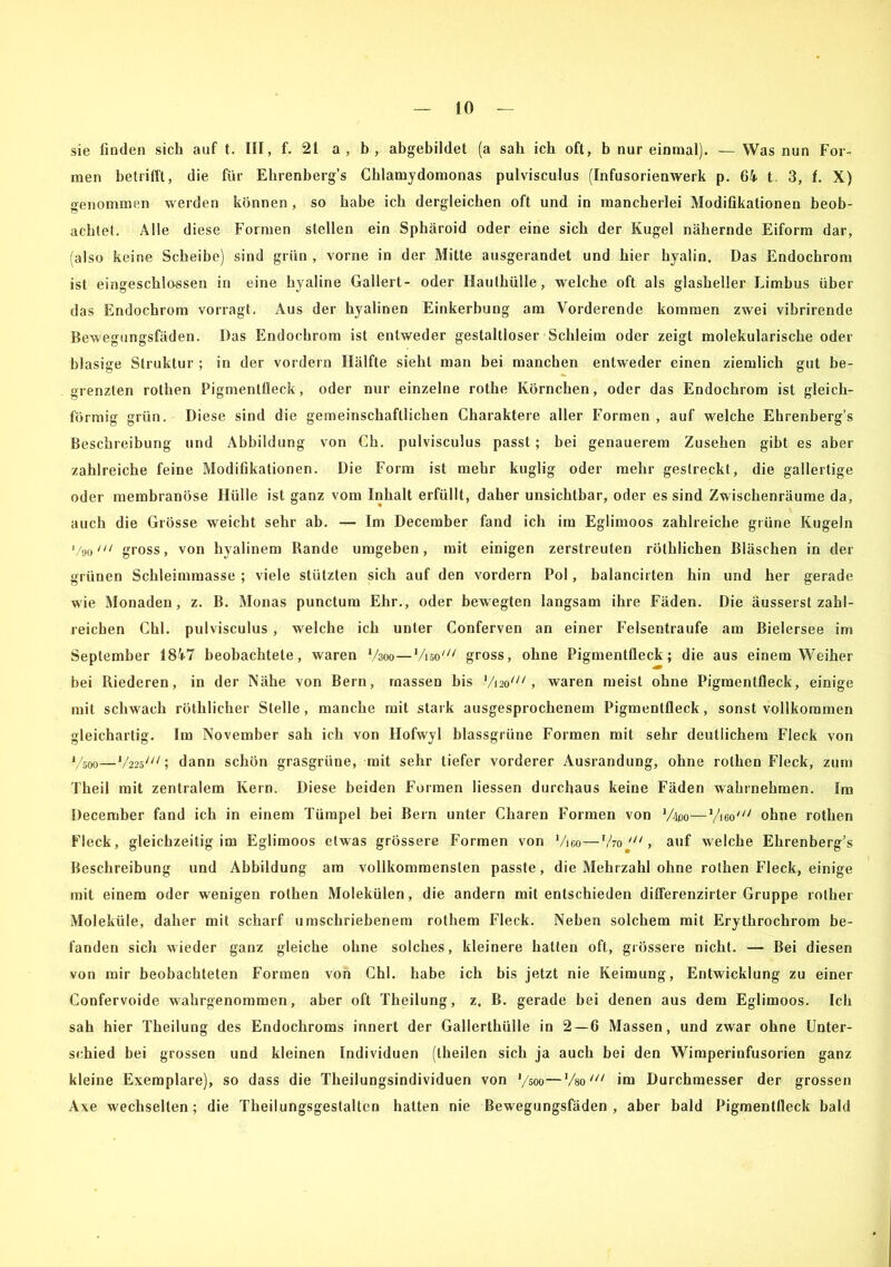 sie finden sich auf t. III, f. 21 a, b, abgebildet (a sah ich oft, b nur einmal). — Was nun For- men betrifft, die für Ehrenberg’s Chlamydomonas pulvisculus (Infusorienwerk p. 64 t. 3, f. X) genommen werden können, so habe ich dergleichen oft und in mancherlei Modifikationen beob- achtet. Alle diese Formen stellen ein Sphäroid oder eine sich der Kugel nähernde Eiform dar, (also keine Scheibe) sind grün , vorne in der Mitte ausgerandet und hier hyalin. Das Endochrom ist eingeschlossen in eine hyaline Gallert- oder Haulhülle, welche oft als glasheller Limbus über das Endochrom vorragt. Aus der hyalinen Einkerbung am Vorderende kommen zwei vibrirende Bewegnngsfäden. Das Endochrom ist entweder gestaltloser Schleim oder zeigt molekularische oder blasige Struktur ; in der vordem Hälfte sieht man bei manchen entweder einen ziemlich gut be- grenzten rothen Pigmentfleck, oder nur einzelne rothe Körnchen, oder das Endochrom ist gleich- förmig grün. Diese sind die gemeinschaftlichen Charaktere aller Formen , auf welche Ehrenberg’s Beschreibung und Abbildung von Ch. pulvisculus passt; bei genauerem Zusehen gibt es aber zahlreiche feine Modifikationen. Die Form ist mehr kuglig oder mehr gestreckt, die gallertige oder membranöse Hülle ist ganz vom Inhalt erfüllt, daher unsichtbar, oder es sind Zwischenräume da, auch die Grösse weicht sehr ab. — Im December fand ich im Eglimoos zahlreiche grüne Kugeln 1/9o/// gross, von hyalinem Rande umgeben, mit einigen zerstreuten rothlichen Bläschen in der grünen Schleimmasse ; viele stützten sich auf den vordem Pol, balancirten hin und her gerade wie Monaden, z. B. Monas punctum Ehr., oder bewegten langsam ihre Fäden. Die äusserst zahl- reichen Chi. pulvisculus , welche ich unter Conferven an einer Felsentraufe am Bielersee im September 1847 beobachtete, waren V300—,/iso/// gross, ohne Pigmentfleck; die aus einem Weiher bei Riederen, in der Nähe von Bern, rnassen bis 1/i2o///, waren meist ohne Pigmentfleck, einige mit schwach röthlicher Stelle, manche mit stark ausgesprochenem Pigmentfleck, sonst vollkommen gleichartig. Im November sah ich von Hofwyl blassgrüne Formen mit sehr deutlichem Fleck von Yäoo—l/22s/'1', dann schön grasgrüne, mit sehr tiefer vorderer Ausrandung, ohne rothen Fleck, zum Theil mit zentralem Kern. Diese beiden Formen Hessen durchaus keine Fäden wahrnehmen. Im December fand ich in einem Tümpel bei Bern unter Charen Formen von Vipo—Yiöo' ohne rothen Fleck, gleichzeitig im Eglimoos etwas grössere Formen von Yjoo—V70 , auf welche Ehrenberg’s Beschreibung und Abbildung am vollkommensten passte, die Mehrzahl ohne rothen Fleck, einige mit einem oder wenigen rothen Molekülen, die andern mit entschieden diflerenzirter Gruppe rother Moleküle, daher mit scharf umschriebenem rothem Fleck. Neben solchem mit Erythrochrom be- fanden sich wieder ganz gleiche ohne solches, kleinere halten oft, grössere nicht. — Bei diesen von mir beobachteten Formen von Chi. habe ich bis jetzt nie Keimung, Entwicklung zu einer Confervoide wahrgenommen, aber oft Theilung, z, B. gerade bei denen aus dem Eglimoos. Ich sah hier Theilung des Endochroms innert der Gallerthülle in 2 — 6 Massen, und zwar ohne Unter- schied bei grossen und kleinen Individuen (theilen sich ja auch bei den Wimperinfusorien ganz kleine Exemplare), so dass die Theilungsindividuen von '/500—Yao/// im Durchmesser der grossen Axe wechselten; die Theilungsgestalten hatten nie Bewegungsfäden, aber bald Pigmentfleck bald