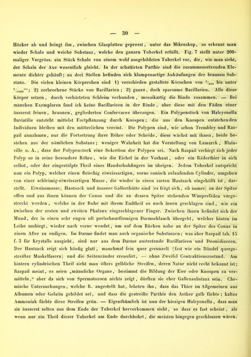 Höcker ab und bringt ihn, zwischen Glasplatten gepresst, unter das Mikroskop, so erkennt man wieder Schale und weiche Substanz, welche den ganzen Tuberkel erfüllt. Fig. 7 stellt unter 200- maliger Vergröss. ein Stück Schale von einem wohl ausgebildeten Tuberkel vor, die, wie man sieht, der Schale der Axe wesentlich gleicht. In der schattirten Parthie sind die zusammensetzenden Ele- mente dichter gehäuft; an drei Stellen befinden sich klumpenartige Anhäufungen der braunen Sub- stanz. Die vielen kleinen Körperchen sind 1) verschieden gestaltete Körnchen von 1/i00 bis unter Vjooo' ; 2) zerbrochene Stücke von Bacillarien ; 3) ganze, doch sparsame Bacillarien. Alle diese Körper setzen , durch verhärteten Schleim verbunden , mosaikartig die Kinde zusammen. — Bei manchen Exemplaren fand ich keine Bacillarieen in der Rinde , aber diese mit den Fäden einer äusserst feinen, braunen, gegliederten Confervacee überzogen. Ein Polypenstock von Halcyonella fluviatilis entsteht mittelst Fortpflanzung durch Knospen ; die aus den Knospen entstehenden Individuen bleiben mit den mütterlichen vereint. Die Polypen sind, wie schon Trembley und Ras- pail annahmen, nur die Fortsetzung ihrer Röhre oder Scheide, diese wächst mit ihnen, beide be- stehen aus der nämlichen Substanz ; weniger Wahrheit hat die Vorstellung von Lamarck , Blain- ville u. A., dass der Polypenstock eine Sekretion der Polypen sei. Nach Raspail verbirgt sich jeder Polyp so in seine besondere Röhre , wie die Eichel in der Vorhaut, oder ein Räderlhier in sich selbst, oder der eingeslülpte Theil eines Handschuhfingers im übrigen. Jedem Tuberkel entspricht nun ein Polyp, welcher einen fleischig eiweissartigen, vorne conisch zulaufenden Cylinder, umgeben von einer schleimig-eiweissartigen Masse , die wieder in einen zarten Hautsack eingehüllt ist , dar- stellt. Eiweissmasse, Hautsack und äussere Gallerlhiitte sind (es frägt sich, ob immer) an der Spitze offen und aus ihnen können der Conus und die an dessen Spitze stehenden Wimperfäden vorge- streckt werden , welche in der Ruhe mit ihrem Endlheil so nach innen geschlagen sind , wie ein zwischen der ersten und zweiten Phalanx eingeschlagener Finger. Zwischen ihnen befindet sich der Mund, der in einen sehr engen oft perlschnurförrnigen Darmschlauch übergeht, welcher hinten im Leibe umbiegt, wieder nach vorne wendet, um auf dem Rücken nahe an der Spitze des Conus in einen After zu endigen. Im Darme findet man auch organische Substanzen ; was aber Raspail tab. 15 f. 3 für Krystalle ausgiebt, sind nur aus dem Darme austretende Bacillarieen und Desmidiaceen. Der Ifautsack zeigt sich häufig glatt, manchmal fein quer gerunzelt (fast wie ein Bündel querge- streifter Muskelfasern) und die Seitenränder crenulirt, — ohne Zweifel Contraktionszustand. Am hintern cylindrischen Theil sieht man öfters gelbliche Streifen, deren Natur nicht recht bekannt ist; Raspail meint, es seien „männliche Organe, bestimmt die Bildung der Eier oder Knospen zu ver- mitteln,“ aber da sich von Spermatozoen nichts zeigt, dürften sie eher Gallensubstanz sein. Che- mische Untersuchungen, welche II. angestellt hat, lehrten ihn, dass das Thier im Allgemeinen aus Albumen oder Gelalin gebildet sei, und dass die gestreifte Parthie den Aelher gelb färbte; kaltes Ammoniak färbte diese Streifen grün. — Eigentümlich ist nun der hiesigen Halcyonella , dass man sie äusserst selten aus dem Ende der Tuberkel hervorkommen siebt, so dass es fast scheint, als wenn nur ein Theil dieser Tuberkel am Ende durchbohrt, die meisten hingegen geschlossen wären.