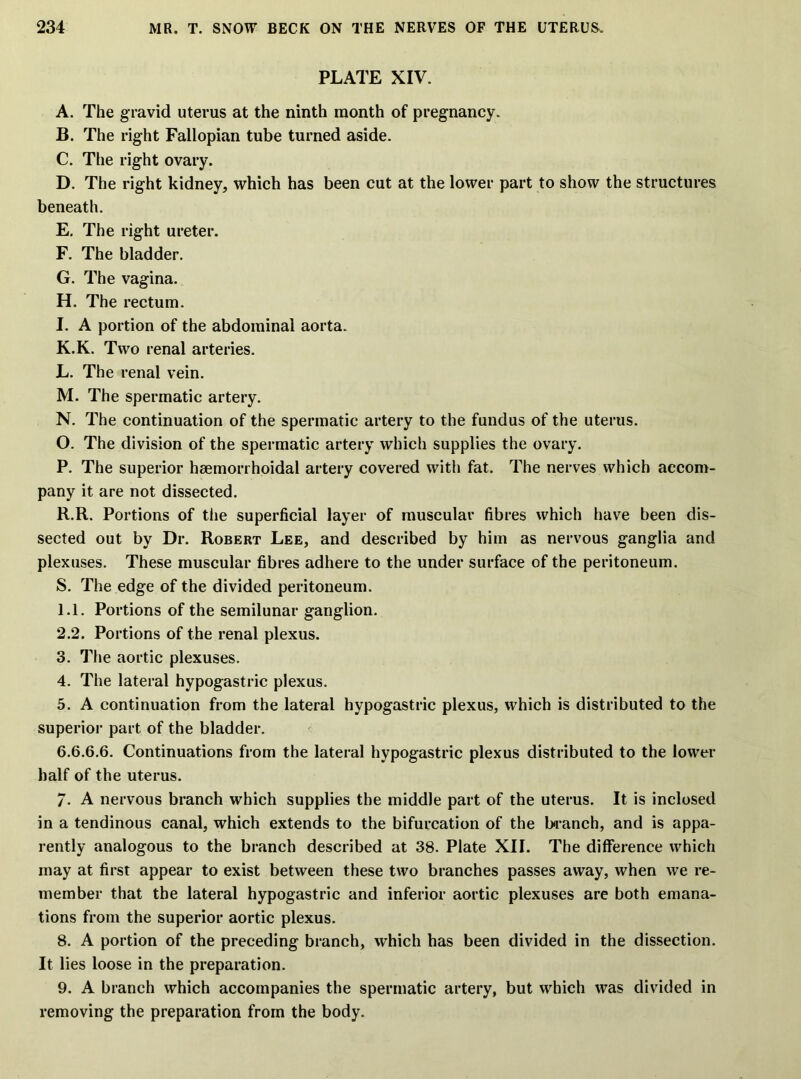 PLATE XIV. A. The gravid uterus at the ninth month of pregnancy. B. The right Fallopian tube turned aside. C. The right ovary. D. The right kidney, which has been cut at the lower part to show the structures beneath. E. The right ureter. F. The bladder. G. The vagina. H. The rectum. I. A portion of the abdominal aorta. K. K. Two renal arteries. L. The renal vein. M. The spermatic artery. N. The continuation of the spermatic artery to the fundus of the uterus. O. The division of the spermatic artery which supplies the ovary. P. The superior hsemorrhoidal artery covered with fat. The nerves which accom- pany it are not dissected. R. R. Portions of the superficial layer of muscular fibres which have been dis- sected out by Dr. Robert Lee, and described by him as nervous ganglia and plexuses. These muscular fibres adhere to the under surface of the peritoneum. S. The edge of the divided peritoneum. 1.1. Portions of the semilunar ganglion. 2.2. Portions of the renal plexus. 3. The aortic plexuses. 4. The lateral hypogastric plexus. 5. A continuation from the lateral hypogastric plexus, which is distributed to the superior part of the bladder. G.6.6.6. Continuations from the lateral hypogastric plexus distributed to the lower half of the uterus. 7. A nervous branch which supplies the middle part of the uterus. It is inclosed in a tendinous canal, which extends to the bifurcation of the branch, and is appa- rently analogous to the branch described at 38. Plate XII. The difference which may at first appear to exist between these two branches passes away, when we re- member that the lateral hypogastric and inferior aortic plexuses are both emana- tions from the superior aortic plexus. 8. A portion of the preceding branch, which has been divided in the dissection. It lies loose in the preparation. 9. A branch which accompanies the spermatic artery, but which was divided in removing the preparation from the body.