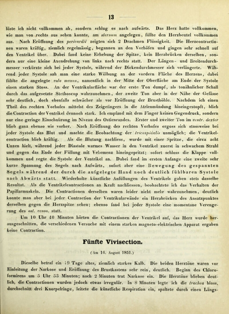 löste ich nicht vollkommen ab, sondern schlug es nach aufwärts. Das Herz hatte vollkommen, wie man von rechts aus sehen konnte, am sternum angelegen, füllte den Herzbeutel vollkommen aus. Nach Eröffnung des ■pericardii zeigten sich 2 Drachmen Flüssigkeit. Die Herzcontractio- nen waren kräftig, ziemlich regelmässig, begannen an den Vorhöfen und gingen sehr schnell auf den Ventrikel über. Dabei fand keine Erhebung der Spitze, kein Herabrücken derselben, son- dern nur eine kleine Axendrehung von links nach rechts statt. Der Längen- und Breitendurch- messer verkürzte sich bei jeder Systole, während der Dickendurchmesser sich verlängerte. Wäh- rend jeder Systole sah man eine starke Wölbung an der vordem Fläche des Herzens, dabei fühlte die angelegte rota monvs, namentlich in der Mitte der Oberfläche am Ende der Systole einen starken Stoss. An der Ventrikularfläche war der erste Ton dumpf, als tonähnlicher Schall durch das aufgesetzte Stethoscop wahrzunehmen, der zweite Ton aber in der Nähe der Gefässe sehr deutlich, doch ebenfalls schwächer als vor Eröffnung der Brusthöhle. Nachdem ich einen Theil des rechten Vorhofes mittelst des Zeigefingers in die Atrienmündung hineingestopft, blieb die Contraction der Ventrikel dennoch stark. Ich empfand mit dem Finger keinen Gegendruck, sondern nur eine geringe Einschnürung im Niveau des Ostienrandes. Erster und zweiter Ton im ventr. dexier blieb ganz ebenso wie vorher. Nach Eröffnung des rechten Vorhofes ergoss sich stossweise bei jeder Systole das Blut und machte die Beobachtung der iricusptdalts unmöglich; die Ventrikel- contraction blieb kräftig. Als die Blutung nachliess, wurde mit einer Spritze, die circa acht Unzen hielt, während jeder Diastole warmes Wasser in den Ventrikel zuerst in schwachem Strahl und gegen das Ende der Füllung mit Vehemenz hineingepritzt; sofort schloss die Klappe voll- kommen und regte die Systole der Ventrikel an. Dabei fand im ersten Anfänge eine zweite sehr kurze Spannung des Segels nach Aufwärts, sofort aber eine Bewegung des gespannten Segels während der durch die aufgelegte Hand noch deutlich fühlbaren Systole nach Abwärts statt. Wiederholte künstliche Anfüllungen des Ventrikels gaben stets dasselbe Resultat. Als die Ventrikelcontractionen an Kraft naehliessen, beobachtete ich das Verhalten der Papillarmuskeln. Die Contractionen derselben waren leider nicht mehr wahrzunehmen, deutlich konnte man aber bei jeder Contraction der Ventrikularwände ein Herabrücken des Ansatzpunktes derselben gegen die Herzspitze sehen; ebenso fand bei jeder Systole eine momentane Verenge- rung des ost. venös, statt. Um 10 Uhr 40 Minuten hörten die Contractionen der Ventrikel auf, das Herz wurde her- ausgeschnitten, die verschiedenen Versuche mit einem starken magneto-elektrischen Apparat ergaben keine Contraction. Fünfte Vivisection, (Am 10. August 1851.) Dieselbe betraf ein if) Tage altes, ziemlich starkes Kalb. Die beiden Herztöne waren vor Einleitung der Narkose und Eröffnung des Brustkastens sehr rein, deutlich. Beginn des Chloro- formirens um 5 Uhr 53 Minuten; nach 2 Minuten trat Narkose ein. Die Herztöne blieben deut- lich, die Contractionen wurden jedoch etwas irregulär. In 8 Minuten legte ich die trachea bloss, durchschnitt drei Knorpelringe, leitete die künstliche Respiration ein, spaltete durch einen Längs-