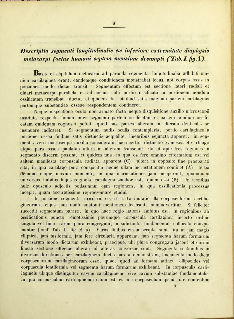 Descriptio segmenti longitudinalis ex inferiore extremitate diaphysis metacarpi foetus humani septem mensium desumpti (Tab.I. fig.AJ. Basis et capitulum metacarpi ad paranda segmenta longitudinalia adhibiti om- nino cartilaginea erant, eandemque conditionem monstrabat locus, ubi corpus ossis in portiones modo dictas transit. Segmentum effectum est sectione lateri radiali et ulnari metacarpi parallela et ad locum, ubi portio ossificata in portionem nondum ossificatam transibat, ducta, et quidem ita, ut illud satis magnam partem cartilaginis partemque substantiae osseae respondentem contineret. Neque inspectione oculo non armato facta neque disquisitione auxilio microscopii instituta respectu finium inter segmenti partem ossificatam et partem nondum ossifi- catam quidquam cognosci potuit, quod has partes alteram in alteram denticulis se insinuare indicaret. Si segmentum nudis oculis contemplaris, portio cartilaginea a portione ossea finibus satis distinctis aequaliter linearibus sejuncta apparet; in seg- mentis vero microscopii auxilio -consideratis haec certior distinctio evanescit et cartilago atque pars ossea paulatim altera in alteram transeunt, ita ut apte tres regiones in segmento discerni possint, et quidem una, in qua os fere omnino efformatum est vel saltem manifesta corpuscula radiata apparent (C), altera in opposito fine praeparati sita, in qua cartilago pura conspicitur neque ullam incrustationem continet (A), tertia denique eaque maximi momenti, in qua incrustationes jam inceperunt, quamquam universus habitus hujus regionis cartilagini similior est, quam ossi (B). In iconibus huic opusculo adjectis potissimnm eam regionem, in qua ossificationis processus incepit, quam accuratissime repraesentare studui. In portione segmenti nondum ossificata mutatio illa corpusculorum cartila- gineorum, cujus jam multi anatomi mentionem fecerunt, animadvertitur. Si feliciter succedit segmentum parare, in quo haec regio latioris ambitus est, in regionibus ab ossificationis puncto remotissimis plerumque corpuscula cartilaginea incerto ordine singula vel bina, rarius plura congregata, in substantia fundamentali collocata conspi- ciuntur (conf. Tab. I. fig. 2. a). Variis finibus circumscripta sunt, ita ut jam magis elliptica, jam fusiformia, jam fere circularia appareant, jam segmenta harum formarum diversarum modo dictarum exhibeant, praecipue, ubi plura congregata jacent et eorum lineae sectione effectae alterae ad alteras conversae sunt. Segmenta sectionibus in diversas directiones per cartilaginem ductis parata demonstrant, lineamenta modo dicta corpusculorum cartilagineorum esse, quae, quod ad formam attinet, ellipsoides vel corpuscula lentiformia vel segmenta harum formarum exhibeant. In corpusculis carti- lagineis ubique distinguitur cavum cartilagineum, sive cavum substantiae fundamentalis, in quo corpusculum cartilagineum situm est, et hoc corpusculum ipsum, i. e. contentum