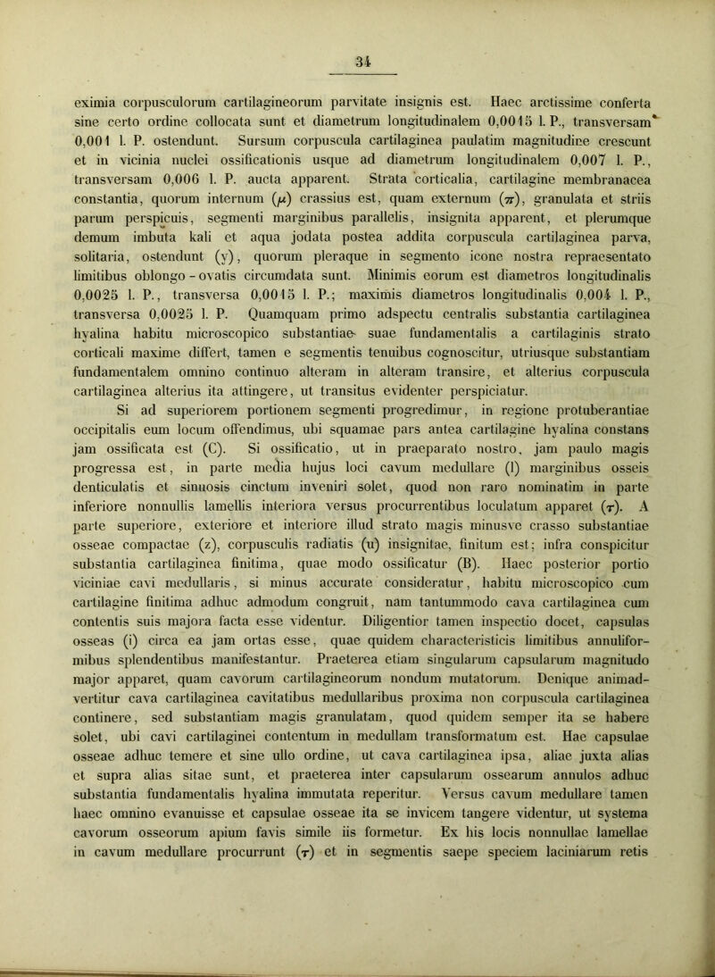 eximia corpusculorum cartilagineorum parvitate insignis est. Haec arctissime conferta sine certo ordine collocata sunt et diametrum longitudinalem 0,0015 1. P., transversam* 0,001 1. P. ostendunt. Sursum corpuscula cartilaginea paulatim magnitudine crescunt et in vicinia nuclei ossificationis usque ad diametrum longitudinalem 0,007 1. P., transversam 0,006 1. P. aucta apparent. Strata corticalia, cartilagine membranacea constantia, quorum internum (p) crassius est, quam externum (^), granulata et striis parum perspicuis, segmenti marginibus parallelis, insignita apparent, et plerumque demum imbuta kali et aqua jodata postea addita corpuscula cartilaginea parva, solitaria, ostendunt (y), quorum pleraque in segmento icone nostra repraesentato limitibus oblongo - ovatis circumdata sunt. Minimis eorum est diametros longitudinalis 0,0025 1. P., transversa 0,0015 1. P.; maximis diametros longitudinalis 0,004 1. P., transversa 0,0025 1. P. Quamquam primo adspectu centralis substantia cartilaginea hyalina habitu microscopico substantiae' suae fundamentalis a cartilaginis strato corticali maxime differt, tamen e segmentis tenuibus cognoscitur, utriusque substantiam fundamentalem omnino continuo alteram in alteram transire, et alterius corpuscula cartilaginea alterius ita attingere, ut transitus evidenter perspiciatur. Si ad superiorem portionem segmenti progredimur, in regione protuberantiae occipitalis eum locum offendimus, ubi squamae pars antea cartilagine hyalina constans jam ossificata est (C). Si ossificatio, ut in praeparato nostro, jam paulo magis progressa est, in parte media hujus loci cavum medullare (1) marginibus osseis denticulatis et sinuosis cinctum inveniri solet, quod non raro nominatim in parte inferiore nonnullis lamellis interiora versus procurrentibus loculatum apparet (r). A parte superiore, exteriore et interiore illud strato magis minusve crasso substantiae osseae compactae (z), corpusculis radiatis (u) insignitae, finitum est; infra conspicitur substantia cartilaginea finitima, quae modo ossificatur (B). Haec posterior portio viciniae cavi medullaris, si minus accurate consideratur, habitu microscopico cum cartilagine finitima adhuc admodum congruit, nam tantummodo cava cartilaginea cum contentis suis majora facta esse videntur. Diligentior tamen inspectio docet, capsulas osseas (i) circa ea jam ortas esse, quae quidem characteristicis limitibus annulifor- mibus splendentibus manifestantur. Praeterea etiam singularum capsularum magnitudo major apparet, quam cavorum cartilagineorum nondum mutatorum. Denique animad- vertitur cava cartilaginea cavitatibus medullaribus proxima non corpuscula cartilaginea continere, sed substantiam magis granulatam, quod quidem semper ita se habere solet, ubi cavi cartilaginei contentum in medullam transformatum est. Hae capsulae osseae adhuc temere et sine ullo ordine, ut cava cartilaginea ipsa, aliae juxta alias et supra alias sitae sunt, et praeterea inter capsularum ossearum annulos adhuc substantia fundamentalis hyalina immutata reperitur. Versus cavum medullare tamen haec omnino evanuisse et capsulae osseae ita se invicem tangere videntur, ut systema cavorum osseorum apium favis simile iis formetur. Ex his locis nonnullae lamellae in cavum medullare procurrunt (r) et in segmentis saepe speciem laciniarum retis