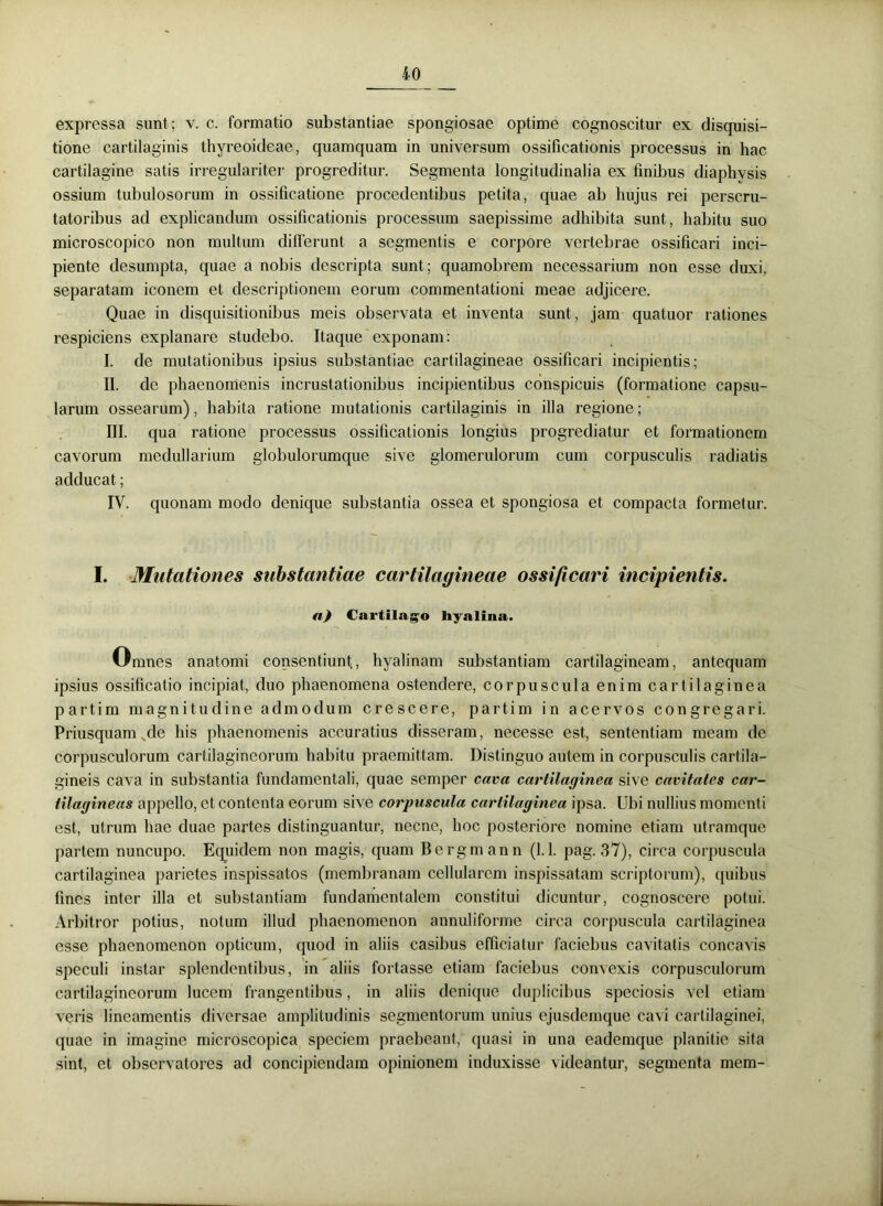 expressa sunt; v. c. formatio substantiae spongiosae optime cognoscitur ex disquisi- tione cartilaginis thyreoideae, quamquam in universum ossificationis processus in hac cartilagine satis irregulariter progreditur. Segmenta longitudinalia ex finibus diaphysis ossium tubulosorum in ossificatione procedentibus petita, quae ab hujus rei perscru- tatoribus ad explicandum ossificationis processum saepissime adhibita sunt, habitu suo microscopico non multum differunt a segmentis e corpore vertebrae ossificari inci- piente desumpta, quae a nobis descripta sunt; quamobrem necessarium non esse duxi, separatam iconem et descriptionem eorum commentationi meae adjicere. Quae in disquisitionibus meis observata et inventa sunt, jam quatuor rationes respiciens explanare studebo. Itaque exponam: I. de mutationibus ipsius substantiae cartilagineae ossificari incipientis; II. de phaenomenis incrustationibus incipientibus conspicuis (formatione capsu- larum ossearum), habita ratione mutationis cartilaginis in illa regione; III. qua ratione processus ossificationis longius progrediatur et formationem cavorum medullarium globulorumque sive glomerulorum cum corpusculis radiatis adducat; IV. quonam modo denique substantia ossea et spongiosa et compacta formetur. I. Mutationes substantiae cartilagineae ossificari incipientis. a) Cartilago Hyalina. Omnes anatomi consentiunt, hyalinam substantiam cartilagineam, antequam ipsius ossificatio incipiat, duo phaenomena ostendere, corpuscula enim cartilaginea partim magnitudine admodum crescere, partim in acervos congregari. Priusquamsde his phaenomenis accuratius disseram, necesse est, sententiam meam de corpusculorum cartilagineorum habitu praemittam. Distinguo autem in corpusculis cartila- gineis cava in substantia fundamentali, quae semper cava cartilaginea sive cavitates car- tilagineas appello, et contenta eorum sive corpuscula cartilaginea ipsa. Ubi nullius momenti est, utrum hae duae partes distinguantur, necne, hoc posteriore nomine etiam utramque partem nuncupo. Equidem non magis, quam Bergmann (1.1. pag. 37), circa corpuscula cartilaginea parietes inspissatos (membranam cellularem inspissatam scriptorum), quibus fines inter illa et substantiam fundamentalem constitui dicuntur, cognoscere potui. Arbitror potius, notum illud phaenomenon annuliforme circa corpuscula cartilaginea esse phaenomenon opticum, quod in aliis casibus efficiatur faciebus cavitatis concavis speculi instar splendentibus, in aliis fortasse etiam faciebus convexis corpusculorum cartilagineorum lucem frangentibus, in aliis denique duplicibus speciosis vel etiam veris lineamentis diversae amplitudinis segmentorum unius ejusdemque cavi cartilaginei, quae in imagine microscopica speciem praebeant, quasi in una eademque planitie sita sint, et observatores ad concipiendam opinionem induxisse videantur, segmenta mem-