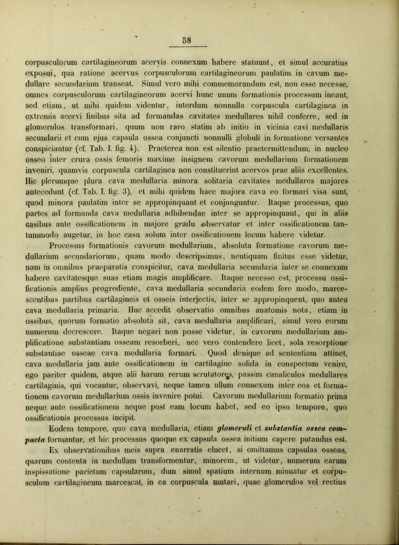 corpusculorum cartilagineorum acervis connexum habere statuunt , et simul accuratius exposui, qua ratione acervus corpusculorum cartilagineorum paulatim in cavum me- dullare secundarium transeat. Simul vero mihi commemorandum est, non esse necesse, omnes corpusculorum cartilagineorum acervi hunc unum formationis processum ineant, sed etiam, ut mihi quidem videntur, interdum nonnulla corpuscula cartilaginea in extremis acervi finibus sita ad formandas cavitates medullares nihil conferre, sed in glomerulos transformari, quum non raro statim ab initio in vicinia cavi medullaris secundarii et cum ejus capsula ossea conjuncti nonnulli globuli in formatione versantes conspiciantur (cf. Tab. I. fig. i). Praeterea non est silentio praetermittendum, in nucleo osseo inter crura ossis femoris maxime insignem cavorum medullarium formationem inveniri, quamvis corpuscula cartilaginea non constituerint acervos prae aliis excellentes. Hic plerumque plura cava medullaria minora solitaria cavitates medullares majores antecedunt (cf. Tab. I. fig. 3), et mihi quidem haec majora cava eo formari visa sunt, quod minora paulatim inter se appropinquant et conjunguntur. Itaque processus, quo partes ad formanda cava medullaria adhibendae inter se appropinquant , qui in aliis casibus ante ossificationem in majore gradu observatur et inter ossificationem tan- tummodo augetur, in hoc casu solum inter ossificationem locum habere videtur. Processus formationis cavorum medullarium, absoluta formatione cavorum me- dullarium secundariorum, quam modo descripsimus, neutiquam finitus esse videtur, nam in omnibus praeparatis conspicitur, cava medullaria secundaria inter se connexum habere cavitatesque suas etiam magis amplificare. Itaque necesse est, processu ossi- ficationis amplius progrediente, cava medullaria secundaria eodem fere modo, marce- scentibus partibus cartilagineis et osseis interjectis, inter se appropinquent, quo antea cava medullaria primaria. Huc accedit observatio omnibus anatomis nota, etiam in ossibus, quorum formatio absoluta sit, cava medullaria amplificari, simul vero eorum numerum decrescere. Itaque negari non posse videtur, in cavorum medullarium am- plificatione substantiam osseam resorberi, nec vero contendere licet, sola resorptione substantiae osseae cava medullaria formari. Quod denique ad sententiam attinet, cava medullaria jam ante ossificationem in cartilagine solida in conspectum venire, ego pariter quidem, atque alii harum rerum scrutatores, passim canaliculos medullares cartilaginis, qui vocantur, observavi, neque tamen ullum connexum inter eos et forma- tionem cavorum medullarium ossis invenire potui. Cavorum medullarium formatio prima neque ante ossificationem neque post eam locum habet, sed eo ipso tempore, quo ossificationis processus incipit. Eodem tempore, quo cava medullaria, etiam glomeruli et substantia ossea com- pacta formantur, et hic processus quoque ex capsula ossea initium capere putandus est. Ex observationibus meis supra enarratis elucet, si omittamus capsulas osseas, quarum contenta in medullam transformentur, minorem, ut videtur, numerum earum inspissatione parietum capsularum, dum simul spatium internum minuatur et corpu- sculum cartilagineum marcescat, in ea corpuscula mutari, quae glomerulos vel rectius