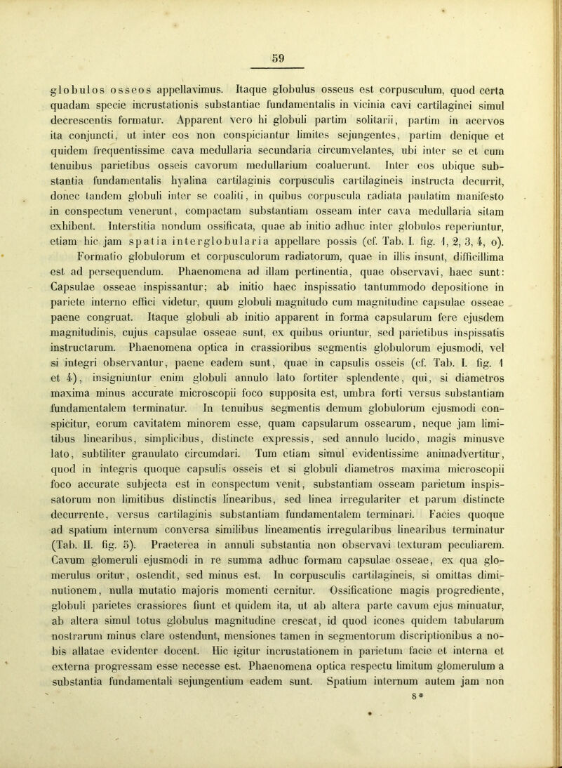 globulos osseos appellavimus. Itaque globulus osseus est corpusculum, quod certa quadam specie incrustationis substantiae fundamentalis in vicinia cavi cartilaginei simul decrescentis formatur. Apparent vero hi globuli partim solitarii, partim in acervos ita conjuncti, ut inter eos non conspiciantur limites sejungentes, partim denique et quidem frequentissime cava medullaria secundaria circumvelantes, ubi inter se et cum tenuibus parietibus osseis cavorum medullarium coaluerunt. Inter eos ubique sub- stantia fundamentalis hyalina cartilaginis corpusculis cartilagineis instructa decurrit, donec tandem globuli inter se coaliti, in quibus corpuscula radiata paulatim manifesto in conspectum venerunt, compactam substantiam osseam inter cava medullaria sitam exhibent. Interstitia nondum ossificata, quae ab initio adhuc inter globulos reperiuntur, etiam hic jam spatia interglobularia appellare possis (cf. Tab. I. fig. I, 2, 3, 4, o). Formatio globulorum et corpusculorum radiatorum, quae in illis insunt, difficillima est ad persequendum. Phaenomena ad illam pertinentia, quae observavi, haec sunt: Capsulae osseae inspissantur; ab initio haec inspissatio tantummodo depositione in pariete interno effici videtur, quum globuli magnitudo cum magnitudine capsulae osseae paene congruat. Itaque globuli ab initio apparent in forma capsularum fere ejusdem magnitudinis, cujus capsulae osseae sunt, ex quibus oriuntur, sed parietibus inspissatis instructarum. Phaenomena optica in crassioribus segmentis globulorum ejusmodi, vel si integri observantur, paene eadem sunt, quae in capsulis osseis (cf. Tab. I. fig. 1 et 4), insigniuntur enim globuli annulo lato fortiter splendente, qui, si diametros maxima minus accurate microscopii foco supposita est, umbra forti versus substantiam fundamentalem terminatur. In tenuibus segmentis demum globulorum ejusmodi con- spicitur, eorum cavitatem minorem esse, quam capsularum ossearum, neque jam limi- tibus linearibus, simplicibus, distincte expressis, sed annulo lucido, magis minusve lato, subtiliter granulato circumdari. Tum etiam simul evidentissime animadvertitur, quod in integris quoque capsulis osseis et si globuli diametros maxima microscopii foco accurate subjecta est in conspectum venit, substantiam osseam parietum inspis- satorum non limitibus distinctis linearibus, sed linea irregulariter et parum distincte decurrente, versus cartilaginis substantiam fundamentalem terminari. Facies quoque ad spatium internum conversa similibus lineamentis irregularibus linearibus terminatur (Tab. II. fig. 5). Praeterea in annuli substantia non observavi texturam peculiarem. Cavum glomeruli ejusmodi in re summa adhuc formam capsulae osseae, ex qua glo- merulus oritur, ostendit, sed minus est. In corpusculis cartilagineis, si omittas dimi- nutionem, nulla mutatio majoris momenti cernitur. Ossificatione magis progrediente, globuli parietes crassiores fiunt et quidem ita, ut ab altera parte cavum ejus minuatur, ab altera simul totus globulus magnitudine crescat, id quod icones quidem tabularum nostrarum minus clare ostendunt, mensiones tamen in segmentorum discriptionibus a no- bis allatae evidenter docent. Hic igitur incrustationem in parietum facie et interna et externa progressam esse necesse est. Phaenomena optica respectu limitum glomerulum a substantia fundamentali sejungentium eadem sunt. Spatium internum autem jam non 8 *