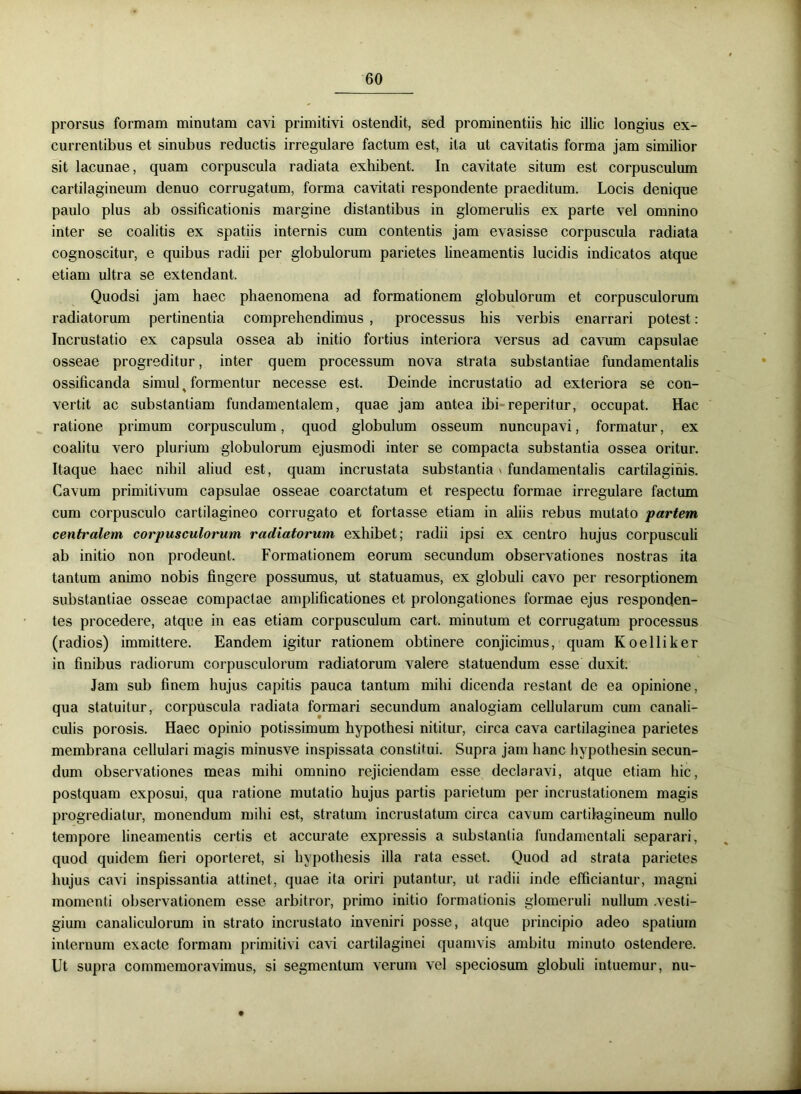 prorsus formam minutam cavi primitivi ostendit, sed prominentiis hic illic longius ex- currentibus et sinubus reductis irregulare factum est, ita ut cavitatis forma jam similior sit lacunae, quam corpuscula radiata exhibent. In cavitate situm est corpusculum cartilagineum denuo corrugatum, forma cavitati respondente praeditum. Locis denique paulo plus ab ossificationis margine distantibus in glomerulis ex parte vel omnino inter se coalitis ex spatiis internis cum contentis jam evasisse corpuscula radiata cognoscitur, e quibus radii per globulorum parietes lineamentis lucidis indicatos atque etiam ultra se extendant. Quodsi jam haec phaenomena ad formationem globulorum et corpusculorum radiatorum pertinentia comprehendimus , processus his verbis enarrari potest: Incrustatio ex capsula ossea ab initio fortius interiora versus ad cavum capsulae osseae progreditur, inter quem processum nova strata substantiae fundamentalis ossificanda simul ^ formentur necesse est. Deinde incrustatio ad exteriora se con- vertit ac substantiam fundamentalem, quae jam antea ibi reperitur, occupat. Hac ratione primum corpusculum, quod globulum osseum nuncupavi, formatur, ex coalitu vero plurium globulorum ejusmodi inter se compacta substantia ossea oritur. Itaque haec nihil aliud est, quam incrustata substantia' fundamentalis cartilaginis. Cavum primitivum capsulae osseae coarctatum et respectu formae irregulare factum cum corpusculo cartilagineo corrugato et fortasse etiam in aliis rebus mutato partem centralem corpusculorum radiatorum exhibet; radii ipsi ex centro hujus corpusculi ab initio non prodeunt. Formationem eorum secundum observationes nostras ita tantum animo nobis fingere possumus, ut statuamus, ex globuli cavo per resorptionem substantiae osseae compactae amplificationes et prolongationes formae ejus responden- tes procedere, atque in eas etiam corpusculum cart. minutum et corrugatum processus (radios) immittere. Eandem igitur rationem obtinere conjicimus, quam Koelliker in finibus radiorum corpusculorum radiatorum valere statuendum esse duxit. Jam sub finem hujus capitis pauca tantum mihi dicenda restant de ea opinione, qua statuitur, corpuscula radiata formari secundum analogiam cellularum cum canali- culis porosis. Haec opinio potissimum hypothesi nititur, circa cava cartilaginea parietes membrana cellulari magis minusve inspissata constitui. Supra jam hanc hypothesin secun- dum observationes meas mihi omnino rejiciendam esse declaravi, atque etiam hic, postquam exposui, qua ratione mutatio hujus partis parietum per incrustationem magis progrediatur, monendum mihi est, stratum incrustatum circa cavum cartilagineum nullo tempore lineamentis certis et accurate expressis a substantia fundamentali separari, quod quidem fieri oporteret, si hypothesis illa rata esset. Quod ad strata parietes hujus cavi inspissantia attinet, quae ita oriri putantur, ut radii inde efficiantur, magni momenti observationem esse arbitror, primo initio formationis glomeruli nullum .vesti- gium canaliculorum in strato incrustato inveniri posse, atque principio adeo spatium internum exacte formam primitivi cavi cartilaginei quamvis ambitu minuto ostendere. Ut supra commemoravimus, si segmentum verum vel speciosum globuli intuemur, nu-