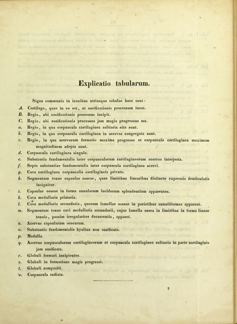 Explicatio tabularum. Signa communia in iconibus utriiisque tabulae baec sunt: A. Cartilago, quae in eo est, ut ossificationis processum ineat. B. Regio, ubi ossificationis processus incipit. C. Regio, ubi ossificationis processus jam magis progressus est. a. Regio, in qua corpuscula cartilaginea solitaria sita sunt. b. Regio, in qua corpuscula cartilaginea in acervos congregata sunt. c. Regio, in qua acervorum formatio maxime progressa et corpuscula cartilaginea maximam magnitudinem adepta sunt. d. Corpuscula cartilaginea singula. e. Substantia fundamentalis inter corpusculorum cartilagineorum acervos interjecta. f. Septa substantiae fundamentalis inter corpuscula cartilaginea acervi. g. Cava cartilaginea corpusculis cartilagineis privata. h. Segmentum tenue capsulae osseae, quae limitibus linearibus distincte expressis denticulatis insignitur. i. Capsulae osseae in forma annulorum lucidorum splendentium apparentes. k. Cava medullaria primaria. l. Cava medullaria secundaria, quorum lamellae osseae in parietibus annuliformes apparent. m. Segmentum tenue cavi medullaris secundarii, cujus lamella ossea in limitibus in forma lineae tenuis, passim irregulariter decurrentis, apparet. il. Acervus capsularum ossearum. o. Substantia fundamentalis bjalina non ossificata. p. Medulla. q. Acervus corpusculorum cartilagineorum et corpuscula cartilaginea solitaria in parte cartilaginis jam ossificata. V. Globuli formari incipientes. s. Globuli in formatione magis progressi, f. Globuli compositi. ‘u. Corpuscula radiata.