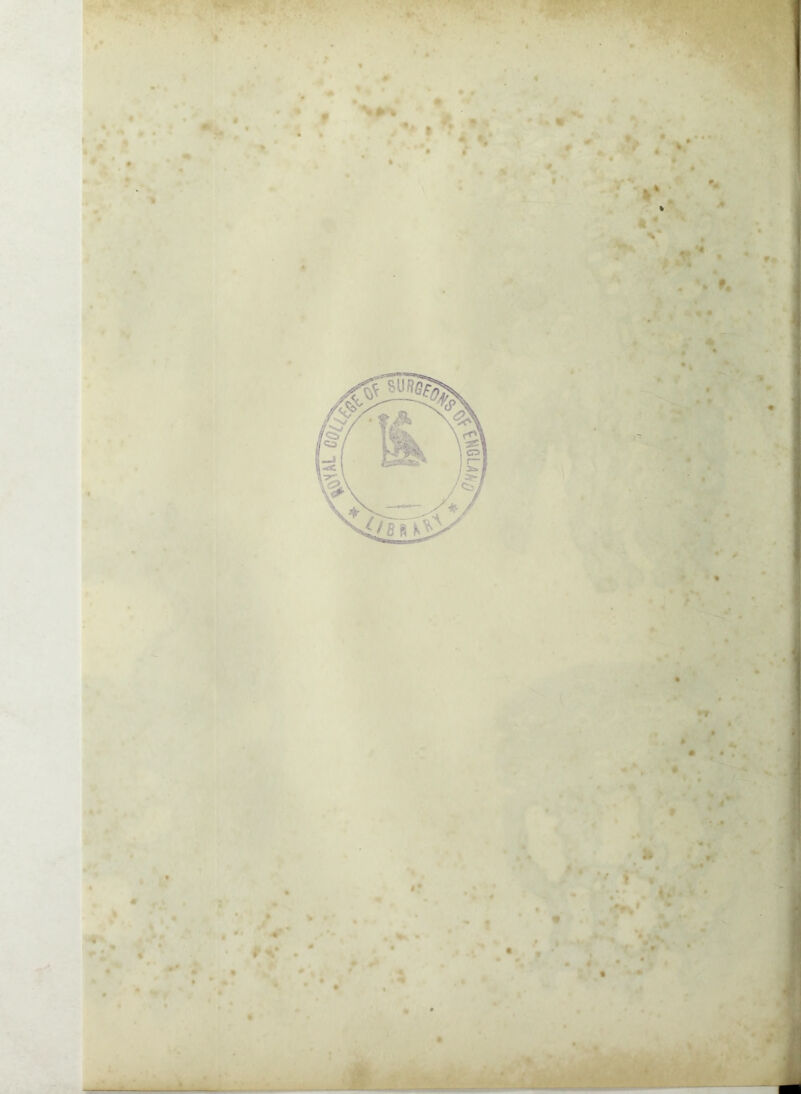 * » 4 • » ' i » • • '•i r.