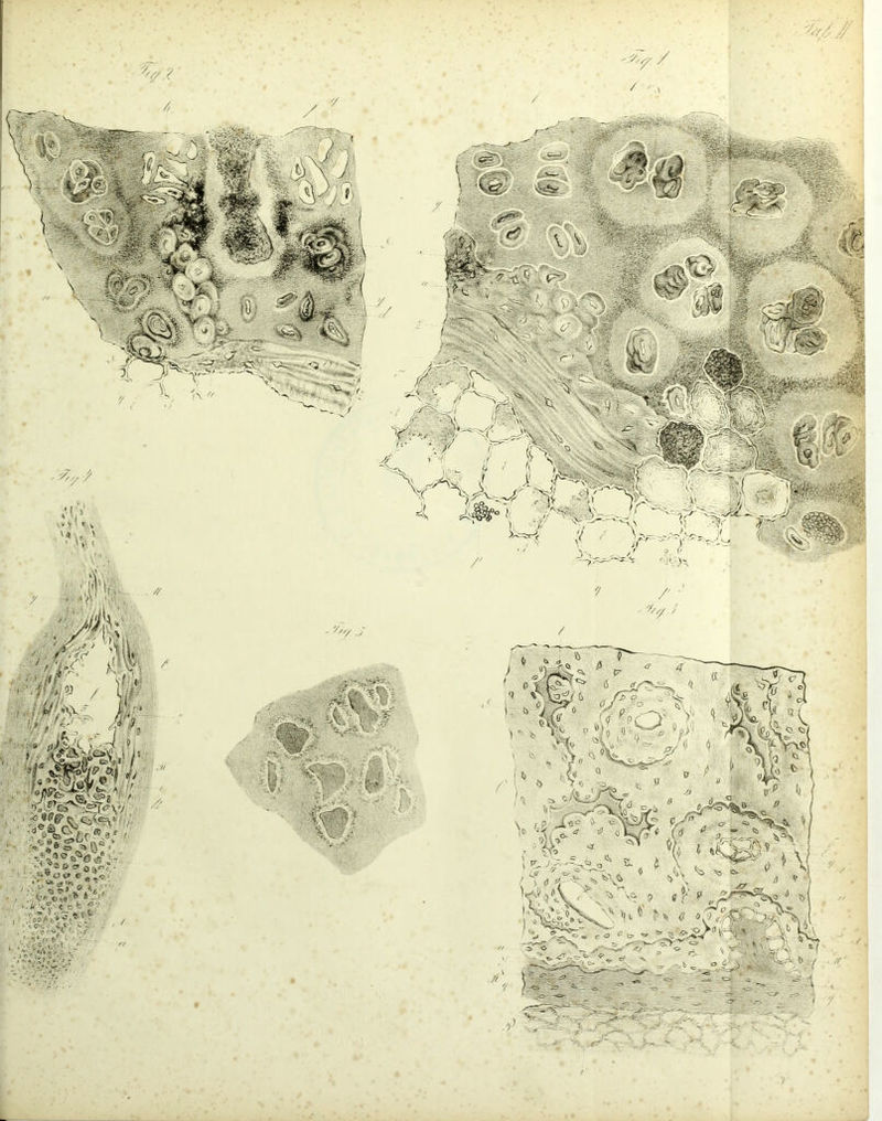 i-. // jj //i V-c // ' y7 S /