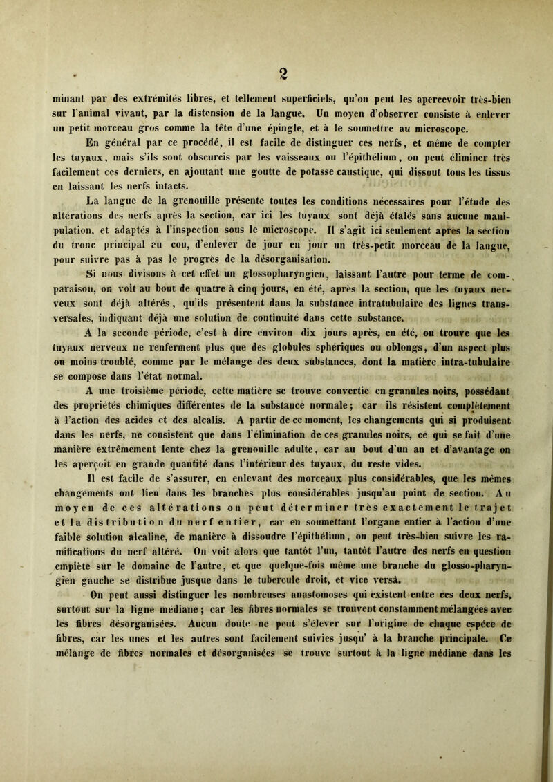 minant par des extrémités libres, et tellement superficiels, qu’on peut les apercevoir très-bien sur l’animal vivant, par la distension de la langue. Un moyen d’observer consiste à enlever un petit morceau gros comme la tête d’une épingle, et à le soumettre au microscope. En général par ce procédé, il est facile de distinguer ces nerfs, et même de compter les tuyaux, mais s’ils sont obscurcis par les vaisseaux ou l’épithélium, on peut éliminer très facilement ces derniers, en ajoutant une goutte de potasse caustique, qui dissout tous les tissus en laissant les nerfs intacts. La langue de la grenouille présente toutes les conditions nécessaires pour l’étude des altérations des nerfs après la section, car ici les tuyaux sont déjà étalés sans aucune mani- pulation, et adaptés à l’inspection sous le microscope. Il s’agit ici seulement après la section du tronc priîicipal au cou, d’enlever de jour en jour un très-petit morceau de la langue, pour suivre pas à pas le progrès de la désorganisation. Si nous divisons à cet effet un glossopharyngien, laissant l’autre pour terme de coin-, paraison, on voit au bout de quatre à cinq jours, en été, après la section, que les tuyaux ner- veux sont déjà altérés, qu’ils présentent dans la substance intratubulaire des lignes trans- versales, indiquant déjà une solution de continuité dans cette substance. A la seconde période, c’est à dire environ dix jours après, en été, on trouve que les tuyaux nerveux ne renferment plus que des globules sphériques ou oblongs, d’un aspect plus ou moins troublé, comme par le mélange des deux substances, dont la matière intra-tubulaire se compose dans l’état normal. A une troisième période, cette matière se trouve convertie en granules noirs, possédant des propriétés chimiques différentes de la substance normale; car ils résistent complètement à l’action des acides et des alcalis. A partir de ce moment, les changements qui si produisent dans les nerfs, ne consistent que dans l’élimination de ces granules noirs, ce qui se fait d’une manière extrêmement lente chez la grenouille adulte, car au bout d’un an et d’avantage on les aperçoit en grande quantité dans l’intérieur des tuyaux, du reste vides. Il est facile de s’assurer, en enlevant des morceaux plus considérables, que les mêmes changements ont lieu dans les branches plus considérables jusqu’au point de section. A u moyen de ces altérations on peut déterminer très exactement le trajet et la distribution du nerf entier, car en soumettant l’organe entier à l’action d’une faible solution alcaline, de manière à dissoudre l’épithélium, on peut très-bien suivre les ra- mifications du nerf altéré. On voit alors que tantôt l’un, tantôt l’autre des nerfs en question empiète sur le domaine de l’autre, et que quelque-fois même une branche du glosso-pharyn- gien gauche se distribue jusque dans le tubercule droit, et vice versâ. On peut aussi distinguer les nombreuses anastomoses qui existent entre ces deux nerfs, surtout sur la ligne médiane ; car les fibres normales se trouvent constamment mélangées avec les fibres désorganisées. Aucun doute ne peut s’élever sur l’origine de chaque espèce de fibres, car les unes et les autres sont facilement suivies jusqu’ à la branche principale. Ce mélange de fibres normales et désorganisées se trouve surtout à la ligne médiane dans les
