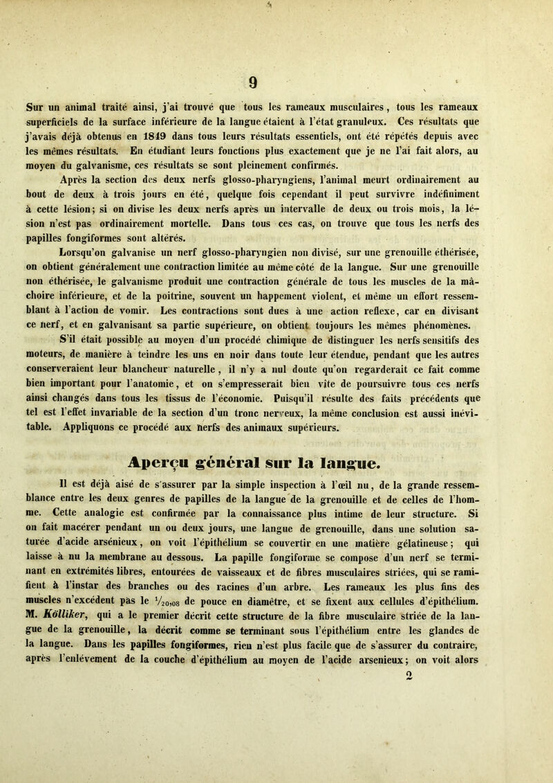 Sur un animal traité ainsi, j’ai trouvé que tous les rameaux musculaires , tous les rameaux superficiels de la surface inférieure de la langue étaient à l’état granuleux. Ces résultats que j’avais déjà obtenus en 1849 dans tous leurs résultats essentiels, ont été répétés depuis avec les mêmes résultats. En étudiant leurs fonctions plus exactement que je ne l’ai fait alors, au moyen du galvanisme, ces résultats se sont pleinement confirmés. Après la section des deux nerfs glosso-pharyngiens, l’animal meurt ordinairement au bout de deux à trois jours en été, quelque fois cependant il peut survivre indéfiniment à cette lésion ; si on divise les deux nerfs après un intervalle de deux ou trois mois, la lé- sion n’est pas ordinairement mortelle. Dans tous ces cas, on trouve que tous les nerfs des papilles fongiformes sont altérés. Lorsqu’on galvanise un nerf glosso-pharyngien non divisé, sur une grenouille éthérisée, on obtient généralement une contraction limitée au même côté de la langue. Sur une grenouille non éthérisée, le galvanisme produit une contraction générale de tous les muscles de la mâ- choire inférieure, et de la poitrine, souvent un happement violent, et même un effort ressem- blant à l’action de vomir. Les contractions sont dues à une action reflexe, car en divisant ce nerf, et en galvanisant sa partie supérieure, on obtient toujours les mêmes phénomènes. S’il était possible au moyen d’un procédé chimique de distinguer les nerfs sensitifs des moteurs, de manière à teindre les uns en noir dans toute leur étendue, pendant que les autres conserveraient leur blancheur naturelle, il n’y a nul doute qu’on regarderait ce fait comme bien important pour l’anatomie, et on s’empresserait bien vite de poursuivre tous ces nerfs ainsi changés dans tous les tissus de l’économie. Puisqu’il résulte des faits précédents que tel est l’effet invariable de la section d’un tronc nerveux, la même conclusion est aussi inévi- table. Appliquons ce procédé aux îierfs des animaux supérieurs. Aperçu général sur la langue. Il est déjà aisé de s'assurer par la simple inspection à l’œil nu, de la grande ressem- blance entre les deux genres de papilles de la langue de la grenouille et de celles de l’hom- me. Cette analogie est confirmée par la connaissance plus intime de leur structure. Si on fait macérer pendant un ou deux jours, une langue de grenouille, dans une solution sa- turée d’acide arsénieux, on voit l’épithélium se convertir en une matière gélatineuse ; qui laisse à nu la membrane au dessous. La papille fongiforme se compose d’un nerf se termi- nant en extrémités libres, entourées de vaisseaux et de fibres musculaires striées, qui se rami- fient à l’instar des branches ou des racines d’un arbre. Les rameaux les plus fins des muscles n’excédent pas le V2o,os de pouce en diamètre, et se fixent aux cellules d’épithélium. M. Kùlliker, qui a le premier décrit cette structure de la fibre musculaire striée de la lan- gue de la grenouille, la décrit comme se terminant sous l’épithélium entre les glandes de la langue. Dans les papilles fongiformes, rien n’est plus facile que de s’assurer du contraire, après l’enlèvement de la couche d’épithélium au moyen de l’acide arsenieux; on voit alors